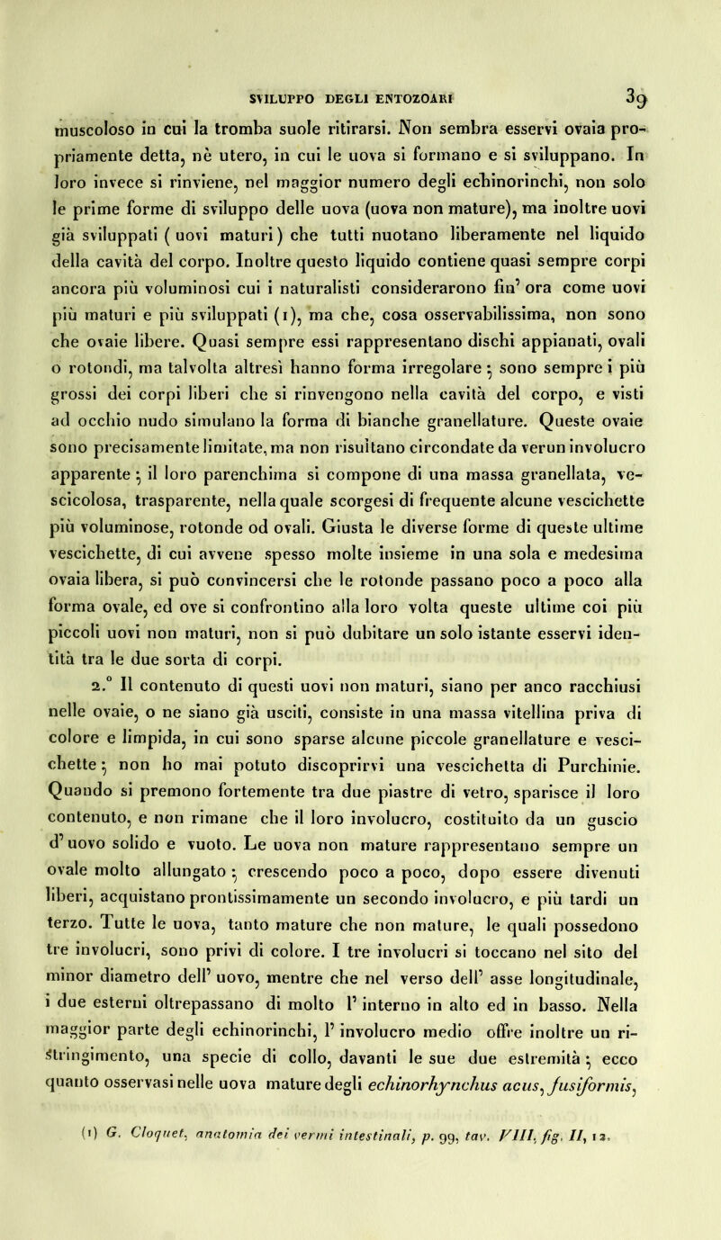 muscoloso in cui la tromba suole ritirarsi. Non sembra esservi ovaia pro- priamente detta, nè utero, in cui le uova si formano e si sviluppano. In loro invece si rinviene, nel maggior numero degli ecbinorinchi, non solo le prime forme di sviluppo delle uova (uova non mature), ma inoltre uovi già sviluppati (uovi maturi) che tutti nuotano liberamente nel liquido della cavità del corpo. Inoltre questo liquido contiene quasi sempre corpi ancora più voluminosi cui i naturalisti considerarono fin’ ora come uovi più maturi e più sviluppati (i), ma che, cosa osservabilissima, non sono che ovaie libere. Quasi sempre essi rappresentano dischi appianati, ovali o rotondi, ma talvolta altresì hanno forma irregolare } sono sempre i più grossi dei corpi liberi che si rinvengono nella cavità del corpo, e visti ad occhio nudo simulano la forma di bianche granellature. Queste ovaie sono precisamente limitate, ma non risultano circondate da verun involucro apparente } il loro parenchima si compone di una massa granellata, ve- scicolosa, trasparente, nella quale scorgesi di frequente alcune vescichette più voluminose, rotonde od ovali. Giusta le diverse forme di queste ultime vescichette, di cui avvene spesso molte insieme in una sola e medesima ovaia libera, si può convincersi che le rotonde passano poco a poco alla forma ovale, ed ove si confrontino alla loro volta queste ultime coi più piccoli uovi non maturi, non si può dubitare un solo istante esservi iden- tità tra le due sorta di corpi. 2.° Il contenuto di questi uovi non maturi, siano per anco racchiusi nelle ovaie, o ne siano già usciti, consiste in una massa vitellina priva di colore e limpida, in cui sono sparse alcune piccole granellature e vesci- chette } non ho mai potuto discoprirvi una vescichetta di Purchinie. Quando si premono fortemente tra due piastre di vetro, sparisce il loro contenuto, e non rimane che il loro involucro, costituito da un guscio d’ uovo solido e vuoto. Le uova non mature rappresentano sempre un ovale molto allungato • crescendo poco a poco, dopo essere divenuti liberi, acquistano prontissimamente un secondo involucro, e più tardi un terzo. Tutte le uova, tanto mature che non mature, le quali possedono tre involucri, sono privi di colore. I tre involucri si toccano nel sito del minor diametro dell’ uovo, mentre che nel verso dell’ asse longitudinale, i due esterni oltrepassano di molto l’interno in alto ed in basso. Nella maggior parte degli echinorinchi, l’involucro medio offre inoltre un ri- stringimento, una specie di collo, davanti le sue due estremità • ecco quanto osservasi nelle uova mature degli echinorhynchus acus,Jusiformis: