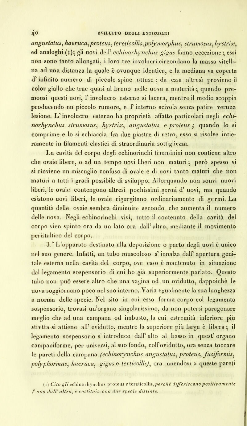 angustatus, haeruca^ proteus, tereticollis^polymorphus. strumosas: hystrix1 ed analoghi (i)* gli uovi dell’ ecìiinorhynchus gigas fanno eccezione ^ essi non sono tanto allungati, i loro tre involucri circondano la massa vitelli- na ad una distanza la quale è ovunque identica, e la mediana va coperta d’infinito numero di piccole spine ottuse ^ da essa altresì proviene il color giallo che trae quasi al bruno nelle uova a maturità • quando pre- monsi questi uovi, l’involucro esterno si lacera, mentre il medio scoppia producendo nn piccolo rumore, e P interno scivola senza patire veruna lesione. L’involucro esterno ha proprietà affatto particolari negli echi- norhynchus slrumosus, hystrix, angustatus e proteus ; quando lo si comprime e lo si schiaccia fra due piastre di vetro, esso si risolve intie- ramente in filamenti elastici di straordinaria sottigliezza. La cavità del corpo degli echinorinchi femminini non contiene altro che ovaie libere, o ad un tempo uovi liberi non maturi} però spesso vi si rinviene un miscuglio confuso di ovaie e di uovi tanto maturi che non maturi a tutti i gradi possibile di sviluppo. Allorquando non sonvi nuovi liberi, le ovaie contengono altresì pochissimi germi d’ uovi, ma quando esistono uovi liberi, le ovaie rigurgitano ordinariamente di germi. La quantità delle ovaie sembra diminuire secondo che aumenta il numero delle uova. Negli echinorinchi vivi, lutto il contenuto della cavità del corpo vien spinto ora da un lato ora dall’altro, mediante il movimento peristaltico del corpo. 3.° L'apparato destinato alla deposizione o parto degli uovi è unico nel suo genere. Infatti, un tubo muscoloso s’innalza dall’ apertura geni- tale esterna nella cavità del corpo, ove esso è mantenuto in situazione dal legamento sospensorio di cui ho già superiormente parlato. Questo tubo non può essere altro che una vagina od un ovidutto, dappoiché le uova soggiornano poco nel suo interno. Varia egualmente la sua lunghezza a norma delle specie. Nel sito in cui esso forma corpo col legamento sospensorio, trovasi un’organo singolarissimo, da non potersi paragonare meglio che ad una campana od imbusto, la cui estremità inferiore più stretta si attiene all’ ovidutto, mentre la superiore più larga è libera } il legamento sospensorio s* introduce dall’ alto al basso in quest’ organo campaniforme, per universi, al suo fondo, coll’ovidutto, ora senza toccare le pareli della campana (echìnorynchus angustatus, proteus^ fusiformis^ polyphormus, haeruca: gìgcis e terticollis)^ ora unendosi a queste pareti (i) Cito gli ecìiinorhynchus proteus e terelicollis, perchè differiscono positivamente