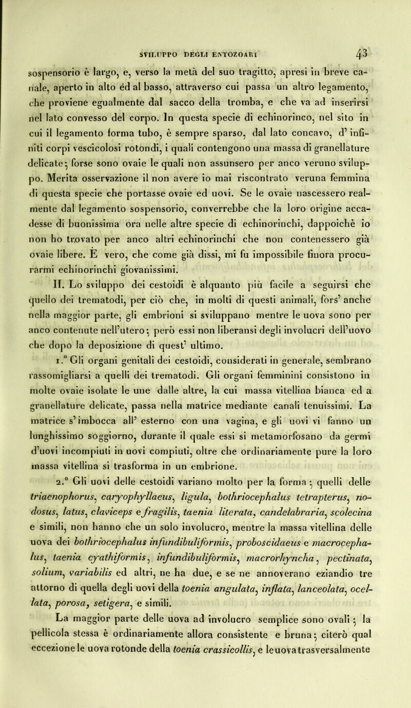 sospensorio è largo, e, verso la metà del suo tragitto, apresi in breve ca- nale, aperto in alto éd al basso, attraverso cui passa un altro legamento, che proviene egualmente dal sacco della tromba, e che va ad inserirsi nel Iato convesso del corpo. In questa specie di echinorinco, nel sito in cui il legamento forma tubo, è sempre sparso, dal lato concavo, d’infi- niti corpi vescicolosi rotondi, i quali contengono una massa di granellature delicate^ forse sono ovaie le quali non assunsero per anco veruno svilup- po. Merita osservazione il non avere io mai riscontrato veruna femmina di questa specie che portasse ovaie ed uovi. Se le ovaie nascessero real- mente dal legamento sospensorio, converrebbe che la loro origine acca- desse di buonissima ora nelle altre specie di echinorinchi, dappoiché io non ho trovato per anco altri echinorinchi che non contenessero già ovaie libere. E vero, che come già dissi, mi fu impossibile finora procu- rarmi echinorinchi giovanissimi. II. Lo sviluppo dei cestoidi è alquanto più facile a seguirsi che quello dei trematodi, per ciò che, in molti di questi animali, forà’ anche nella maggior parte, gli embrioni si sviluppano mentre le uova sono per anco contenute nell’utero} però essi non liberansi degli involucri dell’uovo che dopo la deposizione di quest’ ultimo. 1. ° Gli organi genitali dei cestoidi, considerati in generale, sembrano rassomigliarsi a quelli dei trematodi. Gli organi femminini consistono in molte ovaie isolate le une dalle altre, la cui massa vitellina bianca ed a granellature delicate, passa nella matrice mediante canali tenuissimi. La matrice s’imbocca all5 esterno con una vagina, e gli uovi vi fanno un lunghissimo soggiorno, durante il quale essi si metamorfosano da germi d’uovi incompiuti in uovi compiuti, oltre che ordinariamente pure la loro massa vitellina si trasforma in un embrione. 2. ° Gli uovi delle cestoidi variano molto per la forma } quelli delle triaenophorus, caryophyllaeus, lìgula, bothriocephalus tetrapterus, no- dosus, latus, claviceps e fragilis, taenia literata, candeìabraria, scolecina e simili, non hanno che un solo involucro, mentre la massa vitellina delle uova dei bothriocephalus infundibulifonnis, proboscidaeus e macrocepha- lus, taenia cyathiformìs, infundibuliformis, macrorhyncha, pedinata, solium, variabilis ed altri, ne ha due, e se ne annoverano eziandio tre attorno di quella degli uovi della toenia angulata, inflata, lanceolata, ocel- lata, porosa, setigera, e simili. La maggior parte delle uova ad involucro semplice sono ovali } la pellicola stessa è ordinariamente allora consistente e bruna} citerò qual eccezione le uova rotonde della toenia crassicollis, e le uova trasversalmente