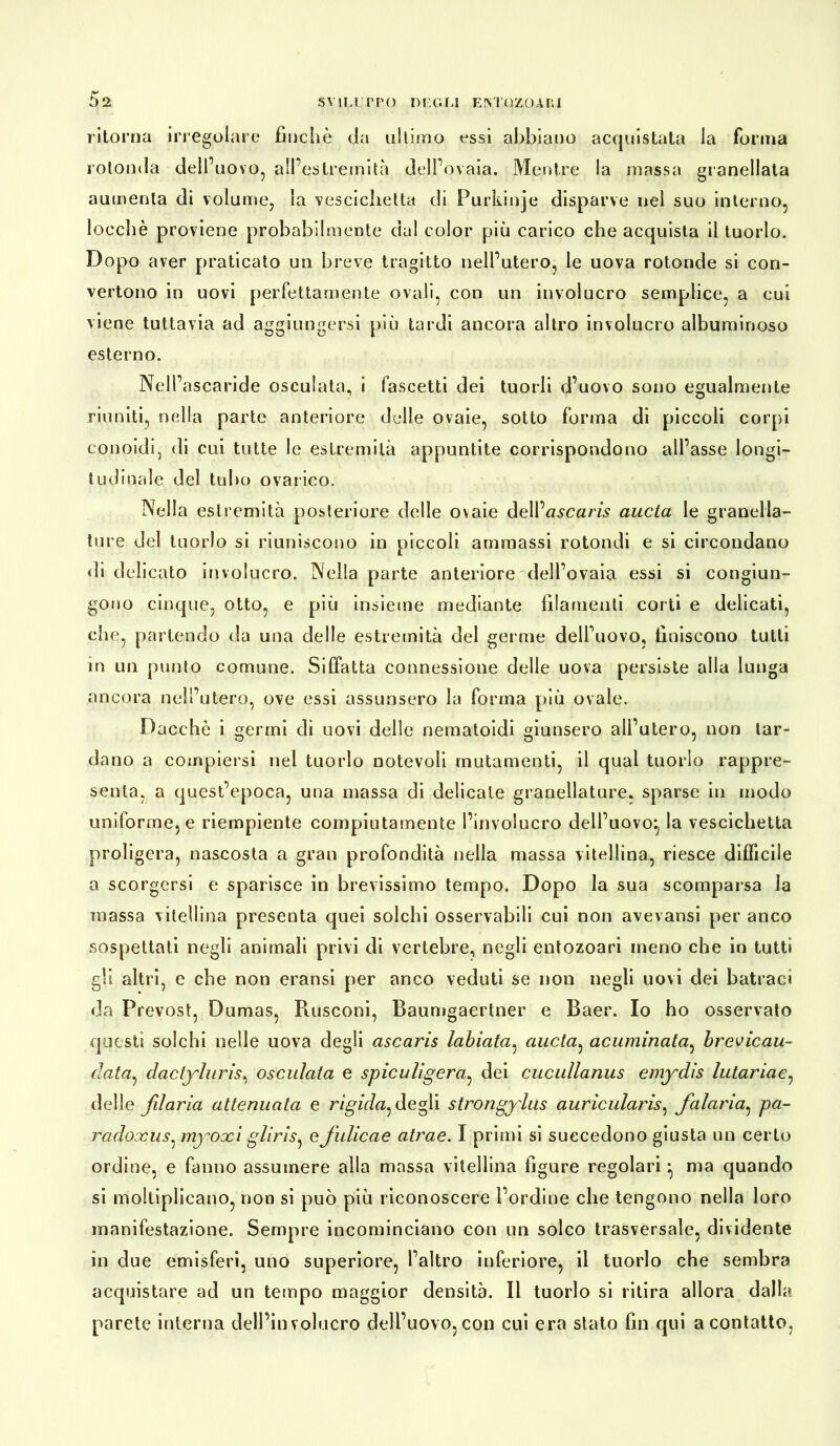 ritorna irregolare finche da ultimo essi abbiano acquistata la forma rotonda dell’uovo, all’estremità dell’ovaia. Mentre la massa granellata aumenta di volume, la vescichetta di Purkinje disparve nel suo interno, locchè proviene probabilmente da! color più carico che acquista il tuorlo. Dopo aver praticato un breve tragitto nell’utero, le uova rotonde si con- vertono in uovi perfettamente ovali, con un involucro semplice, a cui viene tuttavia ad aggiungersi più tardi ancora altro involucro albuminoso esterno. Nell’ascaride osculala, i Pascetti dei tuorli d’uovo sono egualmente riuniti, nella parte anteriore delle ovaie, sotto forma di piccoli corpi conoidi, di cui tutte le estremità appuntite corrispondono all’asse longi- tudinale del tubo ovarico. Nella estremità posteriore delle ovaie dell’«^c«m aucla le granella- tile del tuorlo si riuniscono in piccoli ammassi rotondi e si circondano di delicato involucro. Nella parte anteriore dell’ovaia essi si congiun- gouo cinque, otto, e più insieme mediante filamenti corti e delicati, che, partendo da una delle estremità del germe dell’uovo, finiscono tutti in un punto comune. Siffatta connessione delle uova persiste alla lunga ancora nell’utero, ove essi assunsero la forma più ovale. Dacché i germi di uovi delle nematoidi giunsero all’utero, non tar- dano a compiersi nel tuorlo notevoli mutamenti, il qual tuorlo rappre- senta, a quest’epoca, una massa di delicate granellature, sparse in modo uniforme, e riempiente compiutamente l’involucro dell’uovo} la vescichetta proligera, nascosta a gran profondità nella massa vitellina, riesce difficile a scorgersi e sparisce in brevissimo tempo. Dopo la sua scomparsa la massa vitellina presenta quei solchi osservabili cui non avevansi per anco sospettati negli animali privi di vertebre, negli entozoari meno che in tutti gli altri, e che non eransi per anco veduti se non negli uovi dei batraci da Prevost, Dumas, Rusconi, Baumgaertner e Baer. Io ho osservato questi solchi nelle uova degli ascaris labiata, aucla, acuminata, brevicau- clata, dactyluris, osculata e spiculigera, dei cucullanus emydìs lutarla e^ delle fdaria attenuata e rìgida^ degli strongylus auricularis, falaria, pa- radoxus, myoxi gliris, e fulicae atrae. I primi si succedono giusta un certo ordine, e fanno assumere alla massa vitellina figure regolari} ma quando si moltiplicano, non si può più riconoscere l’ordine che tengono nella loro manifestazione. Sempre incominciano con un solco trasversale, dividente in due emisferi, uno superiore, l’altro inferiore, il tuorlo che sembra acquistare ad un tempo maggior densità. Il tuorlo si ritira allora dalla parete interna dell’involucro dell’uovo, con cui era stato fin qui a contatto,