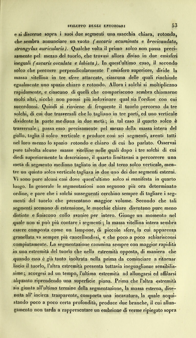 e si discerne sopra i suoi due segmenti una macchia chiara, rotonda, che sembra annunciare un vuoto ( ascaris acuminata e brevicaudata, strongylus auricularis ). Qualche volta il primo solco non passa preci- samente pel mezzo del tuorlo, che trovasi allora diviso in due emisferi ineguali (ascaris osculata e labiata). In quest’ultimo caso, il secondo solco che percorre perpendicolarmente 1’ emisfero superiore, divide la massa vitellina in tre sfere attaccate, ciascuna delle quali rinchiude egualmente uno spazio chiaro e rotondo. Allora i solchi si moltiplicano rapidamente, e ciascuno di quelli che compariscono sembra chiamarne molti altri, sicché non puossi più indovinare qual sia l’ordine con cui succedonsi. Quindi si rinviene di frequente il tuorlo percorso da tre solchi, di cui due trasversali che lo tagliano in tre parti, ed uno verticale dividente la parte mediana in due metà} in tal caso il quarto solco è trasversale } passa esso precisamente pel mezzo della massa intera del giallo, taglia il solco verticale e produce cosi sei segmenti, aventi tutti nel loro mezzo lo spazio rotondo e chiaro di cui ho parlato. Osservai pure talvolta alcune masse vitelline nelle quali dopo i tre solchi di cui diedi superiormente la descrizione, il quarto limitavasi a percorrere una metà di segmento mediano tagliato in due dal terzo solco verticale, men- tre un quinto solco verticale tagliava in due uno dei due segmenti esterni. Vi sono pure alcuni casi dove quest’ultimo solco si manifesta in quarto luogo. In generale le segmentazioni non seguono più ora determinato ordine, e pare che i solchi susseguenti cerchino sempre di tagliare i seg- menti del tuorlo che presentano maggior volume. Secondo che tali segmenti scemano di estensione, le macchie chiare diventano pure meno distinte e finiscono collo svanire per intero. Giunge un momento nel quale non si può più contare i segmenti} la massa vitellina intera sembra essere composta come un lampone, di piccole sfere, la cui apparenza granellata va sempre più cancellandosi, e che poco a poco schiarisconsi compiutamente. La segmentazione cammina sempre con maggior rapidità in una estremità del tuorlo che nella estremità opposta, di maniera che quando essa è già tanto inoltrata nella prima da cominciare a ritornar liscio il tuorlo, l’altra estremità presenta tuttavia ineguaglianze sensibilis- sime} scorgesi ad un tempo, l’ultima estremità ad allungarsi ed affilarsi alquanto riprendendo una superficie piana. Prima che Paltra estremità sia giunta all’ultimo termine della segmentazione, la massa esterna, dive- nuta all’ incirca trasparente, comporta una incavatura, la quale acqui- stando poco a poco certa profondità, produce due branche, il cui allun- gamento non tarda a rappresentare un embrione di verme ripiegato sopra