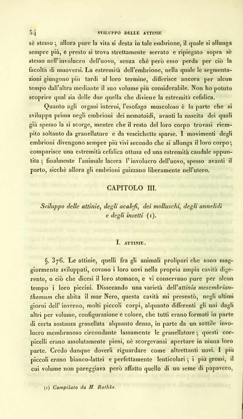 sè stesso ^ allora pure la vita si desta in tale embrione, il quale si allunga sempre più, e presto si trova strettamente serrato e ripiegato sopra sè stesso nell’involucro dell’uovo, senza che però esso perda per ciò la facoltà di muoversi. La estremità dell’embrione, nella quale le segmenta- zioni giungono più tardi al loro termine, differisce ancora per alcun tempo dall’altra mediante il suo volume più considerabile. Non ho potuto scoprire qual sia delle due quella che diviene la estremità cefalica. Quanto agli organi interni, l’esofago muscoloso è la parte che si sviluppa prima negli embrioni dei nematoidi, avanti la nascita dei quali già spesso la si scorge, mentre che il resto del loro corpo trovasi riem- pito soltanto da granellature e da vescichette sparse. I movimenti degli embrioni divengono sempre più vivi secondo che si allunga il loro corpo} comparisce una estremità cefalica ottusa ed una estremità caudale appun- tita • finalmente fanimale lacera l’involucro dell’uovo, spesso avanti il parto, sicché allora gli embrioni guizzano liberamente nell’utero. CAPITOLO III. Sviluppo delle attinie, degli acalefi, dei molluschi, degli annelidi e degli insetti (i). I. ATTINIE. §. 876. Le attinie, quelli fra gli animali prolipari che sono mag- giormente sviluppati, covano i loro uovi nella propria ampia cavità dige- rente, o ciò che dicesi il loro stomaco, e vi conservano pure per alcun tempo i loro piccini. Dissecando una varietà dell 'attinia mesembrian- themum che abita il mar Nero, questa cavità mi presentò, negli ultimi giorni dell’ inverno, molti piccoli corpi, alquanto differenti gli uni dagli altri per volume, configurazione e colore, che tutti erano formati in parte di certa sostanza granellata alquanto densa, in parte da un sottile invo- lucro membranoso circondante lassamente le granellature} questi cor- picelli erano assolutamente pieni, nè scorgevansi aperture in niuna loro parte. Credo dunque doverli riguardare come altrettanti uovi. I più piccoli erano bianco-lattei e perfettamente lenticolari ^ i più grossi, il cui volume non pareggiava però affatto quello di un seme di papavero. (1) Compilato da H. RathJce.