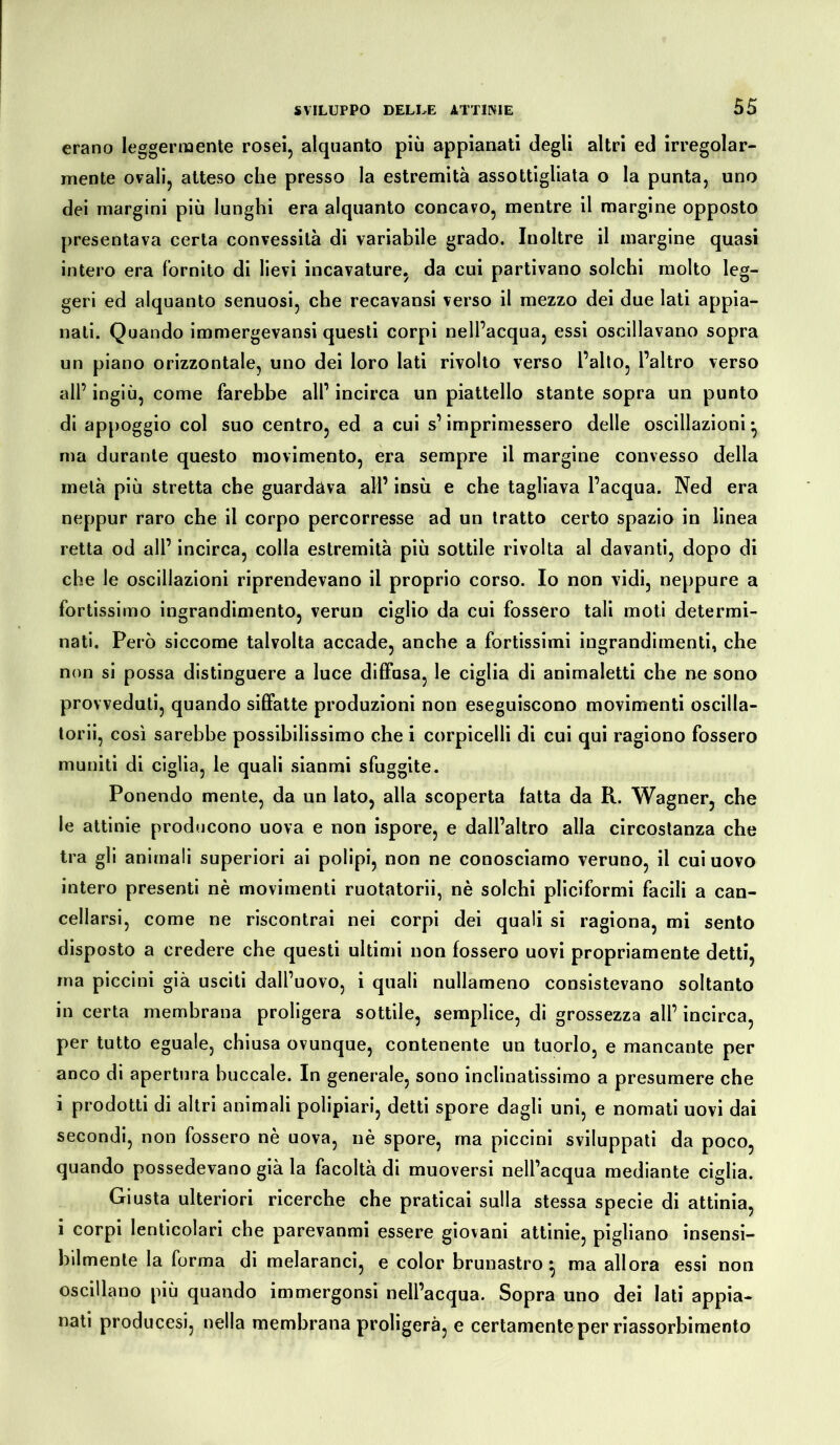 erano leggermente rosei, alquanto più appianati degli altri ed irregolar- mente ovali, atteso che presso la estremità assottigliata o la punta, uno dei margini più lunghi era alquanto concavo, mentre il margine opposto presentava certa convessità di variabile grado. Inoltre il margine quasi intero era fornito di lievi incavature, da cui partivano solchi molto leg- geri ed alquanto senuosi, che recavansi verso il mezzo dei due lati appia- nati. Quando immergevansi questi corpi nell’acqua, essi oscillavano sopra un piano orizzontale, uno dei loro lati rivolto verso l’alto, l’altro verso all’ ingiù, come farebbe all’ incirca un piattello stante sopra un punto di appoggio col suo centro, ed a cui s’imprimessero delle oscillazioni ^ ma durante questo movimento, era sempre il margine convesso della metà più stretta che guardava all’ insù e che tagliava l’acqua. Ned era neppur raro che il corpo percorresse ad un tratto certo spazio in linea retta od all’ incirca, colla estremità più sottile rivolta al davanti, dopo di che le oscillazioni riprendevano il proprio corso. Io non vidi, neppure a fortissimo ingrandimento, verun ciglio da cui fossero tali moti determi- nati. Però siccome talvolta accade, anche a fortissimi ingrandimenti, che non si possa distinguere a luce diffusa, le ciglia di animaletti che ne sono provveduti, quando siffatte produzioni non eseguiscono movimenti oscilla- torii, così sarebbe possibilissimo che i corpicelli di cui qui ragiono fossero muniti di ciglia, le quali sianmi sfuggite. Ponendo mente, da un lato, alla scoperta fatta da R. Wagner, che le attinie producono uova e non ispore, e dall’altro alla circostanza che tra gli animali superiori ai polipi, non ne conosciamo veruno, il cui uovo intero presenti nè movimenti ruotatorii, nè solchi pliciformi facili a can- cellarsi, come ne riscontrai nei corpi dei quali si ragiona, mi sento disposto a credere che questi ultimi non fossero uovi propriamente detti, ma piccini già usciti dall’uovo, i quali nullameno consistevano soltanto in certa membrana proligera sottile, semplice, di grossezza all’ incirca, per tutto eguale, chiusa ovunque, contenente un tuorlo, e mancante per anco di apertura buccale. In generale, sono inclinatissimo a presumere che i prodotti di altri animali polipiari, detti spore dagli uni, e nomati uovi dai secondi, non fossero nè uova, nè spore, ma piccini sviluppati da poco, quando possedevano già la facoltà di muoversi nell’acqua mediante ciglia. Giusta ulteriori ricerche che praticai sulla stessa specie di attinia, i corpi lenticolari che parevanmi essere giovani attinie, pigliano insensi- bilmente la forma di melaranci, e color brunastro • ma allora essi non oscillano più quando immergonsi nell’acqua. Sopra uno dei Iati appia- nati producesi, nella membrana proligera, e certamente per riassorbimento