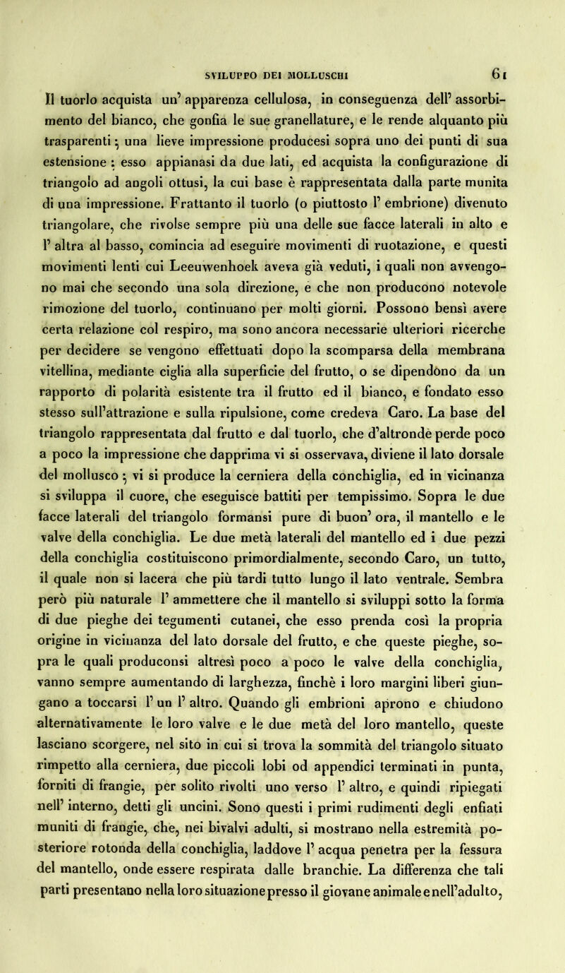 Il tuorlo acquista un’ apparenza cellulosa, in conseguenza dell’ assorbi- mento del bianco, che gonfia le sue granellature, e le rende alquanto più trasparenti -, una lieve impressione producesi sopra uno dei punti di sua estensione ; esso appianasi da due lati, ed acquista la configurazione di triangolo ad angoli ottusi, la cui base è rappresentata dalla parte munita di una impressione. Frattanto il tuorlo (o piuttosto 1’ embrione) divenuto triangolare, che rivolse sempre più una delle sue facce laterali in alto e 1’ altra al basso, comincia ad eseguire movimenti di ruotazione, e questi movimenti lenti cui Leeuwenhoek aveva già veduti, i quali non avvengo- no mai che secondo una sola direzione, e che non producono notevole rimozione del tuorlo, continuano per molti giorni. Possono bensì avere certa relazione col respiro, ma sono ancora necessarie ulteriori ricerche per decidere se vengono effettuati dopo la scomparsa della membrana vitellina, mediante ciglia alla superficie del frutto, o se dipendono da un rapporto di polarità esistente tra il frutto ed il bianco, e fondato esso stesso sull’attrazione e sulla ripulsione, come credeva Caro. La base del triangolo rappresentata dal frutto e dal tuorlo, che d’altronde perde poco a poco la impressione che dapprima vi si osservava, diviene il lato dorsale del mollusco} vi si produce la cerniera della conchiglia, ed in vicinanza si sviluppa il cuore, che eseguisce battiti per tempissimo. Sopra le due facce laterali del triangolo formansi pure di buon’ ora, il mantello e le valve della conchiglia. Le due metà laterali del mantello ed i due pezzi della conchiglia costituiscono primordialmente, secondo Caro, un tutto, il quale non si lacera che più tardi tutto lungo il lato ventrale. Sembra però più naturale 1’ ammettere che il mantello si sviluppi sotto la forma di due pieghe dei tegumenti cutanei, che esso prenda così la propria origine in vicinanza del lato dorsale del frutto, e che queste pieghe, so- pra le quali produconsi altresì poco a poco le valve della conchiglia^ vanno sempre aumentando di larghezza, finché i loro margini liberi giun- gano a toccarsi 1’ un 1’ altro. Quando gli embrioni aprono e chiudono alternativamente le loro valve e le due metà del loro mantello, queste lasciano scorgere, nel sito in cui si trova la sommità del triangolo situato rimpetto alla cerniera, due piccoli lobi od appendici terminati in punta, forniti di frangie, per solito rivolti uno verso 1’ altro, e quindi ripiegati nell’ interno, detti gli uncini. Sono questi i primi rudimenti degli enfiati muniti di frangie, che, nei bivalvi adulti, si mostrano nella estremità po- steriore rotonda della conchiglia, laddove 1’ acqua penetra per la fessura del mantello, onde essere respirata dalle branchie. La differenza che tali parti presentano nella loro situazione presso il giovane animale e nell’adulto,