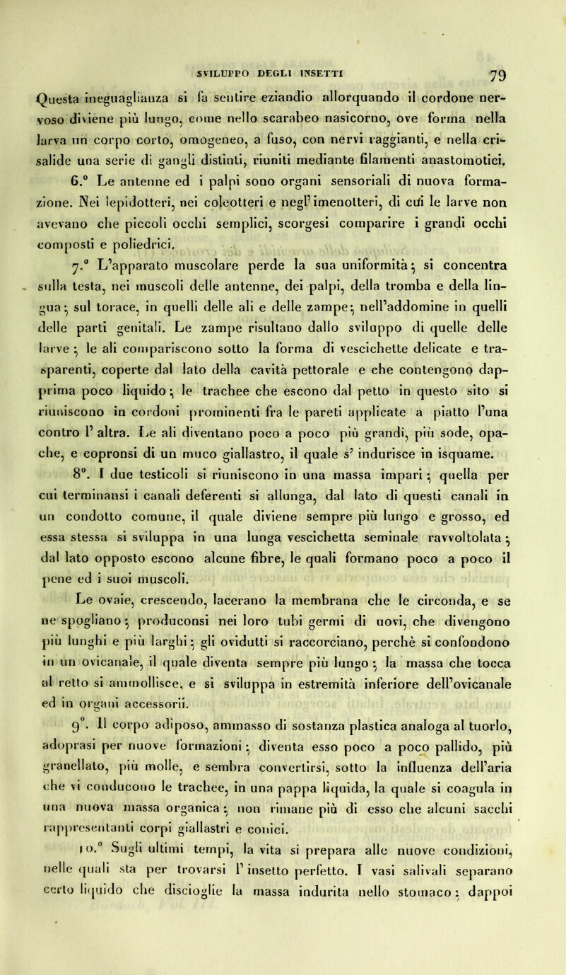 Questa ineguaglianza si fa sentire eziandio allorquando il cordone ner- voso diviene più lungo, come nello scarabeo nasicorno, ove forma nella larva un corpo corto, omogeneo, a fuso, con nervi raggianti, e nella cr’r- salide una serie di gangli distinti, riuniti mediante filamenti anastomotici, 6.° Le antenne ed i palpi sono organi sensoriali di nuova forma- zione. Nei lepidotteri, nei coleotteri e negl’imenotteri, di ctfi le larve non avevano che piccoli occhi semplici, scorgesi comparire i grandi occhi composti e poliedrici. 7.0 L’apparato muscolare perde la sua uniformità} si concentra sulla testa, nei muscoli delle antenne, dei palpi, della tromba e della lin- gua-, sul torace, in quelli delle ali e delle zampe ^ nell’addomine in quelli delle parti genitali. Le zampe risultano dallo sviluppo di quelle delle larve } le ali compariscono sotto la forma di vescichette delicate e tra- sparenti, coperte dal lato della cavità pettorale e che contengono dap- prima poco liquido ^ le trachee che escono dal petto in questo sito si riuniscono in cordoni prominenti fra le pareti applicate a piatto l’una contro 1’ altra. Le ali diventano poco a poco più grandi, più sode, opa- che, e copronsi di un muco giallastro, il quale sJ indurisce in isquame. 8°. I due testicoli si riuniscono in una massa impari * quella per cui terminatisi i canali deferenti si allunga, dal lato di questi canali in un condotto comune, il quale diviene sempre più lungo e grosso, ed essa stessa si sviluppa in una lunga vescichetta seminale ravvoltolata • dal lato opposto escono alcune fibre, le quali formano poco a poco il pene ed i suoi muscoli. Le ovaie, crescendo, lacerano la membrana che le circonda, e se ne spogliano -, produconsi nei loro tubi germi di uovi, che divengono più lunghi e più larghi • gli ovidutti si raccorciano, perchè si confondono in un ovicanale, il quale diventa sempre più lungo ^ la massa che tocca al retto si ammollisce, e si sviluppa in estremità inferiore dell’ovicanale ed in organi accessorii. 90. 11 corpo adiposo, ammasso di sostanza plastica analoga al tuorlo, adoprasi per nuove formazioni • diventa esso poco a poco pallido, più granellato, più molle, e sembra convertirsi, sotto la influenza delfaria che vi conducono le trachee, in una pappa liquida, la quale si coagula in una nuova massa organica - non rimane più di esso che alcuni sacelli rappresentanti corpi giallastri e conici. io.0 Sugli ultimi tempi, la vita si prepara alle nuove condizioni, nelle quali sta per trovarsi l’insetto perfetto. I vasi sali vai i separano certo liquido che discioglie la massa indurita nello stomaco ; dappoi