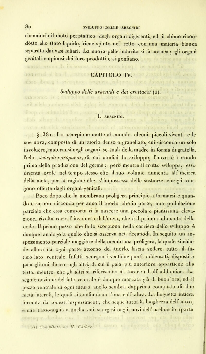 ricomincia il moto peristaltico degli organi digerenti, ed il chimo ricon- dotto allo stato liquido, viene spinto nel retto con una materia bianca separata dai vasi biliari. La nuova pelle indurita si fa cornea} gli organi genitali empionsi dei loro prodotti e si gonfiano. CAPITOLO IV. Sviluppo delle aracnidi e dei crostacei (i). I. ARACNIDI. §. 381. Lo scorpione mette al mondo alcuni piccoli viventi e le sue uova, composte di un tuorlo denso e granellato, cui circonda un solo involucro, maturansi negli organi sessuali della madre in forma di gratella. Nello scorpio europaeus, di cui studiai lo sviluppo, l’uovo è rotondo prima della produzione del germe ^ però mentre il frutto sviluppa, esso diventa ovale nel tempo stesso che il suo volume aumenta ali’ incirca della metà, per la ragione che s’impossessa delle sostanze che gli ven- gono offerte dagli organi genitali. Poco dopo che la membrana prolifera principiò a formarsi e quan- do essa non circonda per anco il tuorlo che in parte, una pullulazione parziale che essa comporta vi fa nascere una piccola e pianissima eleva- zione, rivolta verso P involucro dell’uovo, che è il primo rudimento della coda. Il primo passo che fa lo scorpione nella carriera dello sviluppo è dunque analogo a quello che si osserva nei decapodi. In seguito un in- spessimento parziale maggiore della membrana proligera, la quale si chiu- de allora da ogni parte attorno del tuorlo, lascia vedere tutto il fu- turo lato ventrale. Infatti scorgonsi ventidue punti addensati, disposti a paia gli uni dietro agli altri, di cui il paia più anteriore appartiene alla testa, mentre che gli altri si riferiscono al torace ed all’ addomine. La segmentazione del lato ventrale è dunque marcata già di buon’ora, ed il pezzo ventrale di ogni futuro anello sembra dapprima composto di due mela laterali, le quali si confondono l’una coll’ altra. La linguetta intiera formata da codesti inspessimenti, che segue tutta la lunghezza dell’uovo, e che rassomiglia a quella cui scorgevi negli uovi deli’ aselluccio (parte » \{\) Compilato da II. Rat hi: e.