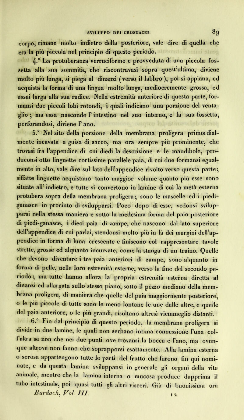 corpo, rimane molto indietro della posteriore, vale dire di quella che era la più piccola nel principio di questo periodo. 4-° La protuberanza verruciforme e provveduta di una piccola fos- setta alla sua sommità, che riscontravasi sopra quest’ultima, diviene molto più lunga, si piega al dinanzi (verso il labbro ), poi si appiana, ed acquista la forma di una lingua molto lunga, mediocremente grossa, ed assai larga alla sua radice. Nella estremità anteriore di questa parte, for- mansi due piccoli lobi rotondi, i quali indicano una porzione del venta- glio } ma essa nasconde l’intestino nel suo interno, e la sua fossetta, perforandosi, diviene P ano. 5. ° Nel sito della porzione della membrana proligera primordial- mente incavata a guisa di sacco, ma ora sempre più prominente, che trovasi fra l’appendice di cui diedi la descrizione e le mandibole, pro- duconsi otto linguette cortissime parallele paia, di cui due formansi egual- mente in alto, vale dire sul lato dell’appendice rivolto verso questa parte*, siffatte linguette acquistano tanto maggior volume quanto più esse sono situate all’ indietro, e tutte si convertono in lamine di cui la metà esterna protubera sopra della membrana proligera} sono le mascelle ed i piedi- ganasce in procinto di svilupparsi. Poco dopo di esse, vedonsi svilup- parsi nella stessa maniera e sotto la medesima forma del paio posteriore di piedi-ganasce, i dieci paia di zampe, che nascono dal lato superiore dell’appendice di cui parlai, stendonsi molto più in là dei margini dell’ap- pendice in forma di luna crescente e finiscono col rappresentare tavole strette, grosse ed alquanto incurvate, come la stanga di un traino. Quelle che devono diventare i tre paia anteriori di zampe, sono alquanto in forma di pelle, nelle loro estremità esterne, verso la fine del secondo pe- riodo } ma tutte hanno allora la propria estremità esterna diretta al dinanzi ed allargata sullo stesso piano, sotto il pezzo mediano della mem- brana proligera, di maniera che quelle del paia maggiormente posteriore, 0 le più piccole di tutte sono le meno lontane le une dalle altre, e quelle del paia anteriore, o le più grandi, risultano altresì viemmeglio distanti. 6. ° Fin dal principio di questo periodo, la membrana proligera si divide in due lamine, le quali non serbano intima connessione l’una col- 1 altra se non che nei due punti ove trovansi la bocca e l’ano, ma ovun- que altrove non fanno che soprapporsi esattamente. Alla lamina esterna o serosa appartengono tutte le parti del frutto che furono fin qui nomi- nate, e da questa lamina sviluppansi in generale gli organi della vita animale, mentre che la lamina interna o mucosa produce dapprima il tubo intestinale, poi quasi tutti gli altri visceri. Già di buonissima ora Burda eh) Vol. III , 2