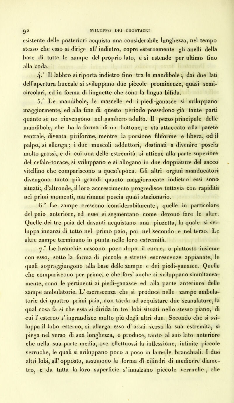 esistente delle posteriori acquista una considerabile lunghezza, nel tempo stesso che esso si dirige all’ indietro, copre esternamente gli anelli della base di tutte le zampe del proprio lato, e si estende per ultimo fino alla coda. 4-° Il labbro si riporta indietro fino tra le mandibole } dai due lati dell’apertura buccale si sviluppano due piccole prominenze, quasi semi- circolari, ed in forma di linguette che sono la lingua bifida. 5. ° Le mandibole, le mascelle ed i piedi-ganasce si sviluppano maggiormente, ed alla fine di questo periodo possedono già tante parti quante se ne rinvengono nel gambero adulto. Il pezzo principale delle mandibole, che ha la forma di un bottone, e sta attaccato alla parete ventrale, diventa piriforme, mentre la porzione filiforme e libera, od il palpo, si allunga } i due muscoli adduttori, destinati a divenire poscia molto grossi, e di cui una delle estremità si attiene alla parte superiore del cefalo-torace, si sviluppano e si allogano in due doppiature del sacco vitellino che compariscono a quest’epoca. Gli altri organi manducatori divengono tanto più grandi quanto maggiormente indietro essi sono situati^ d’altronde, il loro accrescimento progredisce tuttavia con rapidità nei primi momenti, ma rimane poscia quasi stazionario. 6. ° Le zampe crescono considerabilmente, quelle in particolare del paio anteriore, ed esse si segmentano come devono fare le altre. Quelle dei tre paia del davanti acquistano una pinzetta, la quale si svi- luppa innanzi di tutto nel primo paio, poi nel secondo e nel terzo. Le altre zampe terminano in punta nelle loro estremità. y.° Le branchie nascono poco dopo il cuore, o piuttosto insieme con esso, sotto la forma di piccole e strette escrescenze appianate, le quali sopraggiungouo alla base delle zampe e dei piedi-ganasce. Quelle che compariscono per prime, e che fors’ anche si sviluppano simultanea- mente, sono le pertinenti ai piedi-ganasce ed alla parte anteriore delle zampe ambulatone. L’escrescenza che si produce nelle zampe ambula- tone dei quattro primi paia, non tarda ad acquistare due scanalature, la qual cosa fa sì che essa si divida in tre lobi situati nello stesso piano, di cui l’esterno s’ingrandisce molto più degli altri due Secondo che si svi- luppa il lobo esterno, si allarga esso d’ assai verso la sua estremità, si piega nel verso di sua lunghezza, e produce, tanto al suo lato anteriore che nella sua parte media, ove eftettuossi la inflessione, infinite piccole verruche, le quali si sviluppano poco a poco in lamelle branchiali. I due altri lobi, all’opposto, assumono la forma dì cilindri di mediocre diame- tro, e da tutta la loro superfìcie s’innalzano piccole verruche, che