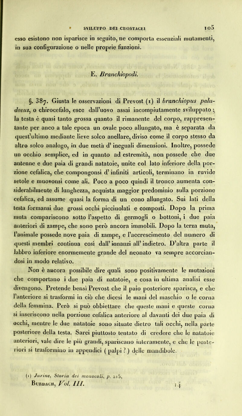 esso esistono non isparisce in seguito, ne comporta essenziali mutamenti, in sua configurazione o nelle proprie funzioni. E. Branchiopodi. §. 387. Giusta le osservazioni di Prevost (1) il branchiopus polii- dosus, o chirocefalo, esce dall’uovo assai incompiutamente sviluppato ^ la testa è quasi tanto grossa quanto il rimanente del corpo, rappresen- tante per anco a tale epoca un ovale poco allungato, ma è separata da quest’ultimo mediante lieve solco anellare, diviso come il corpo stesso da altro solco analogo, in due metà d’ineguali dimensioni. Inoltre, possedè un occhio semplice, ed in quanto ad estremità, non possedè che due antenne e due paia di grandi natatoie, unite col lato inferiore della por- zione cefalica, che compongonsi d’infiniti articoli, terminano in ruvide setole e muovo usi come ali. Poco a poco quindi il tronco aumenta con- siderabilmente di lunghezza, acquista maggior predominio sulla porzione cefalica, ed assume quasi la forma di un cono allungato. Sui lati della testa formansi due grossi occhi picchiolati e composti. Dopo la prima muta compariscono sotto l’aspetto di germogli o bottoni, i due paia anteriori di zampe, che sono però ancora immobili. Dopo la terza muta, l’animale possedè nove paia di zampe, e l’accrescimento dei numero di questi membri continua cosi dall’ innanzi all’ indietro. D’altra parte il labbro inferiore enormemente grande del neonato va sempre accorcian- dosi in modo relativo. INfon è ancora possibile dire quali sono positivamente le mutazioni che comportano i due paia di natatoie, e cosa in ultima analisi esse divengono. Pretende bensì Prevost che il paio posteriore sparisca, e che l’anteriore si trasformi in ciò che dicesi le mani dei maschio o le corna della femmina. Però si può obbiettare che queste mani e queste corna si inseriscono nella porzione cefalica anteriore al davanti dei due paia di occhi, mentre le due natatoie sono situate dietro tali occhi, nella parte posteriore della testa. Sarei piuttosto tentato di credere che le natatoie anteriori, vale dire le più grandi, spariscano interamente, e che le poste- riori si trasformino in appendici ( palpi ? ) delle mandibole. (1) Jurine^ Storia dei monocoli, p. 215, BuRDàCH, Voi HI. KJ