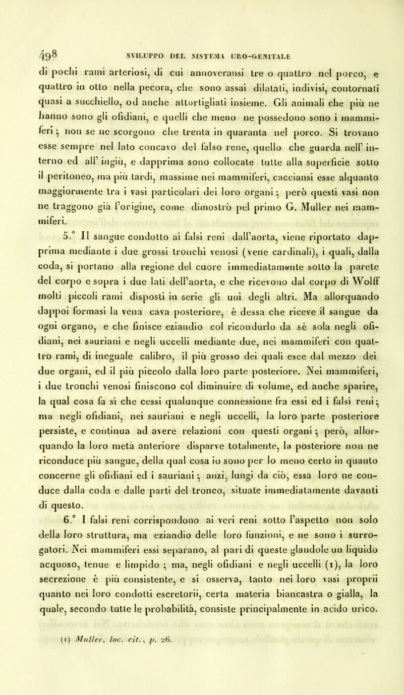 di pochi rami arteriosi, di cui annoveratisi tre o quattro nel porco, e quattro in otto nella pecora, che sono assai dilatali, indivisi, contornati quasi a succhiello, od anche attortigliati insieme. Gli animali che più ne hanno sono gli ofidiani, e quelli che meno ne possedono sono i mammi- feri } non se ne scorgono che trenta in quaranta nel porco. Si trovano esse sempre nel lato concavo del falso rene, quello che guarda nell’ in- terno ed all’ ingiù, e dapprima sono collocate tutte alla superficie sotto il peritoneo, ma più lardi, massime nei mammiferi, cacciansi esse alquanto maggiormente tra i vasi particolari dei loro organi • però questi vasi non ne traggono già l’origine, come dimostrò pel primo G. Müller nei mam- miferi. 5. ° II sangue condotto ai falsi reni dall’aorta, viene riportato dap- prima mediante i due grossi tronchi venosi (vene cardinali), i quali, dalla coda, si portano alla regione del cuore immediatamente sotto la parete del corpo e sopra i due lati dell’aorta, e che ricevono dal corpo di WolfF molti piccoli rami disposti in serie gli uni degli altri. Ma allorquando dappoi formasi la vena cava posteriore, è dessa che riceve il sangue da ogni organo, e che finisce eziandio col ricondurlo da sè sola negli ofi- diani, nei sauriani e negli uccelli mediante due, nei mammiferi con quat- tro rami, di ineguale calibro, il più grosso dei quali esce dal mezzo dei due organi, ed il più piccolo dalla loro parte posteriore. Nei mammiferi, i due tronchi venosi finiscono col diminuire di volume, ed anche sparire, la qual cosa fa sì che cessi qualunque connessione fra essi ed i falsi reni-, ma negli ofidiani, nei sauriani e negli uccelli, la loro parte posteriore persiste, e continua ad avere relazioni con questi organi *, però, allor- quando la loro metà anteriore disparve totalmente, la posteriore non ne riconduce più sangue, della qual cosa io sono per lo meno certo in quanto concerne gli ofidiani ed i sauriani} anzi, lungi da ciò, essa loro ne con- duce dalla coda e dalle parti del tronco, situate immediatamente davanti di questo. 6. ° I falsi reni corrispondono ai veri reni sotto l’aspetto non solo della loro struttura, ma eziandio delle loro funzioni, e ne sono i surro- gatola. Nei mammiferi essi separano, al pari di queste glandole un liquido acquoso, tenue e limpido ^ ma, negli ofidiani e negli uccelli (i), la loro secrezione è più consistente, e si osserva, tanto nei loro vasi proprii quanto nei loro condotti escretorii, certa materia biancastra o gialla, la quale, secondo tutte le probabilità, consiste principalmente in acido urico. (i) Müller, loc. cit., p. 26.