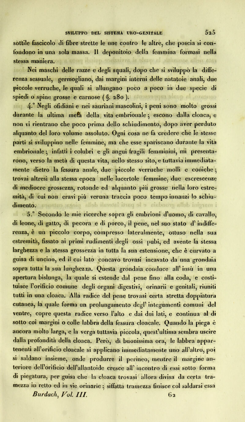 sottile fascicolo di fibre strette le ime contro le altre, che poscia si cori“ fondono in una sola massa. Il deponitoio della femmina formasi nella stessa maniera. Nei maschi delle razze e degli squali, dopo che si sviluppò la diffe- renza sessuale, germogliano, dai margini interni delle natatoie anali, due piccole verruche, le quali si allungano poco a poco in due specie di spiedi o spine grosse e carnose ( §. 280 ). 4-° Negli ofidiani e nei sauriani mascolini, i peni sono molto grossi durante la ultima meli della vita embrionale *, escono dalla cloaca^ e non vi rientrano che poco prima dello schiudimento, dopo aver perduto alquanto del loro volume assoluto. Ogni cosa ne fa credere che le stesse parti si sviluppino nelle femmine, ma che esse spariscano durante la vita embrionale} infatti i colubri e gli angui fragili femminini, mi presenta- rono, verso la metà di questa vita, nello stesso sito, e tuttavia immediata- mente dietro la fessura anale, due piccole verruche molli e coniche} trovai altresì alla stessa epoca nelle lucertole femmine, due escrescenze di mediocre grossezza, rotonde ed alquanto più grosse nella loro estre- mità, di cui non eravi più veruna traccia poco tempo innanzi lo schiu- dimento. 5.° Secondo le mie ricerche sopra gli embrioni d’uomo, di cavallo, di leone, di gatto, di pecora e di porco, il pene, nel suo stato d’indiffe- renza, è un piccolo corpo, compresso lateralmente, ottuso nella sua estremità, fissato ai primi rudimenti degli ossi pubi, ed avente la stessa larghezza e la stessa grossezza in tutta la sua estensione, che è curvato a guisa di uncino, ed il cui lato concavo trovasi incavato da una grondaia sopra tutta la sua lunghezza. Questa grondaia conduce all’ insù in una apertura bislunga, la quale si estende dal pene fino alla coda, e costi- tuisce l’orificio comune degli organi digestivi, orinarii e genitali, riuniti tutti in una cloaca. Alla radice del pene trovasi certa stretta doppiatura cutanea, la quale forma un prolungamento degl’ integumenti comuni del ventre, copre questa radice verso l’alto e dai dui lati, e continua al di sotto coi margini o colle labbra della fessura cloacale. Quando la piega è ancora molto larga, e la verga tuttavia piccola, quest’ultima sembra uscire dalla profondità della cloaca. Però, di buonissima ora, le labbra appar- tenenti all’orificio cloacale si applicano immediatamente uno all’altro, poi si saldano insieme, onde produrre il perineo, mentre il margine an- teriore dell’orificio dell’allantoide cresce all’ incontro di essi sotto forma di piegatura, per guisa che la cloaca trovasi allora divisa da certa tra- mezza in retto ed in vie orinarie • siffatta tramezza finisce col saldarsi essa Burdach, Voi III. 62