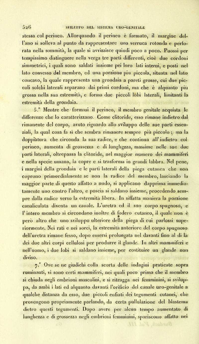 stessa col perineo. Allorquando il perineo è formato, il margine del- l’ano si solleva al punto da rappresentare una verruca rotonda e perfo- rata nella sommità, la quale si avvizzisce quindi poco a poco. Puossi per tempissimo distinguere nella verga tre parti differenti, cioè due cordoni simmetrici, i quali sono saldati insieme pei loro lati interni, e posti nel lato convesso del membro, ed una porzione piu piccola, situata nel lato concavo, la quale rappresenta una grondaia a pareti grosse, cui due pic- coli solchi laterali separano dai primi cordoni, ma che è alquanto più grossa nella sua estremità, e forma due piccoli lobi laterali, limitanti la estremità della grondaia. 5.° Mentre che formasi il perineo, il membro genitale acquista le differenze che lo caratterizzano. Come clitoride, esso rimane indietro dal rimanente del corpo, avuto riguardo allo sviluppo delle sue parti essen- ziali, la qual cosa fa sì che sembra rimanere sempre più piccolo •, ma la doppiatura che circonda la sua radice, e che continua all’ indietro col perineo, aumenta di grossezza e di lunghgzza, massime nelle sue due parti laterali, oltrepassa la clitoride, nel maggior numero dei mammiferi e nella specie umana, la copre e si trasforma in grandi labbra. Nel pene, i margini della grondaia e le parti laterali della piega cutanea che non coprono primordialmente se non la radice del membro, lasciando la maggior parte di questo affatto a nudo, si applicano dapprima immedia- tamente uno contro l’altro, e poscia si saldano insieme, procedendo sem- pre dalla radice verso la estremità libera. In siffatta maniera la porzione canaliculata diventa un canale. L’uretra ed il suo corpo spugnoso, e l’intero membro si circondano inoltre di fodero cutaneo, il quale non è però altro che uno sviluppo ulteriore della piega di cui parlossi supe- riormente. Nei rati e nei sorci, la estremità anteriore del corpo spugnoso dell’uretra rimane fesso, dopo essersi prolungata nel davanti fino al di là dei due altri corpi cellulosi per produrre il glande. In altri mammiferi e nell’uomo, i due lobi si saldano insieme, per costituire un glande non diviso. 7.0 Ove se ne giudichi colla scorta delle indagini praticate sopra ruminanti, vi sono certi mammiferi, nei quali poco prima che il membro si chiuda negli embrioni mascolini, e si ritragga nei femminini, si svilup- pa, da ambi i lati ed alquanto davanti l’orificio del canale uro-genitale a qualche distanza da esso, due piccoli enfiati dei tegumenti cutanei, che provengono propriamente parlando, da certa pullulazione del blastoma dietro questi tegumenti. Dopo avere per alcun tempo aumentato di lunghezza e di grossezza negli embrioni femminini, spariscono affatto nei