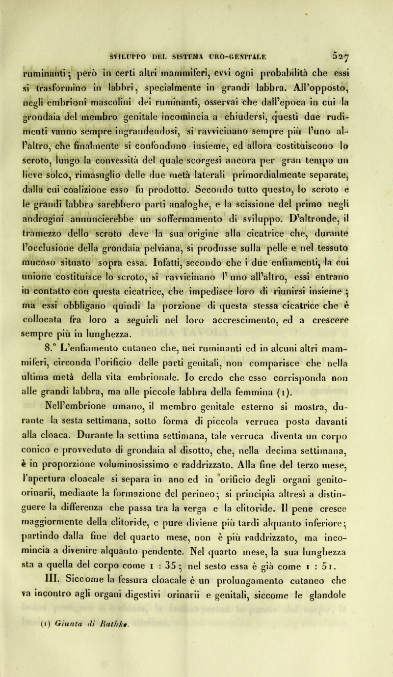 ruminatiti^ però in certi altri mammiferi, ewi ogni probabilità che essi si trasformino in labbri, specialmente in grandi labbra. All’opposto, negli embrioni mascolini dei ruminanti, osservai che dall’epoca in cui la grondaia del membro genitale incomincia a chiudersi, questi due rudi- menti vanno sempre ingrandendosi, si ravvicinano sempre più l’uno al- l’altro, che finalmente si confondono insieme, ed allora costituiscono lo scroto, lungo la convessità del quale scorgesi ancora per gran tempo un lieve solco, rimasuglio delle due metà laterali primordialmente separate, dalla cui coalizione esso fu prodotto. Secondo tutto questo, lo scroto e le grandi labbra sarebbero parti analoghe, e la scissione del primo negli androgini annuncierebbe un soffermamento di sviluppo. D’altronde, il tramezzo dello scroto deve la sua origine alla cicatrice che, durante l’occlusione della grondaia pelviana, si produsse sulla pelle e nel tessuto mucoso situato sopra essa. Infatti, secondo che i due enfiamenti, la cu» unione costituisce lo scroto, si ravvicinano I’ uno all’altro, essi entrano in contatto con questa cicatrice, che impedisce loro di riunirsi insieme } ma essi obbligano quindi la porzione di questa stessa cicatrice che è collocata fra loro a seguirli nel loro accrescimento, ed a crescere sempre più in lunghezza. 8.° L’enfiamento cutaneo che, nei ruminanti ed in alcuni altri mam- miferi, circonda l’orificio delle parti genitali, non comparisce che nella ultima metà della vita embrionale. Io credo che esso corrisponda non alle grandi labbra, ma alle piccole labbra della femmina (1). Nell’embrione umano, il membro genitale esterno si mostra, du- rante la sesta settimana, sotto forma di piccola verruca posta davanti alla cloaca. Durante la settima settimana, tale verruca diventa un corpo conico e provveduto di grondaia al disotto, che, nella decima settimana, è in proporzione voluminosissimo e raddrizzato. Alla fine del terzo mese, 1 apertura cloacale si separa in ano ed in orificio degli organi genito- orinarii, mediante la formazione del perineo} si principia altresì a distin- guere la differenza che passa tra la verga e la clitoride. Il pene cresce maggiormente della clitoride, e pure diviene più tardi alquanto inferiore} partindo dalla fine del quarto mese, non è più raddrizzato, ma inco- mincia a divenire alquanto pendente. Nel quarto mese, la sua lunghezza sta a quella del corpo come 1 : 35 } nel sesto essa è già come 1 : 5i. III. Siccome la fessura cloacale è un prolungamento cutaneo che va incontro agli organi digestivi orinari*! e genitali, siccome le glandole