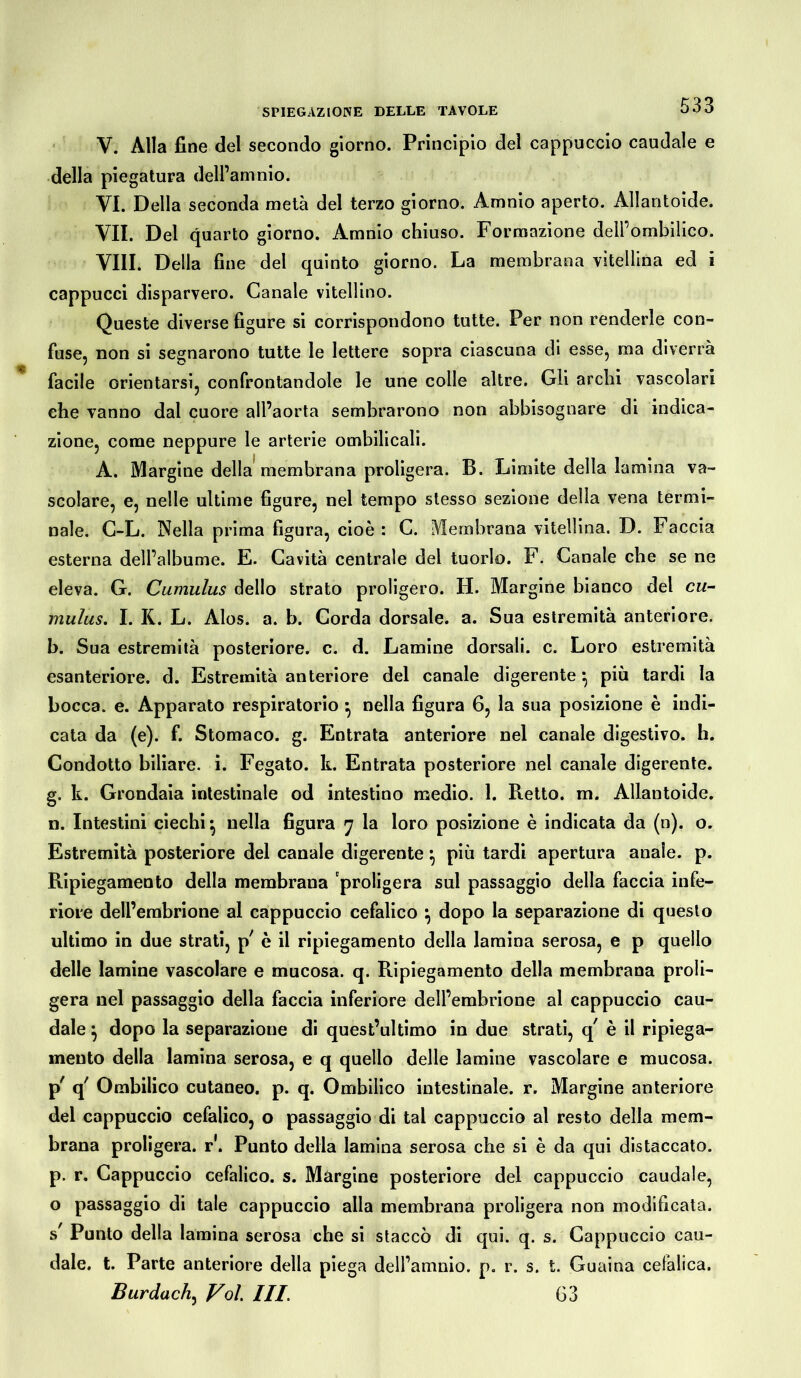 V. Alla fine del secondo giorno. Principio del cappuccio caudale e della piegatura dell’amnio. VI. Della seconda metà del terzo giorno. Amnio aperto. Allantoide. VII. Del quarto giorno. Amnio chiuso. Formazione delPombilico. Vili. Della fine del quinto giorno. La membrana vitellina ed i cappucci disparvero. Canale vitellino. Queste diverse figure si corrispondono tutte. Per non renderle con- fuse, non si segnarono tutte le lettere sopra ciascuna di esse, ma diverrà facile orientarsi, confrontandole le une colle altre. Gli archi vascolari che vanno dal cuore all’aorta sembrarono non abbisognare di indica- zione, come neppure le arterie ombilicali. A. Margine della membrana proligera. B. Limite della lamina va- scolare, e, nelle ultime figure, nel tempo stesso sezione della vena termi- nale. C-L. Nella prima figura, cioè : C. Membrana vitellina. D. Faccia esterna dell’albume. E. Cavità centrale del tuorlo. F. Canale che se ne eleva. G. Cumulus dello strato proligero. H. Margine bianco del cu- mulus. I. K. L. Alos. a. b. Corda dorsale, a. Sua estremità anteriore, b. Sua estremità posteriore, c. d. Lamine dorsali, c. Loro estremità esanteriore. d. Estremità anteriore del canale digerente} più tardi la bocca, e. Apparato respiratorio -, nella figura 6, la sua posizione è indi- cata da (e), f. Stomaco, g. Entrata anteriore nel canale digestivo, h. Condotto biliare, i. Fegato, k. Entrata posteriore nel canale digerente, g. k. Grondaia intestinale od intestino medio. 1. Retto, m. Allantoide. n. Intestini ciechi} nella figura 7 la loro posizione è indicata da (n). o. Estremità posteriore del canale digerente \ più tardi apertura anale, p. Ripiegamento della membrana 'proligera sul passaggio della faccia infe- riore dell’embrione al cappuccio cefalico \ dopo la separazione di questo ultimo in due strati, p' è il ripiegamento della lamina serosa, e p quello delle lamine vascolare e mucosa, q. Ripiegamento della membrana proli- gera nel passaggio della faccia inferiore dell’embrione al cappuccio cau- dale } dopo la separazione di quest’ultimo in due strati, q' è il ripiega- mento della lamina serosa, e q quello delle lamine vascolare e mucosa, p' q' Ombilico cutaneo, p. q. Ombilico intestinale, r. Margine anteriore del cappuccio cefalico, o passaggio di tal cappuccio al resto della mem- brana proligera. r\ Punto della lamina serosa che si è da qui distaccato, p. r. Cappuccio cefalico, s. Màrgine posteriore del cappuccio caudale, o passaggio di tale cappuccio alla membrana proligera non modificata. s' Punto della lamina serosa che si staccò di qui. q. s. Cappuccio cau- dale. t. Parte anteriore della piega dell’amnio. p. r. s. t. Guaina cefalica. Burdach, Voi III. 63