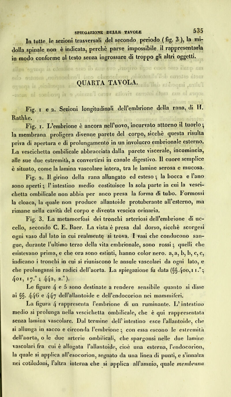 In tutte le sezioni trasversali del secondo periodo ( fig. 3 ), la mi- dolla spinale non è indicata, perchè parve impossibile il rappresentarla in modo conforme al testo senza ingrossare di troppo gli altri oggetti. QUARTA TAVOLA. Fig. i e 2. Sezioni longitudinali dell’embrione della rana, di H. Rathke. Fig. i. L’embrione è ancora nell’uovo, incurvato attorno il tuorlo^ la membrana proligera divenne parete del corpo, sicché questa risulta priva di apertura e di prolungamento in un involucro embrionale esterno. La vescichetta omhilicale abbracciata dalla parete viscerale, incomincia, alle sue due estremità, a convertirsi in canale digestivo. Il cuore semplice è situato, come la lamina vascolare intera, tra le lamine serosa e mucosa. Fig. 2. 11 girino della rana allungato ed esteso *, la bocca e l’ano sono aperti} l’intestino medio costituisce la sola parte in cui la vesci- chetta ombilicale non abbia per anco presa la forma di tubo. Pormossi la cloaca, la quale non produce allantoide protuberante all’esterno, ma rimane nella cavità del corpo e diventa vescica orinaria. Fig. 3. La metamorfosi dei tronchi arteriosi dell’emhrione di uc- cello, secondo C. E. Baer. La vista è presa dal dorso, sicché scorgesi ogni vaso dal lato in cui realmente si trova. I vasi che conducono san- gue, durante l’ultimo terzo della vita embrionale, sono rossi • quelli che esistevano prima, e che ora sono estinti, hanno color nero, a, a, b, b, c, c, indicano i tronchi in cui si riuniscono le ansule vascolari da ogni lato, e che prolungansi in radici delPaorta. La spiegazione fu data (§§.400,1 i.°* 4oi, 17.° ; 442, 2.0). Le figure 4^5 sono destinate a rendere sensibile quanto si disse ai §§. 446 e 447 dell’allantoide e dell’endocorion nei mammiferi. La figura 4 rappresenta l’embrione di un ruminante. L’intestino medio si prolunga nella vescichetta ombilicale, che è qui rappresentata senza lamina vascolare. Dal termine dell’ intestino esce l’allantoide, che si allunga in sacco e circonda l’embrione } con essa escono le estremità dell’aorta, o le due arterie ombilicali, che spargonsi nelle due lamine vascolari fra cui è allogata l’allantoide, cioè una esterna, fendocorion, la quale si applica all’esocorion, segnato da una linea di punti, e s’innalza nei cotiledoni, l’altra interna che si applica all’amnio, quale membrana