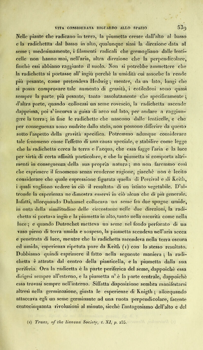 Nelle piante die radicano in terra, la piumetta cresce dall’alto al basso e la radichetlla dal basso in alto, qualunque siasi la direzione data al seme *, medesimamente, i filamenti radicali che germogliano dalle lenti- celle non hanno mai, neH’aria, altra direzione che la perpendicolare, finche essi abbiano raggiunto il suolo. Non sì potrebbe ammettere che la radichetta sì portasse all’ ingiù perchè la umidità cui assorbe la rende più pesante, come pretendeva Hedwig *, mentre, da un lato, lungi die si possa comprovare tale aumento di gravità, i cotiledoni sono quasi sempre la parte più pesante, tanto assolutamente che specificamente* d’altra parte, quando collocasi un seme rovescio, la radichetta ascende dapprima, poi s’incurva a guisa di arco sul lato, per andare a raggiun- gere la terra* in fine le radichette che nascono dalle lenticelle, e che per conseguenza sono nudrite dallo stelo, non possono difTerire da questo sotto l’aspetto della gravità specifica. Potremmo adunque considerare tale fenomeno come l’effetto di una causa speciale, e stabilire come legge che la radichetta cerca la terra e l’acqua, che essa fugge l’aria e la luce per virtù di certa affinità particolare, e che la glumetta si comporta altri- menti in conseguenza della sua propria natura* ma non faremmo così che esprimere il fenomeno senza renderne ragione, giacche non è lecito considerare che quale espressione figurata quella di Percival e di Keith, i quali vogliono vedere in ciò il resultato di un istinto vegetabile. D’al- tronde la esperienza ne dimostra esservi in ciò alcun che di più generale. Infatti, allorquando Duhamel collocava un seme fra due spugne umide, in onta della similitudine delle circostanze nelle due direzioni, la radi- chetla si portava ingiù e la piumetta in alto, tanto nella oscurità come nella luce ; e quando Dutrochet metteva un seme nel fondo perforato di un vaso pieno di terra umida e sospeso, la piumetta scendeva nell’aria secca e penetrata di luce, mentre che la radichetta ascendeva nella terra oscura ed umida, esperienza ripetuta pure da Keith (i) con lo stesso resultato. Dobbiamo quindi esprimere il fatto nella seguente maniera * la radi- chetta è attrata dal centro della pianticella, e la piumetta dalla sua periferia. Ora la radicetta è la parte periferica del seme, dappoiché essa dirigesi sempre all’esterno, e la piumetta n’ è la parte centrale, dappoiché essa trovasi sempre nell’intèrno. Siffatta disposizione sembra manifestarsi altresì nella germinazione, giusta le esperienze di Rnigth • allorquando attaccava egli un seme germinante ad una ruota perpendicolare, facente centocinquanta rivoluzioni al minuto, sicché l’antagonismo dell’alto e del (i) Trans, of thè linnean Society, t. XI, p. 255.