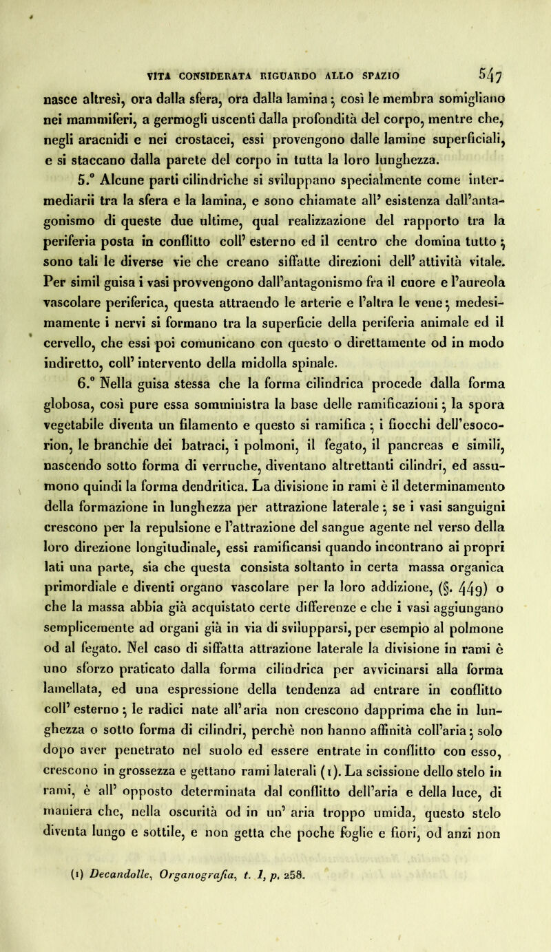 nasce altresì, ora dalla sfera, ora dalla lamina ^ cosi le membra somigliano nei mammiferi, a germogli uscenti dalla profondità del corpo, mentre che, negli aracnidi e nei crostacei, essi provengono dalle lamine superficiali, e si staccano dalla parete del corpo in tutta la loro lunghezza. 5. ° Alcune parti cilindriche si sviluppano specialmente come inter- mediarii tra la sfera e la lamina, e sono chiamate all’ esistenza dall’anta- gonismo di queste due ultime, qual realizzazione del rapporto tra la periferia posta in conflitto coll’ esterno ed il centro che domina tutto ^ sono tali le diverse vie che creano siffatte direzioni dell’ attività vitale. Per simil guisa i vasi provvengono dall’antagonismo fra il cuore e l’aureola vascolare periferica, questa attraendo le arterie e l’altra le vene ^ medesi- mamente i nervi si formano tra la superficie della periferia animale ed il cervello, che essi poi comunicano con questo o direttamente od in modo indiretto, coll’ intervento della midolla spinale. 6. ® Nella guisa stessa che la forma cilindrica procede dalla forma globosa, cosi pure essa somministra la base delle ramificazioni ^ la spora vegetabile diventa un filamento e questo si ramifica ^ i fiocchi dell’esoco- rion, le branchie dei batraci, i polmoni, il fegato, il pancreas e simili, nascendo sotto forma di verruche, diventano altrettanti cilindri, ed assu- mono quindi la forma dendritica. La divisione in rami è il determinamento della formazione in lunghezza per attrazione laterale ^ se i vasi sanguigni crescono per la repulsione e l’attrazione del sangue agente nel verso della loro direzione longitudinale, essi ramificansi quando incontrano ai propri lati una parte, sia che questa consista soltanto in certa massa organica primordiale e diventi organo vascolare per la loro addizione, (§. 44fl) ® che la massa abbia già acquistato certe differenze e che i vasi aggiungano semplicemente ad organi già in via di svilupparsi, per esempio al polmone od al fegato. Nel caso di siffatta attrazione laterale la divisione in rami è uno sforzo praticato dalla forma cilindrica per avvicinarsi alla forma lamellata, ed una espressione della tendenza ad entrare in conflitto coll’esterno*, le radici nate all’aria non crescono dapprima che in lun- ghezza o sotto forma di cilindri, perchè non hanno affinità coll’aria^ solo dopo aver penetrato nel suolo ed essere entrate in conflitto con esso, crescono in grossezza e gettano rami laterali (i). La scissione dello stelo in rami, è all’ opposto determinata dal conflitto dell’aria e della luce, di maniera che, nella oscurità od in un’ aria troppo umida, questo stelo diventa lungo e sottile, e non getta che poche foglie e fiori, od anzi non (i) Decandolle^ Organografia^ t. 1, p, 258.