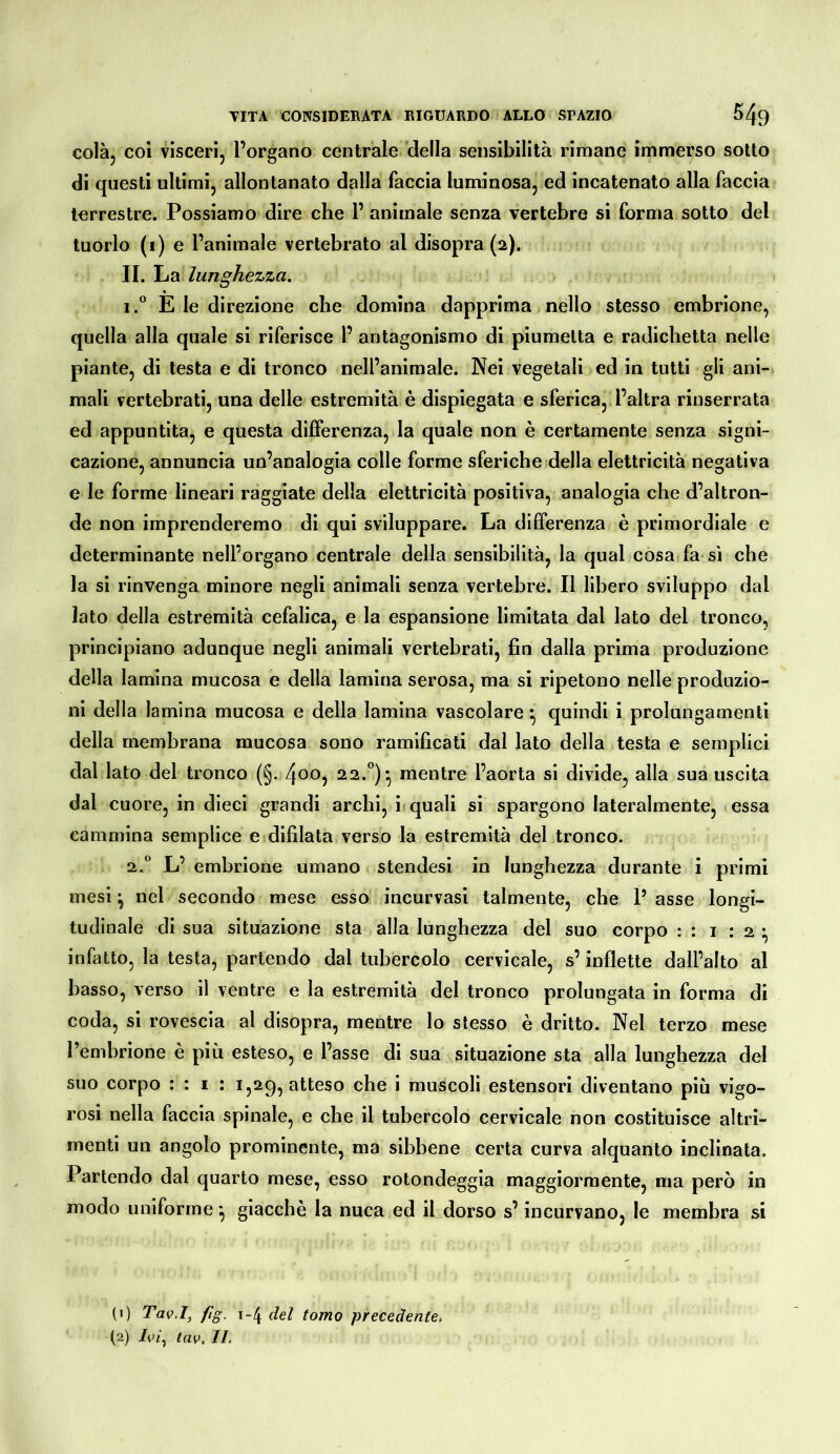 colàj coi visceri, l’organo centrale della sensibilità rimane immerso sotto di questi ultimi, allontanato dalla faccia luminosa, ed incatenato alla faccia terrestre. Possiamo dire che 1’ animale senza vertebre si forma sotto del tuorlo (i) e l’animale vertebrato al disopra (2). IL La 7«/z^Äez.za. E le direzione che domina dapprima nello stesso embrione, quella alla quale si riferisce l’ antagonismo di piumelta e radichetta nelle piante, di lesta e di tronco nell’animale. Nei vegetali ed in tutti gli ani- mali vertebrati, una delle estremità è dispiegata e sferica, l’altra rinserrata ed appuntita, e questa differenza, la quale non è certamente senza signi- cazione, annuncia un’analogia colle forme sferiche della elettricità negativa e le forme lineari raggiate della elettricità positiva, analogia che d’altron- de non imprenderemo di qui sviluppare. La differenza è primordiale e determinante nell’organo centrale della sensibilità, la qual cosa fa sì che la si rinvenga minore negli animali senza vertebre. Il libero sviluppo dal lato della estremità cefalica, e la espansione limitata dal lato del tronco, principiano adunque negli animali vertebrati, fin dalla prima produzione della lamina mucosa e della lamina serosa, ma si ripetono nelle produzio- ni della lamina mucosa e della lamina vascolare ^ quindi i prolungamenti della membrana mucosa sono ramificati dallato della testa e semplici dal lato del tronco (§. 400, 22.”)*, mentre l’aorta si divide, alla sua uscita dal cuore, in dieci grandi archi, i quali si spargono lateralmente, essa cammina semplice e difilata verso la estremità del tronco. 2.” L’ embrione umano stendesi in lunghezza durante i primi mesi ^ nel secondo mese esso incurvasi talmente, che P asse longi- tudinale di sua situazione sta alla lunghezza del suo corpo : : 1:2^ infatto, la testa, partendo dal tubercolo cervicale, s’inflette dall’alto al basso, verso il ventre e la estremità del tronco prolungala in forma di coda, si rovescia al disopra, mentre lo stesso è dritto. Nel terzo mese l’embrione è più esteso, e l’asse di sua situazione sta alla lunghezza del suo corpo : : I : 1,2g, atteso che i muscoli estensori diventano più vigo- rosi nella faccia spinale, e che il tubercolo cervicale non costituisce altri- menti un angolo prominente, ma sibbene certa curva alquanto inclinata. Partendo dal quarto mese, esso rotondeggia maggiormente, ma però in modo uniforme ^ giacché la nuca ed il dorso s’incurvano, le membra si (1) Tav.I, fig. 1-4 del tomo precedente, (2) h>i^ tav. IL