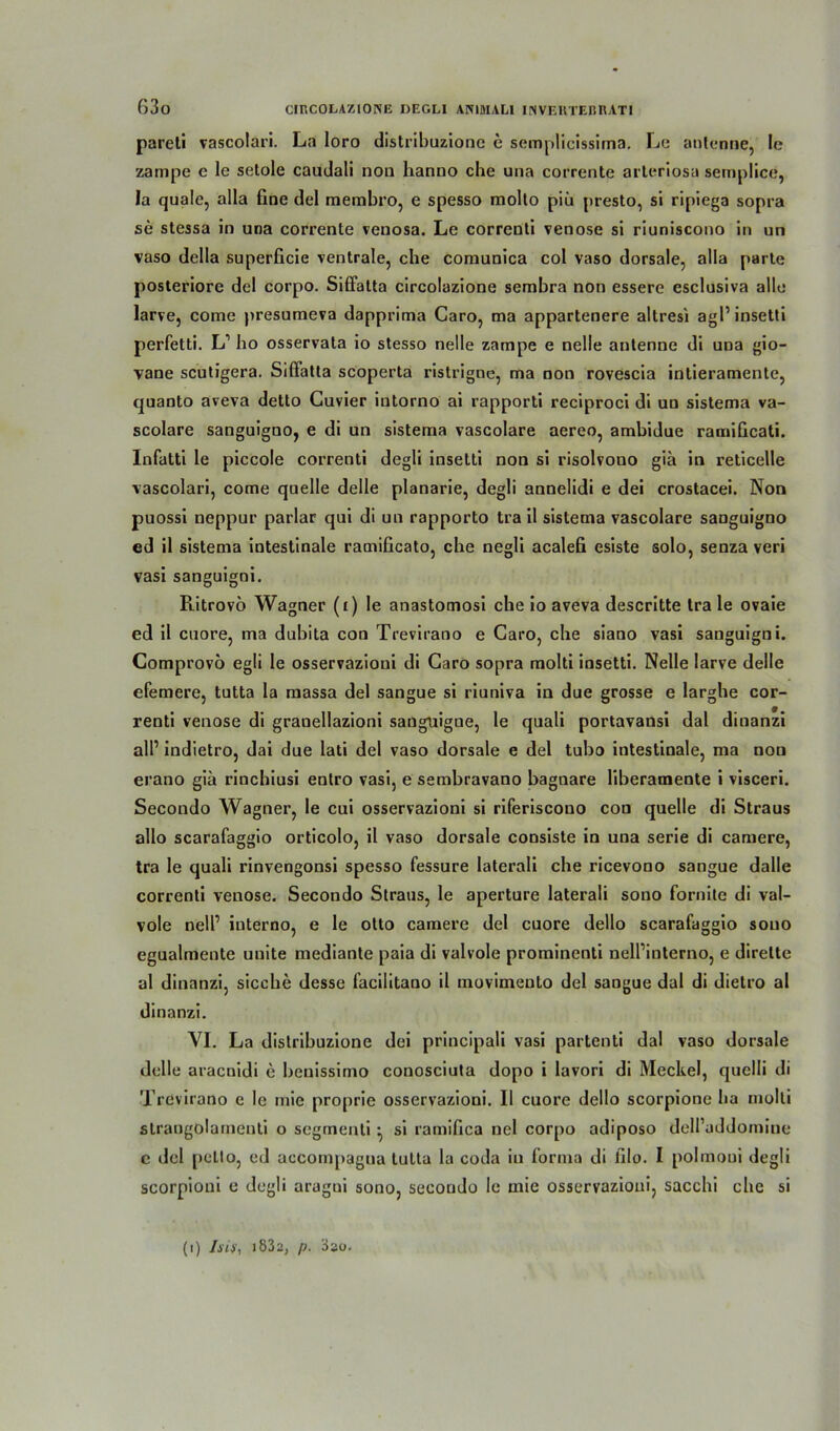 pareti vascolari. La loro distribuzione e semplicissima. Le antenne, le zampe e le setole caudali non hanno che una corrente arteriosa semplice, la quäle, alla fine del membro, e spesso molto piü presto, si ripiega sopra se stessa in una corrente venosa. Le correnti venöse si riuniscono in un vaso della superficie ventrale, che comunica col vaso dorsale, alla parte posteriore del corpo. Siffatta circolazione sembra non essere esclusiva alle larve, come presumeva dapprima Caro, ma appartenere altresi agl1 insetti perfetti. L1 ho osservata io stesso nelle zampe e nelle antenne di una gio- vane scutigera. Siffatta scoperta ristrigne, ma non rovescia intieramente, quanto aveva detto Cuvier intorno ai rapporti reciproci di un sistema va- scolare sanguigno, e di un sistema vascolare aereo, ambiduc ramificati. Infatti le piccole correnti degli insetti non si risolvono giä in reticelle vascolari, come quelle delle planarie, degli annelidi e dei crostacei. Non puossi neppur parlar qui di un rapporto tra il sistema vascolare sanguigno ed il sistema intestinale ramificato, che negli acalefi esiste solo, senza veri vasi sanguigoi. Ritrovö Wagner (i) le anastomosi che io aveva descritte tra le ovaie ed il cuore, ma duhita con Trevirano e Caro, che siano vasi sanguigni. Comprovö egli le osservazioni di Caro sopra molti insetti. Nelle larve delle efemere, tutta la massa del sangue si riuniva in due grosse e larghe cor- renti venöse di graoellazioni sanguigne, le quali portavansi dal dinanzi all’ indietro, dai due lati del vaso dorsale e del tubo intestinale, ma non erano gia rincbiusi entro vasi, e sembravano bagnare liberamente i visceri. Secondo Wagner, le cui osservazioni si riferiscono con quelle di Straus allo scarafaggio orticolo, il vaso dorsale consiste in una serie di camere, tra le quali rinvengonsi spesso fessure laterali che ricevono sangue dalle correnti venöse. Secondo Straus, le aperture laterali sono formte di val- vole nell’ iuterno, e le otto camere del cuore dello scarafaggio souo egualmente unite mediante paia di valvole prominenti nelfinterno, e direlte al dinanzi, sieche desse facilitano il movimento del sangue dal di dietro al dinanzi. VI. La distribuzione dei principali vasi partenti dal vaso dorsale delle araenidi e benissimo conosciuta dopo i lavori di Meckel, quelli di Trevirano e le mie proprie osservazioni. 11 cuore dello scorpione ha molti slrangolamenli o segtnenti • si ramifica nel corpo adiposo dell’addomine c del pclto, ed accompagna tutta la coda in forma di filo. I polmoui degli scorpioni e degli aragni sono, secondo le mie osservazioui, sacchi che si (i) Isis, 1832, p. 3ao.