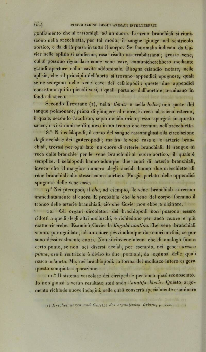gönfiamento che si rassomigli ad un cuore. Le vcne hranchiali si riuni- scono nella orecchietta, per tal modo, il sangue giunge nel ventricolo aortico, e da di lä passa in tutto il corpo. Se l’anomalia indicata da Cu- vier nelle aplisie si conferma, essa risulta osservabilissima • grosse vene, cui si possono riguardare come vene cave, comunicherebbero mediante grandi aperture colla cavitä addominale. Bisogna eziandio notare, nelle aplisie, che al principio dell’aorta si trovano appendici spugnose, quali se ne scorgono nelle vene cave dei cefalopodi } queste due appendici consistono qui in piccoli vasi, i quali partono dall’aorta e terminano in fondo di sacco. Sccondo Trevirano (i), nella Umax e nella helix, una parte del sangue polmonare, prima di giungere al cuore, si reca al sacco esterno, il quäle, secondo Jacobson, separa acido urico \ essa spargesi in questo sacco, e vi si riunisce di uuovo in un tronco che termina nell’orecchietta. 8.° Nei cefalopodi, il corso del sangue rassomigliasi alla circolazione degli acefali e dei gasteropodi ^ ma fra le vene cave e le arterie bran- chiali, trovasi per ogni lato un cuore di arterie branchiali. Il sangue si reca dalle branchie per le vene branchiali al cuore aortico, il quäle e semplice. I cefalopodi hanno adunque due cuori di arterie branchiali, invece che il maggior numero degli acefali hanno due orecchiette di vene branchiali allo stesso cuore aortico. Fu gia parlato delle appendici spugnose delle vene cave. q.° Nei pteropodi, il c/io, ad esempio, le vene branchiali si recano immediatamente al cuore. E prohabile che le vene del corpo formino il tronco delle arterie branchiali, ciö che Cuvier non ebbe a dicifrare. 10. ° Gli organi circolatori dei brachiopodi uon possono essere ridotti a quelli degli al tri molluschi, e richiedono per anco nuove e piii esalte ricerche. Esaminö Cuvier la lingula anatina. Le vene branchiali vanno, per ogni lato, ad un cuore } evvi adunque due cuori aortici, se pur sono dessi realmente cuori. Non si rinviene aleun che di aualogo lino a certo punto, se non nei diversi acefali, per esempio, nei generi arca e pinna, ove il ventricolo e diviso in due porzioni, da ognuna delle quali nasce uiPaorta. Ma, nei brachiopodi, la forma del mollusco intero esigeva questa compiuta separazione. 11. ° 11 sistema vascolare dei cirripedi e per anco quasi sconosciuto. Io non giuusi a verun resultato studiando Vanalifa laevis. Questo argo- mento richiede nuove iudagini, nelle quali converra specialmente esaminare (i) Erscheinungen und Gesetze des organischea Lebens, p. 222.