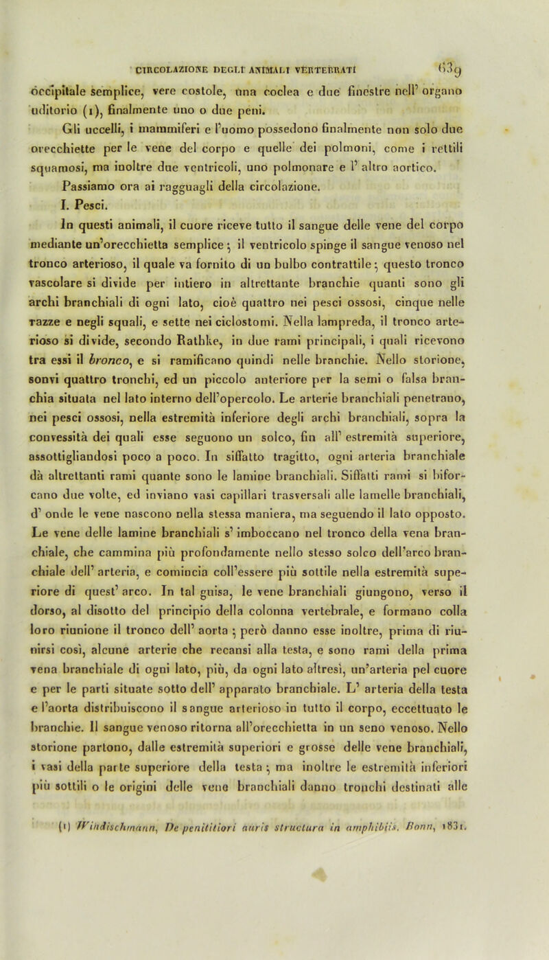 CIRCOLAZIONE DEGLt AMÄTAEt VERTERRATt b3g öccipitale semplice, vere costole, una coclea e due finestre nclP organo uditorio (i), Bnahnente nno o eine peni. Gli uccelli, i tnatnmiferi e l’uomo possedono finalmente non solo due orecchiette per le vene del corpo e quelle dei polmoni, come i rettili squamosi, ma inoltre due ventricoli, uno polmonare e P altro aortieo. Passiamo ora ai ragguagli della circolazione. I. Pesci. In questi animali, il cuore riceve tutto il sangue delle vene del corpo mediante un’orecchietta semplice ^ il ventricolo spinge il sangue venoso nel tronco arterioso, il quäle va fornito di un bulbo contrattile } questo troneo vascolare si divide per intiero in altrettante branchie quanti sono gli arebi branchiali di ogni lato, cioe quattro nei pesci ossosi, cinque nelle Tazze e negli squali, e sette nei ciclostomi. Nella lampreda, il tronco arte- rioso si divide, secondo Rathke, in due rami principali, i quali ricevono tra essi il bronco, e si ramificano quindi nelle branchie. Nello slorione, sonvi quattro tronchi, ed un piccolo anteriore per la semi o falsa bran- chia situata nel lato interno delPopercolo. Le arterie branchiali penetrano, nei pesci ossosi, nella estremita inferiore degli archi branchiali, sopra la convessitä dei quali esse seguono un solco, fin all1 estremita superiore, assottigliandosi poco a poco. In siöatto tragitto, ogni arteria branchiale da altrettanti rami quante sono le lamine branchiali. Siffatti rami si bifor- cano due volte, ed inviano vasi capillari trasversali alle lamelle branchiali, d1 onde le vene nascono nella stessa maniera, ma seguendo il lato opposto. Le vene delle lamine branchiali s1 imboccano nel tronco della vena bran- chiale, che cammina piü profondamente nello stesso solco dell'arco bran- chiale delP arteria, e comincia coll’essere piü sottile nella estremita supe- riore di quest1 arco. In tal guisa, le vene branchiali giungono, verso il dorso, al disotto del principio della colonna vertebrale, e formano colla loro riunione il tronco delP aorta ^ perö danno esse inoltre, prima di riu- nirsi cosi, alcune arterie che recansi alla t.esta, e sono rami della prima vena hranchiale di ogni lato, piü, da ogni lato aitresi, un’arteria pel cuore e per le parti situate sotto delP apparato branchiale. L1 arteria della testa e Paorta distribuiscono il sangue arterioso in tutto il corpo, eccettuato le branchie. II sangue venoso ritorna alPorecchietta in un seno venoso. Nello storione partono, dalle estremita superiori e grosse delle vene branchiali, i vasi della parte superiore della testa ^ ma inoltre le estremita inferiori piü sottili o le origini delle veno branchiali danno tronchi destinati alle (i) IVihdischmann, De penititiori aurls struclura in amphibiis. Bonn, i83i.