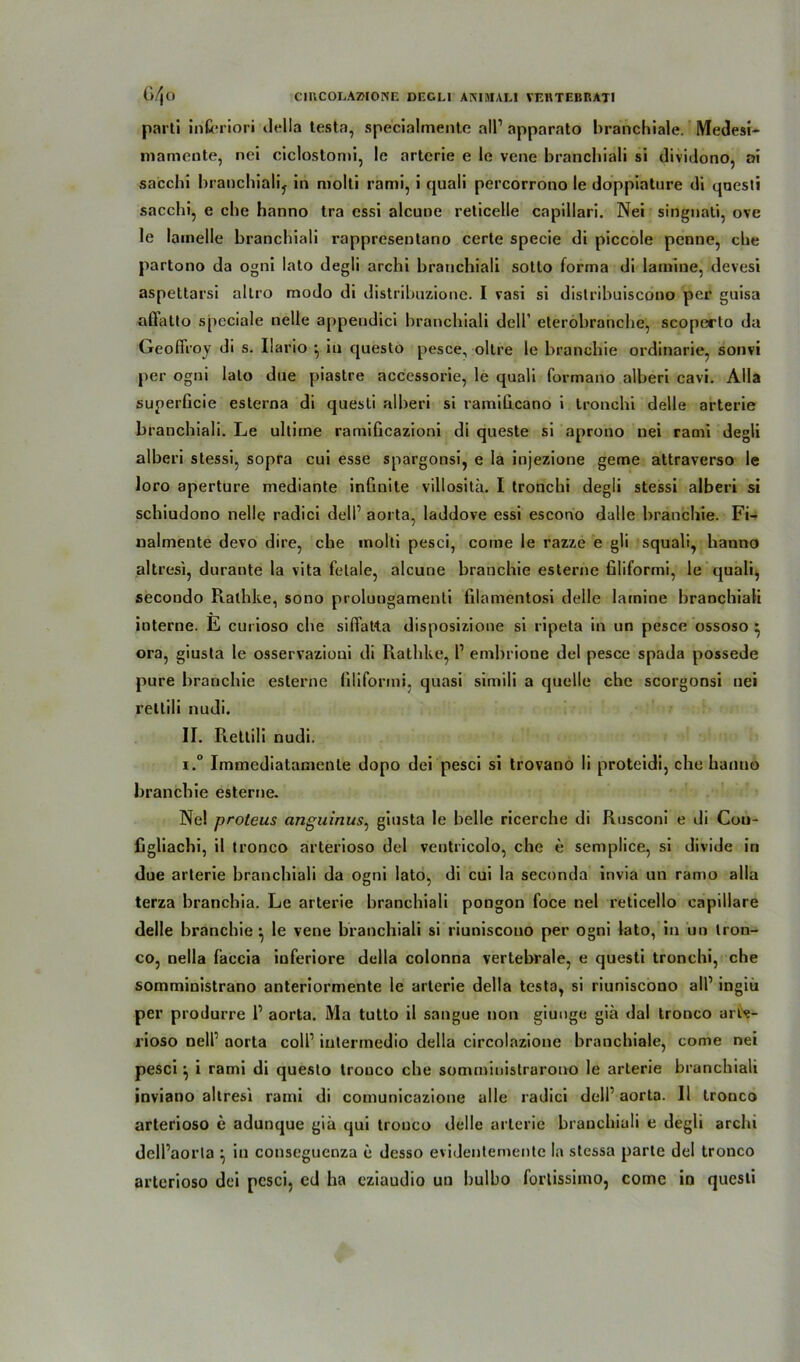 parti interiori della testa, specialmente all1 apparato branchiale. Medesi- mamente, nei ciclostomi, le artcrie e le vene branchiali si dividono, oi sacclii branchiali^ in molti rami, i quali percorrono le doppiature di questi sacchi, e ehe hanno tra essi alcune reticelle capillari. Nei singnati, ove le lainelie branchiali rappresentano certe specie di piccole penne, che partono da ogni lato degli archi branchiali sotto forma di lamine, devesi aspettarsi altro modo di distribuzione. I vasi si dislribuiscono per guisa aßfatto spcciale nelle appeudici branchiali dell’ eteröbranche, scoperto da Geoffroy di s. Ilario •, in questo pesce, oltre le branchie ordinarie, sonvi per ogni lato dne piastre accessorie, le quali formano alberi cavi. Alla superficie esterna di quesli alberi si ramiheano i tronchi delle arterie branchiali. Le uhime ramiGcazioni di queste si aprono nei rami degli alberi stessi, sopra cui esse spargonsi, e la injezione gerne attraverso le loro aperture mediante infinite villosita. I tronchi degli stessi alberi si schiudono nelle radici dell1 aorta, laddove essi escono dalle branchie. Fi- nalmente devo dire, che molti pesci, come le razze e gli squali, hanno altresi, durante la vita fetale, alcune branchie esterne Gliformi, le quali, secondo Rathke, sono prolungamenli Glamentosi delle lamine branchiali interne. E curioso che silfatta disposizione si ripeta in un pesce ossoso } ora, giusta le osservazioui di Rathke, l1 embrione del pesce spada possede pure branchie esterne filiformi, quasi simili a quelle che scorgonsi nei rettili nudi. II. Rettili nudi. i.° Immediatamenle dopo dei pesci si trovano li proteidi, che hanuo branchie esterne. Ne! proteus anguinus, giusta le belle ricerche di Rusconi e di Cou- figliachi, il tronco arterioso del ventricolo, che e semplice, si divide in due arterie branchiali da ogni lato, di cui la seconda invia un ramo alla terza branchia. Le arterie branchiali pongon foce nei reticello capillare delle branchie } le vene branchiali si riuniscono per ogni lato, in un tron- co, nella faccia inferiore della colonna vertebrale, e questi tronchi, che somministrano anteriormente le arterie della testa, si riuniscono all1 ingiü per produrre l1 aorta. Ma tutto il sangue non giunge giä dal tronco arls- rioso nell1 aorta coli1 iutermedio della circolazione branchiale, come nei pesci \ i rami di questo tronco che somministrarono le arterie branchiali inviano altresi rami di comunicazione alle radici dell1 aorta. Il tronco arterioso e adunque giä qui tronco delle arterie branchiali e degli arclu dell’aorla \ in conseguenza e desso evidentemente la stessa parte del tronco arterioso dei pesci, ed ha eziaudio un bulbo forlissimo, come in questi