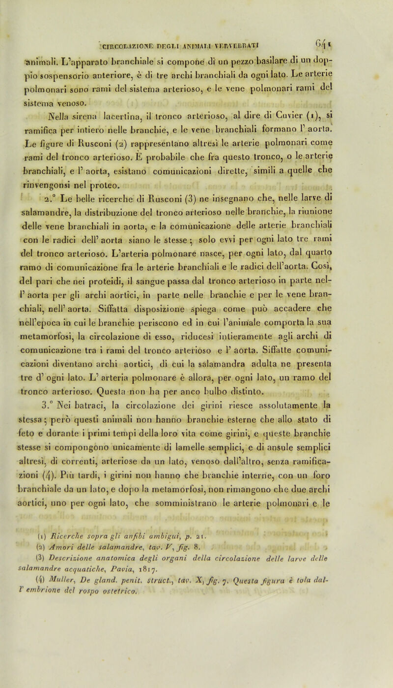 CIBCOEAZIONF. PFGLI AMMAU VFIVVEIIIIATI ^4* «mimali. L’apparato bronchiale si compone di un pezzo basilare di un dop- pio sospensorio anteriore, e di tre archi branchiali da ogni lato. Le arterie polmonari sono rami del sistema arterioso, e le vene polmonari rarni del sistema venoso. Nella sircna lacertina, il tronco arlerioso, al dire di Cuvier (i), si ramifica per intiero nelle brouchie, e le vene branchiali formano l1 2 3 4 aorta. Le figure di Rusconi (2) rappresentano altresi le arterie polmonari come rami del tronco arterioso. E probabile ehe fra questo tronco, o le arterie branchiali, e P aorta, esistano comunicazioni dirette, simili a quelle che rinvengonsi nel proteo. 2. ° Le belle ricerche di Rusconi (3) ne insegnano che, nelle larve di salamandre, la distribuzione de! tronco arterioso nelle branchie, la riunione delle vene branchiali in aorta, e la comunicazione delle arterie branchiali con le radici delP aorta siano le stesse • solo evvi per ogni lato tre rami del tronco arlerioso. L’arteria polmonare nasce, per ogni lato, dal quarto ramo di comunicazione fra le arterie branchiali e le radici delPaorta. Cosi, del pari che nei proteidi, il sangue passa dal tronco arterioso in parte nel- P aorta per gli archi aortici, in parte nelle branchie e per le vene bran- chiali, nelP aorta. Siffatta disposizione spiega come puö accadere che nelPepoca in cui le branchie periscono ed in cui Panimale comporta la sua metamorfosi, la circolazioue di esso, riducesi inlieramenle agli archi di comunicazione tra i rami del tronco arterioso e P aorta. Siffatte comuni- cazioni diventano archi aortici, di cui la salamandra adulta ne presenta tre d1 ogni lato. L’ arteria polmonare e allora, per ogni lato, un ramo del tronco arterioso. Questa non ha per anco bulbo distinto. 3. ° Nei batraci, la circolazioue dei girini riesce assolutamente la stessa • pero questi animali non hanno branchie esterne che ällo stato di feto e durante i prirni tempi della loro vita come girini, e qüeste branchie stesse si compongono unicamente di lamelle semplici, e di ansule semplici altresi, di correnti, arteriöse da un lato, venoso dalPallro, senza ramißca- zioni (4). Piii tardi, i girini non hanno che branchie interne, con un foro branchinle da un lato,e dopo la metamorfosi, non rimangono che due archi aortici, uno per ogni lato, che somministrano le arterie polmonari e le (1) Ricerche sopra gli anfibi ambigui, p. 21. (2) Amori delle salamandre, tav. V, ßg. 8. (3) Descrizione anatomica degli organi della circolazioue delle larve delle salamandre acc/uatiche, Pavia, 1817. (4) Müller, De gland. penit. structtaw X, Jig, 7. Questa fgura e Iota dal-