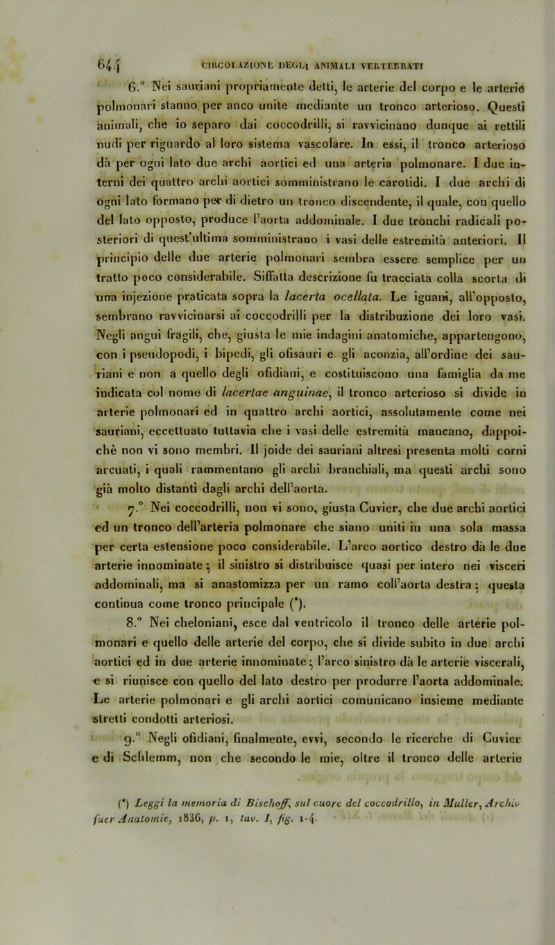 6. Nei sauriani propriamenlc detti, le arterie del corpo e le arlerie polraonari stanno per anco unite mediante un tronco arterioso. Questi animali, che io separo dai coccodrilli, si ravvicinano dunque ai rettili nudi per riguardo al loro sistema vascolare. In essi, il tronco arterioso da per ogni lato due archi aortici ed una arteria polmonare. I due in- tcrni dei quattro archi aortici somrninistrano le carotidi. I due archi di ogni lato formano per di dietro un tronco discendente, il quäle, con quello del lato opposto, produce l’aorta addominale. I due tronchi radicali po- steriori di quest ultima somrninistrano i vasi delle estremitä anteriori. Il principio delle due arterie polmonari sembra essere semplice per un tratto poco considerabile. Siffalta descrizione fu tracciata colla scorta di una injezione pralicata sopra la lacerta ocellala. Le iguani, all’opposto, sembrano ravvicioarsi ai coccodrilli per la distribuzione dei loro vasi. Negli angui Iragili, che, giusta le mie indagini analomiche, appartengono, con i pseudopodi, i bipedi, gli ofisauri e gli aconzia, all’ordine dei sau- riani e non a quello degli ofidiani, e costituiscono una famiglia da me indicata col nome di lacerlae anguinae, il tronco arterioso si divide in arterie polmonari ed in quattro archi aortici, assolutamente come nei sauriani, eccettuato tuttavia che i vasi delle estremitä inancano, dappoi- che non vi sono membri. II joide dei sauriani altresi presenta molti corni arcuati, i quali rammentano gli archi branchiali, ma questi archi sono giä molto distanti dagli archi dell’aorla. f].° Nei coccodrilli, non vi sono, giusta Cuvier, che due archi aortici ed un tronco dell’arteria polmonare che siano uniti in una sola massa per certa eslensione poco considerabile. L’arco aortico destro da le due arterie innominate ^ il sinistro si distribuisce quasi per iutero nei visceri addominali, ma si anastomizza per un ramo colPaorta destra: questa continua come tronco principale (*). 8.° Nei cheloniani, esce dal veutricolo il tronco delle arterie pol- monari e quello delle arterie del corpo, che si divide suhito in due archi aortici ed in due arterie innominate ^ l’arco sinistro da le arterie viscerali, e si riunisce con quello del lato destro per produrre l’aorta addominale. Le arterie polmonari e gli archi aortici comunicano iusieme mediantc slretti condotti arteriosi. 9.0 Negli ofidiani, finalmente, evvi, secondo le ricerche di Cuvier e di Schlemm, non che secondo le mie, oltre il tronco delle arlerie (*) Leggi la memoria di Bisclioff, sul cuorc del coccodrillo, in Maller, Archiv fuer Anatomie, iö3G, p. >, luv. /, jig. i-\. ■ >