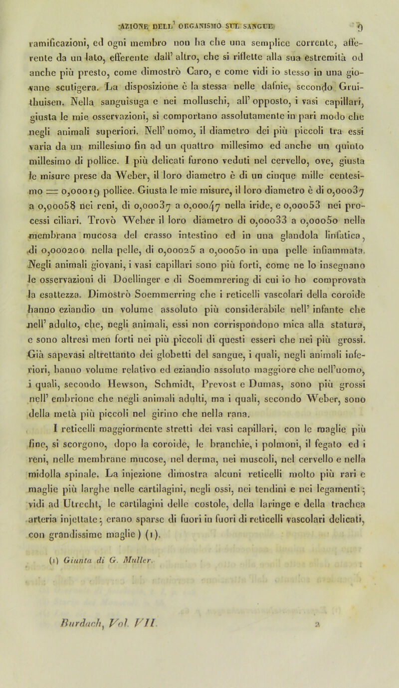 tAZIONE DELIj’ ORGANISMO STt, SANGTJE. j) ramilicazioni, eil ogni inembro nou Iia che una semplice correulc, alle- reute da uii lato, efferente dall’ altro, che si riffelte alla sua eslrcroilä od anche piü presto, come dimoslro Caro, c comc vidi io slesso in una gio- ^ane sculigera. La disposizione e la stessa nelle dal’nie, secondo Grui- thuisen. Nella sanguisuga e nei molluschi, all’ opposto, i vasi caplllari, giusta le mie osservazioni, si comportauo assolutamente in pari modo che negli animali superiori. Nell’ uomo, il diaraetro dei piü piccoli tra essi varia da un millesimo fin ad un quallro niillesimo ed anche un qulnlo nilllesimo di pollice. 1 piü delicati furono veduti nel cervello, ove, giusta le inisure prese da Weber, il loro diametro e di un cinque mille centesi- mo zr: 0,00019 pollice. Giusta le mie inisure, il loro diametro e di o,ooo3^ a o,ooo58 nei reni, di o,ooo3y a 0,00047 iride, e o,ooo53 nei pro- cessi ciliari. Trovo Weber il loro diametro di o,ooo33 a o,ooo5o nella membrana mucosa del crasso intestino ed in una glandola linfatica, ,di 0,000200 nella pelle, di o,ooo25 a o,ooo5o in una pelle infiammata. Negli animali giovani, i vasi capillari sono piü forti, come ne lo insegnano le osservazioni di Doellinger e di Soemmreriog di cui io ho comprovata la esaltezza. Dimoströ Soemmerring che i reticelli vascolari della coroide hanno eziandio un volume assoluto piü considerabile nell’ infante che jiell’ adulto, che, negli animali, essi non corrispondouo mica alla stalura, e sono altresi men forti nei piü piccoli di questi esseri che nei piü grossi. Gia sapevasi altrettanto dei globetti del sangue, i quali, negli animali infe- riori. hanno volume relativo ed eziandio assoluto maggiore che nell’uomo, i quali, secondo Hewson, Schmidt, Prevost e Dumas, sono piü grossi nell’ embrionc che negli animali adulti, ma i quali, secondo Weber, sono della mela piü piccoli nel girino che nella rana, I reticelli raaggiormente stretti dei vasi capillari, cou le roaglie piü llnc, si scorgono, dopo la coroide, le branchie, i polmoni, il fegato ed i reni, nelle membrane mucose, nel derma, nei muscoli, nel cervello e nella midolla spinale. La injezione dimostra alcuni reticelli molto piü rari c maglie piü largbe nelle cartilaginl, negli ossi, nei tendini e nei legamenli ^ vidi ad Utrecht, le carlllaglni delle costole, della bringe e della trachea arteria injellale^ crano sparsc di fuori in fuori di reticelli vascolari delicati, coti grandissimc maglie ) (i). (1) Giunta di G. Müller. nurdue.h^ Val vn 2