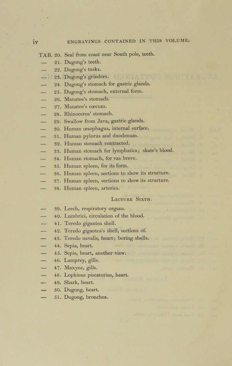 20. Seal from coast near South pole, teeth. 21. Dugong’s teeth. 22. Dugong’s tusks. 23. Dugong’s grinders. 2i. Dugong’s stomach for gastric glands. 25. Dugong’s stomach, external form. 26. Manatee’s stomach. 27. Manatee’s coecum. 28. Rhinoceros’ stomach. 29. Swallow from Java, gastric glands. 30. Hvmian oesophagus, internal surface. 31. Human pylorus and duodenum. 32. Human stomach contracted. 33. Human stomach for lymphatics; skate’s blood. 34. Human stomach, for vas breve. 35. Human spleen, for its form. 36. Human spleen, sections to show its structure. 37. Human spleen, sections to show its structure. 38. Human spleen, arteries. Lecture Sixth. 39. Leech, respiratory organs. 40. Lumbrici, circulation of the blood. 41. Teredo gigantea shell. 42. Teredo gigantea’s shell, sections of. 43. Teredo navalis, heart; boring shells. 44. Sepia, heart. 45. Sepia, heart, another view. 46. Lamprey, gills. 47. Max3me, gills. 48. Lophinus piscatorius, heart. 49. Shark, heart 50. Dugong, heart. 51. Dugong, bronchea.