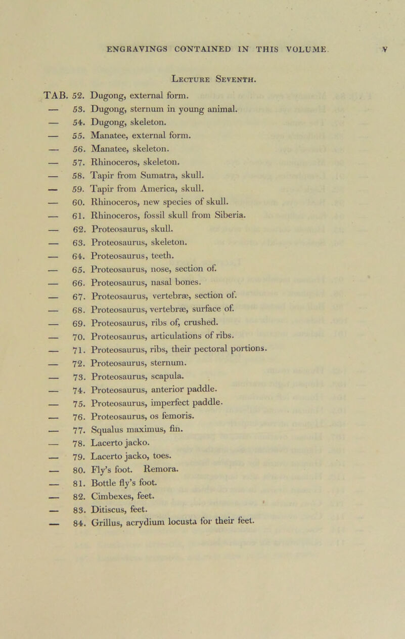 TAB. 52. — 53. — 54. — 55. — 56. — 57. — 58. — 59. — 60. — 61. — 62. — 63. — 64. — 65. — 66. — 67. — 68. — 69. — 70. — 71. — 72. — 73. — 74. — 75. — 76. — 77. — 78. — 79. — 80. — 81. — 82. — 83. — 84. Lecture Seventh. Dugong, external form. Dugong, sternum in young animal. Dugong, skeleton. Manatee, external form. Manatee, skeleton. Rhinoceros, skeleton. Tapir from Sumatra, skull. Tapir from America, skull. Rhinoceros, new species of skull. Rhinoceros, fossil skull from Siberia. Proteosaurus, skuU. Proteosaurus, skeleton. Proteosaurus, teeth. Proteosaurus, nose, section of. Proteosaurus, nasal bones. Proteosaurus, vertebrae, section of. Proteosaurus, vertebrae, surface of. Proteosaurus, ribs of, crushed. Proteosaurus, articulations of ribs. Proteosaurus, ribs, their pectoral portions. Proteosaurus, sternum. Proteosaurus, scapula. Proteosaurus, anterior paddle. Proteosaurus, imperfect paddle. Proteosaurus, os femoris. Squalus maximus, fin. Lacerto jacko. Lacerto jacko, toes. Fly’s foot. Remora. Bottle fly’s foot Cimbexes, feet. Ditiscus, feet. Grillus, acrydium locusta for their feet.