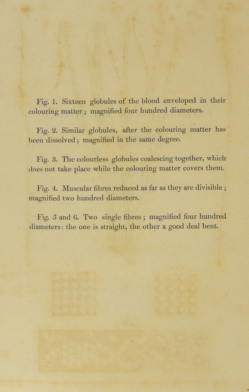 Fig. 1. Sixteen globules of the blood enveloped in their colouring matter ; magnified four hundred diameters. Fig. 2. Similar globules, after the colouring matter has been dissolved; magnified in the same degree. Fig. 3. The colourless globules coalescing together, which does not take place while the colouring matter covers them. Fig. 4. Muscular fibres reduced as far as they are divisible ; magnified two hundred diameters. Fig. 5 and 6. Two single fibres ; magnified four hundred diameters: the one is straight, the other a good deal bent.