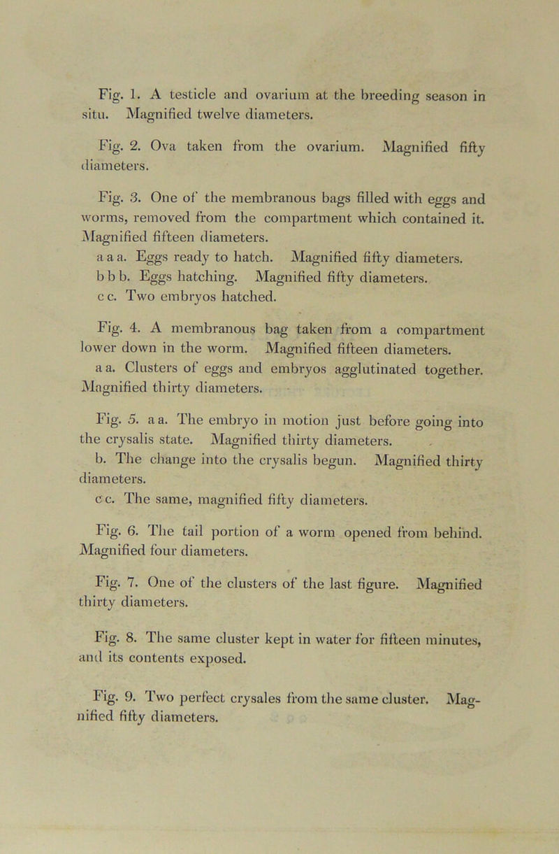 situ. Magnified twelve diameters. Fig. 2. Ova taken from the ovarium. Magnified fifty diameters. Fig. 3. One of the membranous bags filled with eggs and worms, removed from the compartment which contained it. ^Magnified fifteen diameters. a a a. Eggs ready to hatch. Magnified fifty diameters. b b b. Eggs hatching. Magnified fifty diameters. cc. Two embryos hatched. Fig. 4. A membranous bag taken from a compartment lower down in the worm. Magnified fifteen diameters. a a. Clusters of eggs and embryos agglutinated together. Magnified thirty diameters. Fig. 5. a a. The embryo in motion just before going into the crysalis state. Magnified thirty diameters. b. The change into the crysalis begun. Magnified thirty diameters. cc. The same, magnified fifty diameters. Fig. 6. The tail portion of a worm opened from behind. Magnified four diameters. Fig. 7. One of the clusters of the last figure. Magnified thirty diameters. Fig. 8. The same cluster kept in water for fifteen minutes, and its contents exposed. Fig. 9. Two perfect crysales from the same cluster. Mag- nified fifty diameters.