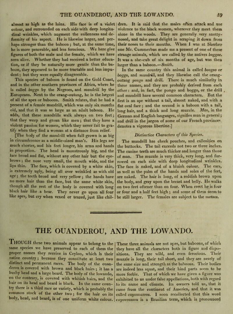 S9 THE OUANDEROU, AND THE LOWANDO. almost as high as the loins. His face is of a violet colour, and surrounded on each side with deep longitu- dinal wrinkles, which augment the sullenness and de- formity of his aspect. He is likewise larger, and per- haps stronger than the baboon ; but, at the same time, he is more peaceable, and less ferocious. We here give figures of both the male and the female, which we have seen alive. Whether they had received a better educa- tion, or if they be naturally more gentle than the ba- boon, they appeared to be more tractable and less impu- dent ; but they were equally disagreeable. This species of baboon is found on the Gold Coast, and in the other southern provinces of Africa, where he is called boggo by the Negroes, and mandrill by the Europeans. Next to the orang-outang, he is the largest of all the apes or baboons. Smith relates, that he had a present of a female mandrill, which was only six months old, and that it was as large as an adult baboon. He adds, that these mandrills walk always on two feet; that they weep and groan like men ; that they have a violent passion for women, which they never fail to gra- tify when they find a woman at a distance from relief. [The body of the mandrill when full grown is as big in circumference as a middle-sized man’s. His legs are much shorter, and his feet longer, his arms and hands in proportion. The head is monstrously big, and the face broad and flat, without any other hair but the eye- brows ; the nose very small, the mouth wide, and the lips thin. The face, which is covered by a white skin, is extremely ugly, being all over wrinkled as with old age; the teeth broad and very yellow; the hands have no more hair than the face, but the same white skin, though all the rest of the body is covered with long black hair like a bear. They never go upon all four like apes, but cry when vexed or teazed, just like chil- ] dren. It is said that the males often attack and use j violence to the black women, wherever they meet them I alone in the woods. They are generally very snotty- nosed, and take great delight in scraping it down from their noses to their mouths. When I was at Skerbro one Mr. Cummerbus made me a present of one of these strange animals, which are called by the natives boggoe. It was a she-cub of six months of age, but was then larger than a baboon.—Smith. In the same country this animal is called boogoo or boggo, and mandrill, and they likewise call the orang- outang pongo and drill. There is much similarity in these names, and they are probably derived from each other : and, in fact, the pongo and boggo, or the drill and mandrill have several common characters. But the first is an ape without a tail, almost naked, and with a flat oval face ; and the second is a baboon with a tail, long hair, and a thick and long muzzle. Man, in the German and English languages, signifies man in general ; and drill in the jargon of some of our French provinces denotes a vigorous libertine.] Distinctive Characters of this Species. The mandrill has cheek pouches, and callosities on the buttocks. The tail exceeds not two or three inches. The canine teeth are much thicker and longer than those of man. The muzzle is very thick, very long, and fur- rowed on each side with deep longitudinal wrinkles. The face is naked, and of a bluish colour. The ears, as well as the palm of the hands and soles of the feet, are naked. The hair is long, of a reddish brown upon the body, and gray upon the breast and belly. He walks on two feet oftener than on four. When erect he is four or four and a half feet high ; and some of them seem to be still larger. The females are subject to the menses. THE OUANDEROU, AND THE LOWANDO. 1 HOUGH these two animals appear to belong to the same species w'e have preserved to each of them the proper names they receive in Ceylon, which is their native country ; because they constitute at least two distinct and permanent races. The body of the ouan- derou is covered with brown and black hairs ; it has a bushy head and a large beard. The body of the lowando, on the contrary, is covered with whitish hairs, and the hair on its head and beard is black. In the same coun- try there is a third race or variety, which is probably the common stock of the other two ; for the hair on its body, head, and beard, is of one uniform white colour. These three animals are not apes, but baboons, of which they have all the characters both in figure and dispo- sitions. They are wild, and even ferocious. Their muzzle is long, their tail short, and they are nearly of the same size and strength as the baboons. Their bodies are indeed less squat, and their hind parts seem to be more feeble. That of which we have given a figure was exhibited to us under false appellations, both with regard to its name and climate. Its owners told us, that it came from the continent of America, and that it was called cayouvassou. I soon recollected that this word cayouvassou is a Brasilian term, which, is pronounced