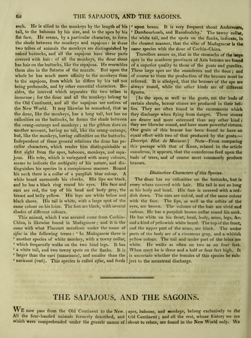 each. He is allied to the monkeys by the length of his tail, to the baboons by his size, and to the apes by his flat face. He seems, by a particular character, to form the shade between the monkeys and sapajous : in these two tribes of animals the monkeys are distinguished by naked buttocks, and all the sapajous have these parts covered with hair : of all the monkeys, the doue alone has hair on the buttocks, like the sapajous. He resembles them also in the flatness of the muzzle. But upon the whole he has much more affinity to the monkeys than to the sapajous, from which he differs by his tail not being prehensile, and by other essential characters. Be- sides, the interval which separates the two tribes is immense ; for the doue and all the monkeys belong to the Old Continent, and all the sapajous are natives of the New World. It may likewise be remarked, that as the doue, like the monkeys, has a long tail, but has no callosities on the buttocks, he forms the shade between the orang-outangs and monkeys ; as the gibbon does on another account, having no tail, like the orang-outangs, but, like the monkeys, having callosities on the buttocks. Independent of these general relations the doue has pe- culiar characters, which render him distinguishable at first sight from the apes, baboons, monkeys, and sapa- jous. His robe, which is variegated with many colours, seems to indicate the ambiguity of his nature, and dis- tinguishes his species in a conspicuous manner. Round his neck there is a collar of a purplish blue colour. A white beard surrounds his cheeks. His lips are black, and he has a black ring round his eyes. His face and ears are red, the top of his head and body gray, the breast and belly yellow. His legs are white below and black above. His tail is white, with a large spot of the same colour on his loins. The feet are black, with several shades of different colours. This animal, which I was assured came from Cochin- China, is likewise found in Madagascar ; and it is the same with what Flacourt mentions under the name of sfac in the following terms : 4 In Madagascar there is 1 another species of white monkey, with a tawny collar, 4 which frequently walks on the two hind legs. It has 4 a white tail, and two tawny spots on the flanks. It is 4 larger than the vari (maucauco), and smaller than the 4 varicossi (vari). This species is called sifac, and feeds 4 upon beans. It is very frequent about Andrlvoùra, 4 Dambourlomb, and Ranafoulchy.’ The tawny collar, the white tail, and the spots on the flanks, indicate, in the clearest manner, that the sifac of Madagascar is the same species with the doue of Cochin-China. Travellers assure us, that in the stomachs of the large apes in the southern provinces of Asia bezoars are found of a superior quality to those of the goats and gazelles. These large apes are the ouanderou and the doue ; and of course to them the production of the bezoars must be referred. It is alledged, that the bezoars of the ape are always round, while the other kinds are of different figures. [As the apes, as well as the goats, eat the buds of certain shrubs, bezoar stones are produced in their bel- lies. They are often found in the excrements which they discharge when flying from danger. These stones are dearer and more esteemed than any other kind : they are likewise round, and have more powerful virtues. One grain of this bezoar has been found to have an equal effect with two of that produced by the goats.— Descript. Hist, de Macacar.] Nota—From comparing this passage with that of Knox, related in the article ouanderou, it appears, that the ouanderous feed upon the buds of trees, and of course most commonly produce bezoars. Distinctive Characters of this Species. The doue has no callosities on the buttocks, but is every where covered with hair. His tail is not so long as his body and head. His face is covered with a red- dish down. The ears are naked, and of the same colour with the face. The lips, as well as the orbits of the eyes, are brown. The colours of the hair are vivid and various. He has a purplish brown collar round his neck. He has white on his front, head, body, arms, legs, &c. and a kind of yellowish white beard. The top of the front, and the upper part of the arms, are black. The under parts of the body are of a cinereous gray, and a whitish yellow colour. The tail and under part of the loins are white. He walks as often on two as on four feet. When erect he is three and a half or four feet high. It is uncertain whether the females of this species be sub- ject to the menstrual discharge. THE SAPAJOUS, AND THE SAGOINS. We now pass from the Old Continent to the New. All the four-handed animals formerly described, and which were comprehended under the generic names of apes, baboons, and monkeys, belong exclusively to the Old Continent ; and all the rest, whose history we are about to relate, are found in the New World only. We