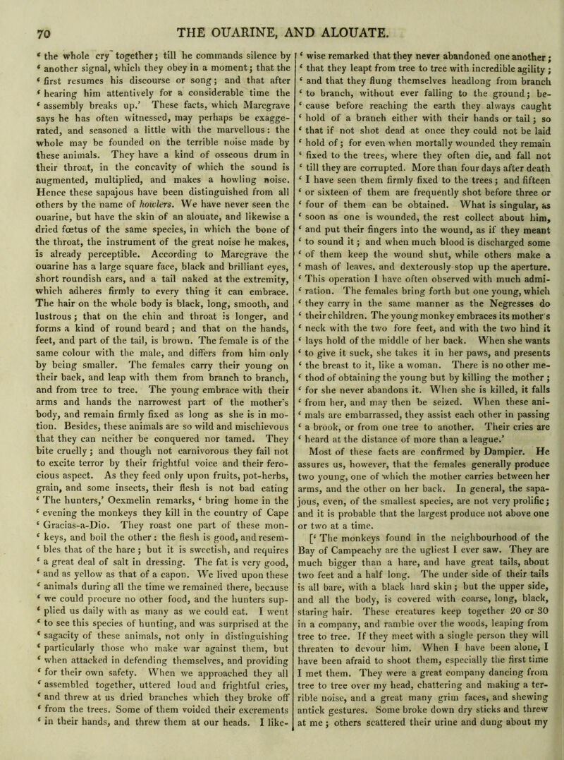 * the whole cry together ; till he commands silence by * another signal, which they obey in a moment; that the * first resumes his discourse or song ; and that after * hearing him attentively for a considerable time the * assembly breaks up.’ These facts, which Marcgrave says he has often witnessed, may perhaps be exagge- rated, and seasoned a little with the marvellous : the whole may be founded on the terrible noise made by these animals. They have a kind of osseous drum in their throat, in the concavity of which the sound is augmented, multiplied, and makes a howling noise. Hence these sapajous have been distinguished from all others by the name of howlers. We have never seen the ouarine, but have the skin of an alouate, and likewise a dried foetus of the same species, in which the bone of the throat, the instrument of the great noise he makes, is already perceptible. According to Marcgrave the ouarine has a large square face, black and brilliant eyes, short roundish ears, and a tail naked at the extremity, which adheres firmly to every thing it can embrace. The hair on the whole body is black, long, smooth, and lustrous ; that on the chin and throat is longer, and forms a kind of round beard ; and that on the hands, feet, and part of the tail, is brown. The female is of the same colour with the male, and differs from him only by being smaller. The females carry their young on their back, and leap with them from branch to branch, and from tree to tree. The young embrace with their arms and hands the narrowest part of the mother’s body, and remain firmly fixed as long as she is in mo- tion. Besides, these animals are so wild and mischievous that they can neither be conquered nor tamed. They bite cruelly ; and though not carnivorous they fail not to excite terror by their frightful voice and their fero- cious aspect. As they feed only upon fruits, pot-herbs, grain, and some insects, their flesh is not bad eating 4 The hunters,’ Oexmelin remarks, ‘ bring home in the 4 evening the monkeys they kill in the country of Cape * Gracias-a-Dio. They roast one part of these mon- 4 keys, and boil the other : the flesh is good, andresem- 4 bles that of the hare ; but it is sweetish, and requires 4 a great deal of salt in dressing. The fat is very good, 4 and as yellow as that of a capon. We lived upon these 4 animals during all the time we remained there, because 4 we could procure no other food, and the hunters sup- 4 plied us daily with as many as we could eat. I went 4 to see this species of hunting, and was surprised at the 4 sagacity of these animals, not only in distinguishing 4 particularly those who make war against them, but 4 when attacked in defending themselves, and providing 4 for their own safety. When we approached they all 4 assembled together, uttered loud and frightful cries, 4 and threw at us dried branches which they broke off 4 from the trees. Some of them voided their excrements 4 in their hands, and threw them at our heads. I like- 4 wise remarked that they never abandoned one another ; 4 that they leapt from tree to tree with incredible agility ; 4 and that they flung themselves headlong from branch 4 to branch, without ever falling to the ground ; be- 4 cause before reaching the earth they always caught 4 hold of a branch either with their hands or tail ; so 4 that if not shot dead at once they could not be laid 4 hold of ; for even when mortally wounded they remain 4 fixed to the trees, where they often die, and fall not 4 till they are corrupted. More than four days after death 4 I have seen them firmly fixed to the trees ; and fifteen 4 or sixteen of them are frequently shot before three or 4 four of them can be obtained. What is singular, as 4 soon as one is wounded, the rest collect about him, 4 and put their fingers into the wound, as if they meant 4 to sound it ; and when much blood is discharged some 4 of them keep the wound shut, while others make a 4 mash of leaves, and dexterously stop up the aperture. 4 This operation I have often observed with much admi- 4 ration. The females bring forth but one young, which 4 they carry in the same manner as the Negresses do 4 their children. The young monkey embraces its mother's 4 neck with the two fore feet, and with the two hind it 4 lays hold of the middle of her back. When she wants 4 to give it suck, she takes it in her paws, and presents 4 the breast to it, like a woman. There is no other me- 4 thod of obtaining the young but by killing the mother ; 4 for she never abandons it. When she is killed, it falls 4 from her, and may then be seized. When these ani- 4 mais are embarrassed, they assist each other in passing 4 a brook, or from one tree to another. Their cries are 4 heard at the distance of more than a league.’ Most of these facts are confirmed by Dampier. He assures us, however, that the females generally produce two young, one of which the mother carries between her arms, and the other on her back. In general, the sapa- jous, even, of the smallest species, are not very prolific; and it is probable that the largest produce not above one or two at a time. [4 The monkeys found in the neighbourhood of the Bay of Campeachy are the ugliest I ever saw. They are much bigger than a hare, and have great tails, about two feet and a half long. The under side of their tails is all bare, with a black hard skin ; but the upper side, and all the body, is covered with coarse, long, black, staring hair. These creatures keep together 20 or 30 in a company, and ramble over the woods, leaping from tree to tree. If they meet with a single person they will threaten to devour him. When I have been alone, I have been afraid to shoot them, especially the first time I met them. They were a great company dancing from tree to tree over my head, chattering and making a ter- rible noise, and a great many grim faces, and shewing antick gestures. Some broke down dry sticks and threw at me ; others scattered their urine and dung about my