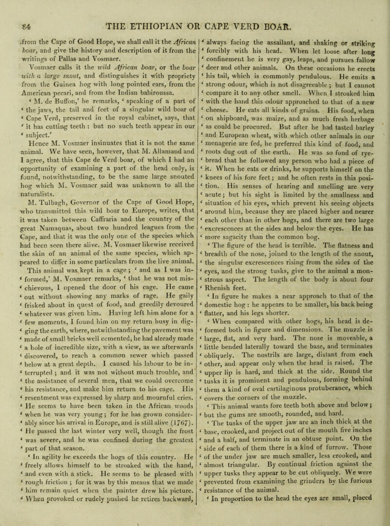 .from the Cape of Good Hope, we shall call it the African hoar, and give the history and description of it from the writings of Pallas and Vosmaer. Vosmaer calls it the wild African boar, or the boar with a large snout, and distinguishes it with propriety from the Guinea hog with long pointed ears, from the American pécari, and from the Indian babiroussa. ‘ M. de Buffon,’ he remarks, ‘ speaking of a part of 1 the jaws, the tail and feet of a singular wild boar of ‘ Cape Verd, preserved in the royal cabinet, says, that f it has cutting teeth : but no such teeth appear in our £ subject.’ Hence M. Vosmaer insinuates that it is not the same animal. We have seen, however, that M. Allamand and I agree, that this Cape de Verd boar, of which I had an opportunity of examining a part of the head only, is found, notwithstanding, to be the same large snouted hog which M. Vosmaer said was unknown to all the naturalists. M. Tulbagh, Governor of the Cape of Good Hope, who transmitted this wild boar to Europe, writes, that it was taken between Caffraria and the country of the great Namaquas, about two hundred leagues from the Cape, and that it was the only one of the species which had been seen there alive. M. Vosmaer likewise received the skin of an animal of the same species, which ap- peared to differ in some particulars from the live animal. This animal was kept in a cage ; £ and as I was in- « formed,’ M. Vosmaer remarks, ‘ that he wras not mis- ‘ chievous, I opened the door of his cage. He came « out without showing any marks of rage. He gaily ‘ frisked about in quest of food, and greedily devoured ‘ whatever was given him. Having left him alone for a £ few moments, I found him on my return busy in dig- < ging the earth, where, notwithstanding the pavement was « made of small bricks well cemented, he had already made £ a hole of incredible size, with a view, as we afterwards * discovered, to reach a common sewer which passed * below at a great depth. I caused his labour to be in- £ terrupted ; and it was not without much trouble, and £ the assistance of several men, that we could overcome £ his resistance, and make him return to his cage. His £ resentment was expressed by sharp and mournful cries. £ He seems to have been taken in the African woods £ when he was very young ; for he has grown consider- £ ably since his arrival in Europe, and is still alive (1767). ‘ He passed the last winter very well, though the frost £ was severe, and he was confined during the greatest ‘ part of that season. ‘ In agility he exceeds the hogs of this country. He ‘ freely allows himself to be stroaked with the hand, ‘ and even with a stick. He seems to be pleased with | ‘ rough friction ; for it was by this means that we made ‘ him remain quiet when the painter drew his picture. ‘ When provoked or rudely pushed he retires backward. ‘ always facing the assailant, and shaking or striking ‘ forcibly with his head. When let loose after long ‘ confinement he is very gay, leaps, and pursues fallow ‘ deer and other animals. On these occasions he erects ‘ his tail, which is commonly pendulous. He emits a ‘ strong odour, which is not disagreeable ; but I cannot £ compare it to any other smell. When I stroaked him £ with the hand this odour approached to that of a new ‘ cheese. He eats all kinds of grains. His food, when £ on shipboard, was maize, and as much fresh herbage £ as could be procured. But after he had tasted barley £ and European wheat, with which other animals in our £ menagerie are fed, he preferred this kind of food, and £ roots dug out of the earth. He was so fond of rye- £ bread that he followed any person who had a piece of £ it. When he eats or drinks, he supports himself on the £ knees of his fore feet ; and he often rests in this posi- £ tion. His senses of hearing and smelling are very £ acute; but his sight is limited by the smallness and £ situation of his eyes, which prevent his seeing objects £ around him, because they are placed higher and nearer £ each other than in other hogs, and there are two large £ excrescences at the sides and below the eyes. He has ‘ more sagacity than the common hog. £ The figure of the head is terrible. The flatness and £ breadth of the nose, joined to the length of the snout, £ the singular excrescences rising from the sides of the £ eyes, and the strong tusks, give to the animal a mon- e strous aspect. The length of the body is about four £ Rhenish feet. £ In figure he makes a near approach to that of the £ domestic hog : he appears to be smaller, his back being £ flatter, and his legs shorter. £ When compared with other hogs, his head is de- £ formed both in figure and dimensions. The muzzle is £ large, flat, and very hard. The nose is moveable, a ‘ little bended laterally toward the base, and terminates £ obliquely. The nostrils are large, distant from each £ other, and appear only when the head is raised. The £ upper lip is hard, and thick at the side. Round the £ tusks it is prominent and pendulous, forming behind £ them a kind of oval cartilaginous protuberance, which £ covers the corners of the muzzle. £ This animal wants fore teeth both above and below; £ but the gums are smooth, rounded, and hard. £ The tusks of the upper jaw are an inch thick at the ‘ base, crooked, and project out of the mouth five inches ‘ and a half, and terminate in an obtuse point. On the £ side of each of them there is a kind of furrow. Those ‘ of the under jaw are much smaller, less crooked, and £ almost triangular. By continual friction against the ‘ upper tusks they appear to be cut obliquely. We were £ prevented from examining the grinders by the furious £ resistance of the animal. £ In proportion to the head the eyes are small, placed