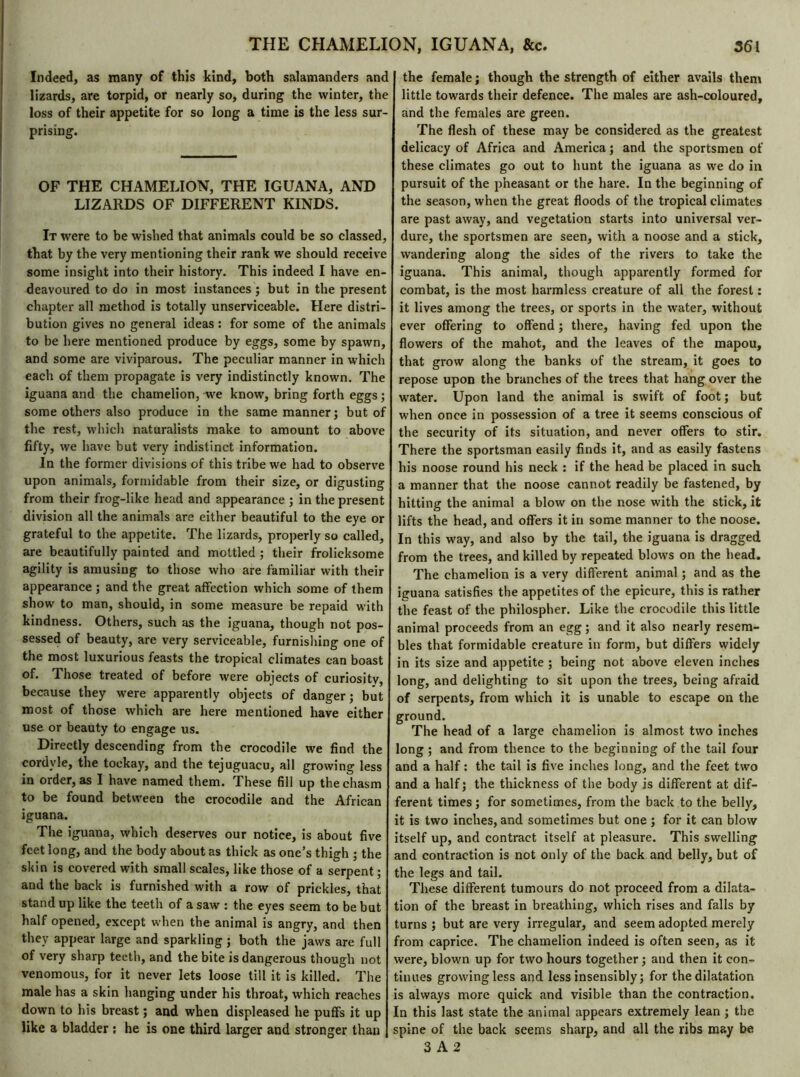 Indeed, as many of this kind, both salamanders and lizards, are torpid, or nearly so, during the winter, the loss of their appetite for so long a time is the less sur- prising. OF THE CHAMELION, THE IGUANA, AND LIZARDS OF DIFFERENT KINDS. It were to be wished that animals could be so classed, that by the very mentioning their rank we should receive some insight into their history. This indeed I have en- deavoured to do in most instances ; but in the present chapter all method is totally unserviceable. Here distri- bution gives no general ideas : for some of the animals to be here mentioned produce by eggs, some by spawn, and some are viviparous. The peculiar manner in which each of them propagate is very indistinctly known. The iguana and the chamelion, we know, bring forth eggs ; some others also produce in the same manner; but of the rest, which naturalists make to amount to above fifty, we have but very indistinct information. In the former divisions of this tribe we had to observe upon animals, formidable from their size, or digusting from their frog-like head and appearance ; in the present division all the animals are either beautiful to the eye or grateful to the appetite. The lizards, properly so called, are beautifully painted and mottled ; their frolieksome agility is amusing to those who are familiar with their appearance ; and the great affection which some of them show to man, should, in some measure be repaid with kindness. Others, such as the iguana, though not pos- sessed of beauty, are very serviceable, furnishing one of the most luxurious feasts the tropical climates can boast of. Those treated of before were objects of curiosity, because they were apparently objects of danger; but most of those which are here mentioned have either use or beauty to engage us. Directly descending from the crocodile we find the cordyle, the tockay, and the tejuguacu, all growing less in order, as I have named them. These fill up the chasm to be found between the crocodile and the African iguana. The iguana, which deserves our notice, is about five feet long, and the body aboutas thick as one’s thigh ; the skin is covered with small scales, like those of a serpent ; and the back is furnished with a row of prickles, that stand up like the teeth of a saw : the eyes seem to be but half opened, except when the animal is angry, and then they appear large and sparkling ; both the jaws are full of very sharp teeth, and the bite is dangerous though not venomous, for it never lets loose till it is killed. The male has a skin hanging under his throat, which reaches down to his breast ; and when displeased he puffs it up like a bladder j he is one third larger and stronger than the female ; though the strength of either avails them little towards their defence. The males are ash-coloured, and the females are green. The flesh of these may be considered as the greatest delicacy of Africa and America ; and the sportsmen of these climates go out to hunt the iguana as we do in pursuit of the pheasant or the hare. In the beginning of the season, when the great floods of the tropical climates are past away, and vegetation starts into universal ver- dure, the sportsmen are seen, with a noose and a stick, wandering along the sides of the rivers to take the iguana. This animal, though apparently formed for combat, is the most harmless creature of all the forest : it lives among the trees, or sports in the water, without ever offering to offend ; there, having fed upon the flowers of the mahot, and the leaves of the mapou, that grow along the banks of the stream, it goes to repose upon the branches of the trees that hang over the water. Upon land the animal is swift of foot ; but when once in possession of a tree it seems conscious of the security of its situation, and never offers to stir. There the sportsman easily finds it, and as easily fastens his noose round his neck : if the head be placed in such a manner that the noose cannot readily be fastened, by hitting the animal a blow on the nose with the stick, it lifts the head, and offers it in some manner to the noose. In this way, and also by the tail, the iguana is dragged from the trees, and killed by repeated blows on the head. The chamelion is a very different animal ; and as the iguana satisfies the appetites of the epicure, this is rather the feast of the philospher. Like the crocodile this little animal proceeds from an egg; and it also nearly resem- bles that formidable creature in form, but differs widely in its size and appetite ; being not above eleven inches long, and delighting to sit upon the trees, being afraid of serpents, from which it is unable to escape on the ground. The head of a large chamelion is almost two inches long ; and from thence to the beginning of the tail four and a half : the tail is five inches long, and the feet two and a half; the thickness of the body is different at dif- ferent times ; for sometimes, from the back to the belly, it is two inches, and sometimes but one ; for it can blow itself up, and contract itself at pleasure. This swelling and contraction is not only of the back and belly, but of the legs and tail. These different tumours do not proceed from a dilata- tion of the breast in breathing, which rises and falls by turns ; but are very irregular, and seem adopted merely from caprice. The chamelion indeed is often seen, as it were, blown up for two hours together ; and then it con- tinues growing less and less insensibly ; for the dilatation is always more quick and visible than the contraction. In this last state the animal appears extremely lean ; the spine of the back seems sharp, and all the ribs may be 3 A 2