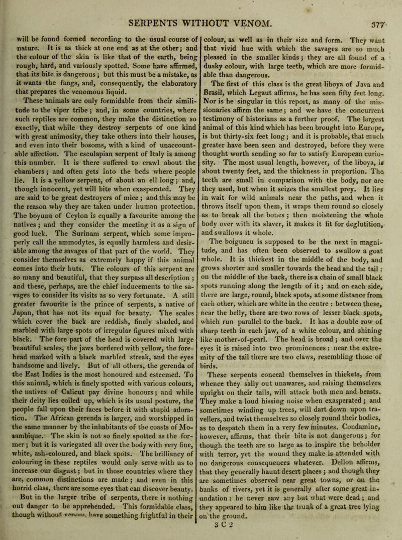 will be found formed according to the usual course of nature. It is as thick at one end as at the other; and the colour of the skin is like that of the earth, being rough, hard, and variously spotted. Some have affirmed, that its bite is dangerous ; but this must be a mistake, as it wants the fangs, and, consequently, the elaboratory that prepares the venomous liquid. These hnimals are only formidable from their simili- tude to the viper tribe ; and, in some countries, where such reptiles are common, they make the distinction so exactly, that while they destroy serpents of one kind with great animosity, they take others into their houses, and even into their bosoms, with a kind of unaccount- able affection. The esculapian serpent of Italy is among this number. It is there suffered to crawl about the chambers ; and often gets into the beds where people lie. It is a yellow serpent, of about an ell long ; and, though innocent, yet will bite when exasperated. They are said to be great destroyers of mice ; and this may be the reason why they are taken under human protection. The boyuna of Ceylon is equally a favourite among the natives ; and they consider the meeting it as a sign of good luck. The Surinam serpent, which some impro- perly call the ammodytes, is equally harmless and desir- able among the savages of that part of the world. They consider themselves as extremely happy if this animal comes into their huts. The colours of this serpent are so many and beautiful, that they surpass all description ; and these, perhaps, are the chief inducements to the sa- vages to consider its visits as so very fortunate. A still greater favourite is the prince of serpents, a native of Japan, that has not its equal for beauty. The. scales which cover the back are reddish, finely shaded, and marbled with large spots of irregular figures mixed with black. The fore part of the head is covered with large beautiful scales, the jaws bordered with yellow, the fore- head marked with a black marbled streak, and the eyes handsome and lively. But of all others, the gerenda of the East Indies is the most honoured and esteemed. To this animal, which is finely spotted with various colours, the natives of Calicut pay divine honours; and while their deity lies coiled up, which is its usual posture, the people fall upon their faces before it with stupid adora- tion. The African gerenda is larger, and worshipped in the same manner by the inhabitants of the coasts of Mo- zambique. The skin is not so finely spotted as the for- mer; but it is variegated all over the body with very fine, white, ash-coloured, and black spots. The brilliancy of colouring in these reptiles would only serve with us to increase our disgust ; but in those countries where they are, common distinctions are made ; and even in this horrid class, there are some eyes that can discover beauty. But in the larger tribe of serpents, there is nothing out danger to be apprehended. This formidable class, though without. w»nom, have something frightful in their colour, as well as in their size and form. They want that vivid hue with which the savages are so much pleased in the smaller kinds ; they are all found of a dusky colour, with large teeth, which are more formid- able than dangerous. The first of this class is the great liboya of Java and Brasil, which Legaut affirms, he has seen fifty feet long. Nor is he singular in this report, as many of the mis- sionaries affirm the same ; and we have the concurrent testimony of historians as a further proof. The largest animal of this kind which has been brought into Europe, is but thirty-six feet long; and it is probable, that much greater have been seen and destroyed, before they were thought worth sending so far to satisfy European curio- sity. The most usual length, however, of the liboya, is about twenty feet, and the thickness in proportion. The teeth are small in comparison with the body, nor are they used, but when it seizes the smallest prey. It lies in wait for wild animals near the paths, and when it throws itself upon them, it wraps them round so closely as to break all the bones ; then moistening the whole body over with its slaver, it makes it fit for deglutition, and swallows it whole. The boiguacu is supposed to be the next in magni- tude, and has often been observed to swallow a goat whole. It is thickest in the middle of the body, and grows shorter and smaller towards the head and the tail : on the middle of the back, there is a chain of small black spots running along the length of it ; and on each side, there are large, round, black spots, at some distance from each other, which are white in the centre : between these, near the belly, there are two rows of lesser black spots, which run parallel to the back. It has a double row of sharp teeth in each jaw, of a white colour, and shining like mother-of-pearl. The head is broad ; and over the eyes it is raised into two prominences : near the extre- mity of the tail there are two claws, resembling those of birds. These serpents conceal themselves in thickets, from whence they sally out unawares, and raising themselves upright on their tails, will attack both men and beasts. They make a loud hissing noise when exasperated ; and sometimes winding up trees, will dart down upon tra- vellers, and twist themselves so closely round their bodies, as to despatch them in a very few minutes. Condamine, however, affirms, that their bite is not dangerous ; for though the teeth are so large as to inspire the beholder with terror, yet the wound they make is attended with no dangerous consequences whatever. Dellon affirms, that they generally haunt desert places ; and though they are sometimes observed near great towns, or on the banks of rivers, yet it is generally after so/ne great in- undation : he never saw any but what were dead ; and they appeared to him like the trunk of a great tree lying on the ground. 3 C 2