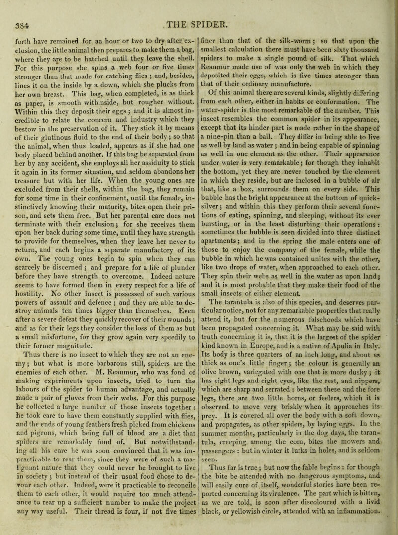 forth have remained for an hour or two to dry after ex- clusion, the little animal then prepares to make them a bag, where they are to be hatched until they leave the shell. For this purpose she spins a web four or five times stronger than that made for catching flies ; and, besides, lines it on the inside by a down, which she plucks from her own breast. This bag, when completed, is as thick as paper, is smooth withinside, but rougher without. Within this they deposit their eggs ; and it is almost in- credible to relate the concern and industry which they bestow in the preservation of it. They stick it by means of their glutinous fluid to the end of their body; so that the animal, when thus loaded, appears as if she had one body placed behind another. If this bag be separated from her by any accident, she employs all her assiduity to stick it again in its former situation, and seldom abandons her treasure but with her life. When the young ones are excluded from their shells, within the bag, they remain for some time in their confinement, until the female, in- stinctively knowing their maturity, bites open their pri- son, and sets them free. But her parental care does not terminate with their exclusion ; for she receives them upon her back during some time, until they have strength to provide for themselves, when they leave her never to return, and each begins a separate manufactory of its own. The young ones begin to spin when they can scarcely be discerned ; and prepare for a life of plunder before they have strength to overcome. Indeed nature seems to have formed them in every respect for a life of hostility. No other insect is possessed of such various powers of assault and defence ; and they are able to de- stroy animals ten times bigger than themselves. Even after a severe defeat they quickly recover of their wounds ; and as for their legs they consider the loss of them as but a small misfortune, for they grow again very speedily to their former magnitude. Thus there is no insect to which they are not an ene- my ; but what is more barbarous still, spiders are the enemies of each other. M. Reaumur, who was fond of making experiments upon insects, tried to turn the labours of the spider to human advantage, and actually made a pair of gloves from their webs. For this purpose be collected a large number of those insects together : he took care to have them constantly supplied with flies, and the ends of young feathers fresh picked from chickens and pigeons, which being full of blood are a diet that spiders are remarkably fond of. But notwithstand- ing all his care he was soon convinced that it was im- practicable to rear them, since they were of such a ma- lignant nature that they could never be brought to live in society ; but instead of their usual food chose to de- vour each other. Indeed, were it practicable to reconcile them to each other, it would require too much attend- ance to rear up a sufficient number to make the project any way useful. Their thread is four, if not five times finer than that of the silk-worm; so that upon the smallest calculation there must have been sixty thousand spiders to make a single pound of silk. That which Reaumur made use of was only the web in which they deposited their eggs, which is five times stronger than that of their ordinary manufacture. Of this animal there are several kinds, slightly differing from each other, either in habits or conformation. The water-spider is the most remarkable of the number. This insect resembles the common spider in its appearance, except that its hinder part is made rather in the shape of a nine-pin than a ball. They differ in being able to live as well by land as water ; and in being capable of spinning as well in one element as the other. Their appearance under water is very remarkable ; for though they inhabit the bottom, yet they are never touched by the element in which they reside, but are inclosed in a bubble of air that, like a box, surrounds them on every side. This bubble has the bright appearance at the bottom of quick- silver; and within this they perform their several func- tions of eating, spinning, and sleeping, without its ever bursting, or in the least disturbing their operations : sometimes the bubble is seen divided into three distinct apartments; and in the spring the male enters one of those to enjoy the company of the female, while the bubble in which he was contained unites with the other, like two drops of water, when approached to each other. They spin their webs as well in the water as upon land; and it is most probable that they make their food of the small insects of either element. The tarantula is also of this species, and deserves par- ticularnotice, not for any remarkable properties that really attend it, but for the numerous falsehoods which have been propagated concerning it. What may be said with truth concerning it is, that it is the largest of the spider kind known in Europe, and is a native of Apulia in Italy. Its body is three quarters of an inch long, and about as thick as one’s little finger; the colour is generally an olive brown, variegated with one that is more dusky ; it has eight legs and eight eyes, like the rest, and nippers, which are sharp and serrated : between these and the fore legs, there are two little horns, or feelers, which it is observed to move very briskly when it approaches its prey. It is covered all over the body with a soft down, and propagates, as other spiders, by laying eggs. In the summer months, particularly in the dog days, the taran- tula, creeping among the corn, bites the mowers and passengers : but in winter it lurks in holes, and is seldom seen. Thus far is true ; but now the fable begins : for though the bite be attended with no dangerous symptoms, and will easily cure of itself, wonderful stories have been re- ported concerning its virulence. The part which is bitten, as we are told, is soon after discoloured with a livid black, or yellowish circle, attended with an inflammation.