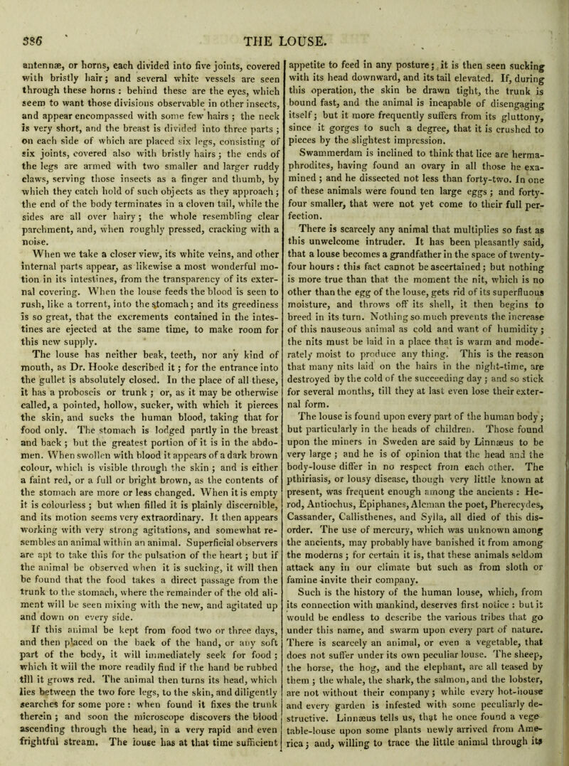 antennae, or horns, each divided into five joints, covered with bristly hair ; and several white vessels are seen through these horns : behind these are the eyes, which seem to want those divisions observable in other insects, and appear encompassed with some few hairs ; the neck is very short, and the breast is divided into three parts ; on each side of which are placed six legs, consisting of six joints, covered also with bristly hairs ; the ends of the legs are armed with two smaller and larger ruddy claws, serving those insects as a finger and thumb, by which they catch hold of such objects as they approach ; the end of the body terminates in a cloven tail, while the sides are all over hairy ; the whole resembling clear parchment, and, when roughly pressed, cracking with a noise. When we take a closer view, it's white veins, and other internal parts appear, as likewise a most wonderful mo- tion in its intestines, from the transparency of its exter- nal covering. When the louse feeds the blood is seen to rush, like a torrent, into the%tomach; and its greediness is so great, that the excrements contained in the intes- tines are ejected at the same time, to make room for this new supply. The louse has neither beak, teeth, nor any kind of mouth, as Dr. Hooke described it ; for the entrance into the gullet is absolutely closed. In the place of all these, it has a proboscis or trunk ; or, as it may be otherwise called, a pointed, hollow, sucker, with which it pierces the skin, and sucks the human blood, taking that for food only. The stomach is lodged partly in the breast and back ; but the greatest portion of it is in the abdo- men. When swollen with blood it appears of a dark brown colour, which is visible through the skin ; and is either a faint red, or a full or bright brown, as the contents of the stomach are more or less changed. When it is empty it is colourless ; but when filled it is plainly discernible, and its motion seems very extraordinary. It then appears working with very strong agitations, and somewhat re- sembles an animal within an animal. Superficial observers are apt to take this for the pulsation of the heart ; but if the animal be observed when it is sucking, it will then be found that the food takes a direct passage from the trunk to the stomach, where the remainder of the old ali- ment will be seen mixing with the -new, and agitated up and down on every side. If this animal be kept from food two or three days, and then placed on the back of the hand, or any soft part of the body, it will immediately seek for food ; which it vviil the more readily find if the hand be rubbed till it grows red. The animal then turns its head, which lies between the two fore legs, to the skin, and diligently searches for some pore : when found it fixes the trunk therein ; and soon the microscope discovers the blood ascending through the head, in a very rapid and even frightful stream. The iouse has at that time sufficient appetite to feed in any posture : it is then seen sucking with its head downward, and its tail elevated. If, during this operation, the skin be drawn tight, the trunk is bound fast, and the animal is incapable of disengaging itself j but it more frequently suffers from its gluttony, since it gorges to such a degree, that it is crushed to pieces by the slightest impression. Swammerdam is inclined to think that lice are herma- phrodites, having found an ovary in all those he exa- mined ; and he dissected not less than forty-two. In one of these animals were found ten large eggs ; and forty- four smaller, that were not yet come to their full per- fection. There is scarcely any animal that multiplies so fast as this unwelcome intruder. It has been pleasantly said, that a louse becomes a grandfather in the space of twenty- four hours : this fact caDnot be ascertained ; but nothing is more true than that the moment the nit, which is no other than the egg of the louse, gets rid of its superfluous moisture, and throws off its shell, it then begins to breed in its turn. Nothing so much prevents the increase of this nauseous animal as cold and want of humidity; the nits must be laid in a place that is warm and mode- rately moist to produce any thing. This is the reason that many nits laid on the hairs in the night-time, are destroyed by the cold of the succeeding day ; and so stick for several months, till they at last even lose their exter- nal form. The louse is found upon every part of the human body ; but particularly in the heads of children. Those found upon the miners in Sweden are said by Linnaeus to be very large ; and he is of opinion that the head and the body-louse differ in no respect from each other. The pthiriasis, or lousy disease, though very little known at present, was frequent enough among the ancients : He- rod, Antiochus, Epiphanes, Aleman the poet, Pherecydes, Cassander, Callisthenes, and Sylla, all died of this dis- order. The use of mercury, which was unknown among the ancients, may probably have banished it from among the moderns ; for certain it is, that these animals seldom attack any in our climate but such as from sloth or famine -invite their company. Such is the history of the human louse, which, from its connection with mankind, deserves first notice : but it would be endless to describe the various tribes that go under this name, and swarm upon every part of nature. There is scarcely an animal, or even a vegetable, that does not suffer under its own peculiar louse. The sheep, the horse, the hog, and the elephant, are all teased by them ; the whale, the shark, the salmon, and the lobster, are not without their company ; while every hot-house and every garden is infested with some peculiarly de- structive. Linnæus tells us, that he once found a vege table-louse upon some plants newly arrived from Ame- rica ; and, willing to trace the little animal through it$
