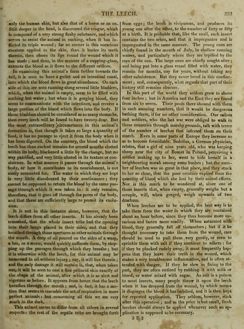 only the human skin, but also that of a horse or an ox. Still deeper in the head, is discovered the tongue, which is composed of a very strong fleshy substance, and which serves to assist the animal in sucking, when it has in- flicted its triple wound ; far no sooner is this voracious creature applied to the skin, than it buries its teeth therein, then closes its lips round the wound which it has made ; and thus, in the manner of a cupping-glass, extracts the blood as it flows to the different orilices. In examining this animal’s form farther towards the tail, it is seen to have a gullet and an intestinal canal, into which the blood flows in great abundance. On each side of this are seen running along several little bladders, which, when the animal is empty, seem to be filled with nsthing but water; but when it is gorging blood, they seem to communicate with the intestines, and receive a large portion of the blood which flows into the body. If these bladders should be considered as so many stomachs, then every leech will be found to have twenty-four. But the most extraordinary ’circumstance in this animal’s formation is, that though it takes so large a quantity of food, it has no passage to eject it from the body when it has been digested. On the contrary, the blood which the leech has thus sucked remains for several months clotted within its body, blackened a little by the change, but no way putrified, and very little altered in its texture or con- sistence. In what manner it passes through the animal’s body, or how it contributes to its nourishment, is not easily accounted for. The water in which they are kept is very little discoloured by their continuance ; they cannot be supposed to return the blood by the same pas- sage through which it was taken in: it only remains, therefore, that it goes off through the pores of the body, and that these are sufficiently large to permit its exclu- sion. It is not in this instance alone, however, that the leech differs from all other insects. It has already been remarked, that the whole insect tribe had the opening into their lungs placed in their sides, and that they breathed through those apertures as other animals through the mouth. A drop of oil poured on the sides of a wasp, a bee, or a worm, would quickly suffocate them, by stop- ping up the passages through which they breathe ; but it is otherwise with the leech, for this animal may be immersed in oil without injury ; nay, it will live therein ; and the only damage it will sustain is, that, when taken out, it will be seen to cast a fine pellucid skin exactly of the shape of the animal, after which it is as alert and vigorous as before. It appears from hence that the leech breathes through the mouth ; and, in fact, it has a mo- tion that seems to resemble the act of respiration in more perfect animals : but concerning all this we are very much in the dark. This animal seems to differ from all ethers in several respects : the rest of the reptile tribe are brought forth from eggs ; the leech is viviparous, and produces its young one after the other, to the number of forty or fifty at a birth. It is probable that, like the snail, each insect contains the two sexes, and that it impregnates and is impregnated in the same manner. The young ones are chiefly found in the month of July, in shallow running waters, and particularly where they are tepified by the rays of the sun. The large ones are chiefly sought after ; and being put into a glass vessel filled with water, they remain for months, nay for years, without taking any other subsistence. But they never breed in this confine- ment ; and, consequently, what regards that part of their history still remains obscure. In this part of the world they seldom grow to above four inches ; but in America and the East they are found from six to seven. Their pools there abound with them in such amazing numbers, that it would be dangerous bathing there, if for no other consideration. Our sailors and soldiers, who the last war were obliged to walk in those countries through marshy grounds, talk with terror of the number of leeches that infested them on their march. Even in some parts of Europe they increase so as to become formidable. Sedelius, a German physician, relates, that a girl of nine years old, who was keeping sheep near the city of Bomst in Poland, perceiving a soldier making up to her, went to hide herself in a neighbouring marsh among some bushes ; but the num- ber of leeches was so great in that place, and they stuck to her so close, that the poor creature expired from the quantity of blood which she lost by their united efforts. Nor is this much to be wondered at, since one of those insects that, when empty, generally weighs but a scruple, will, when gorged, weigh upwards of two drachms. When leeches are to be applied, the best way is to take them from the water in which they are contained about an hour before, since they thus become more vo- racious and fasten more readily. When saturated with blood, they generally fall off themselves; but if it be thought necessary to take them from the wound, care should be used to pull them very gently, or even to sprinkle them with salt if they continue to adhere : for if they be plucked rudely away, it most frequently hap- pens that they leave their teeth in the wound, which makes a very troublesome inflammation, and is often at- tended with danger. If they be slow in fixing to the part, they are often enticed by rubbing it with milk or blood, or water mixed with sugar. As salt is a poison to most insects, many people throw it upon the leech when it has dropped from the wound, by which means it disgorges the blood it has imbibed, and it is then kept for repeated application. They seldom^ however, stick after this operation ; and as the price is but small, fresh leeches should always be applied whenever such an ap- plication is supposed to be necessary. 3 E 2