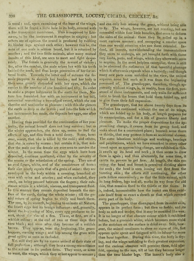 is vocal ; and, upon examining at the base of the wings, there w ill be found a little hole in its body, covered with a fine transparent membrane. This is supposed by Lin- naeus, to be the instrument it employs in singing : but others are of opinion the sound is produced by rubbing its hinder legs against each other: however this be, the note of one male is seldom heard, but it is returned by another; and the two little animals, after many mutual insults of this kind, are seen to meet and fight despe- rately. The female is generally the reward of victory ; for, after the combat, the male seizes her with his teeth behind the neck, and thus keeps possession of her for se- veral hours. Towards the latter end of autumn the fe- male prepares to deposit her burden; and her body is then seen greatly distended with her eggs, which she carries to the number of one hundred and fifty. In order to make a proper lodgement in the earth for them, Na- ture has furnished lier with an instrument at her tail, somewhat resembling a two-edged sword, which she can sheathe and unsheathe at pleasure : with this she pierces the earth as deep as she is able ; and into the hole which her instrument has made, she deposits her eggs, one after another. Having thus provided for the continuation of-her pos- terity, the animal herself does not long survive ; but as the winter approaches, she dries up, seems to feel the effects of age, and dies from a total decay. Some, how- ever, assert, that she is killed by the cold ; and others, that she is eaten by worms : but certain it is, that nei- ther the male nor the female are ever seen to survive the winter. In the mean time the eggs which have been deposited, continue unaltered, either by the severity of the season or the retardation of the spring. They are of an oval figure, white, and of the consistence of horn : their size nearly equals that of a grain of anise: they art- enveloped in the body within a covering, branched all over with veins and arteries; and when excluded, they crack, on being pressed between the fingers ; their sub- stance within is a whitish, viscous, and transparent fluid. In this manner they remain deposited beneath the sur- face of the earth, during the whole winter ; till the ge- nial return of spring begins to vivify and hatch them. The sun, b\ its warmth, beginning to animate all Nature, the insect eggs feel its benign influence: and,generally, about the hr ginning of May, every egg produces an in- sect, about the size of a flea. These, at first, are of a whitish colour ; at the end of two or three days they turn black ; and soon after they become of a reddish brown. They appear, from the beginning, like grass- hopper®, wanting wings ; and hop among the grass with great agility a« soon as excluded. \ et still they are by no means arrived at their state of fuil perfection; although they bear a strong resemblance lo the animal in its perfect form. They want, or seem to want, the wings, which they at last appear to assume; and can only l<op among the grass, without being able to fly. The wings, however, are not wanting, but are concealed within four little bunches, that seem to deform the sides of the animal : there they lie rolled up in a most curious manner ; and occupying a smaller space than one would conceive who saw them extended. In- deed, all insects, notwithstanding the transmutations they seem to undergo, are yet brought forth with those very limbs, parts, and wings, which they afterwards seem to acquire. In the most helpless caterpillar, there is still to be observed the rudiments of that beautiful plumage which it afterwards expands when a butterfly : and though many new parts seem unfolded to the view, the animal acquires none but such as it was from the beginning possessed of. 1 he grasshopper, therefore, though ap- parently without wings, is, in reality, from the first, pos- sessed of those instruments, and only waits for sufficient force to break the bones that hold them folded up, and to give them their full expansion. 1 he grasshopper, that for above twenty davs from its exclusion has continued without the use of its wings,  hich are folded up to his body, at length prepares for its emancipation, and for a life of greater liberty and pleasure. To make the proper dispositions for the ap- proaching change, it ceases from its grassy food, and seeks about for a convenient place ; beneath some thorn or thistle, that may protect it from an accidental shower. 1 lie same laborious writhings and workings, heavings and palpitations, which we have remarked in every other i nsect upon an approaching change, are exhibited in this. It swells up its head and neck ; it then seems to draw them in again ; and thus alternately, for some time, it exerts its powers to get free. At length, the skin co- vering the head and breast is perceived dividing above the neck ; the head is seen issuing out first from the bursting skin ; the efforts still continuing, the other parts follow successively; so that the little animal, with its long feelers, legs and all, works its way from the old ■ kin, that remains fixed to the thistle or the thorn. It is, indeed, inconceivable how the insect can thus extri- cate itself from so exact a sheath as that which covered every part of its body. The grasshopper, thus disengaged from its outer skin, appears in its perfect form ; but then so feeble, and its body so soft and tender, that it may be moulded like wax. It is no longer of that obscure colour which it exhibited before, but a greenish white, which becomes more vivid as the moisture on the surface is dried away. Still, how ever, the animal continues to shew no signs of life, but appears quite spent and fatigued with its labour tor more than hour together. During this time, the body is dry- ing, and the wings unfolding to their greatest expansion, and the curious observer will perceive them, fold aftei fold, opening to the sun, till at last they become longer than the two hinder legs. The insect’s body also if