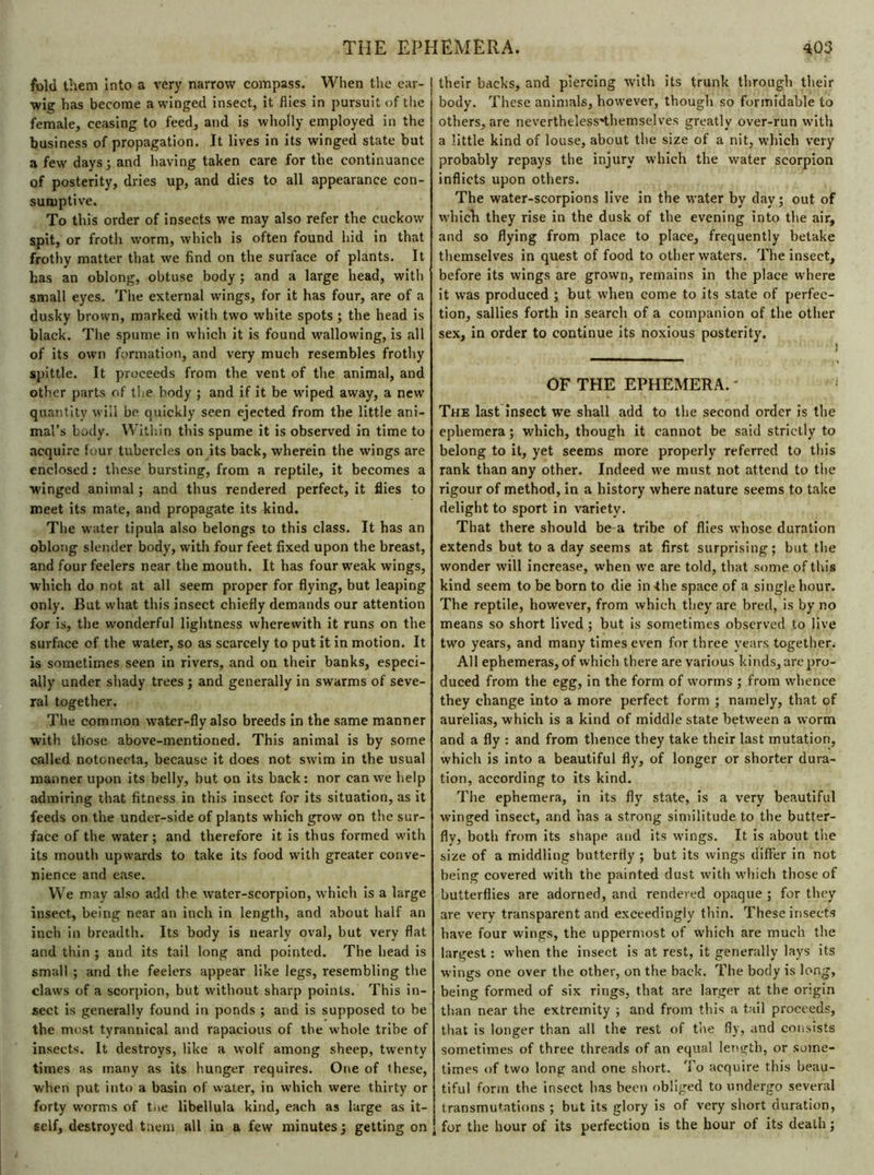 fold them into a very narrow compass. When the ear- wig has become a winged insect, it flies in pursuit of the female, ceasing to feed, and is wholly employed in the business of propagation. It lives in its winged state but a few days; and having taken care for the continuance of posterity, dries up, and dies to all appearance con- sumptive. To this order of insects we may also refer the cuckow spit, or froth worm, which is often found hid in that frothy matter that we find on the surface of plants. It has an oblong, obtuse body ; and a large head, with small eyes. The external wings, for it has four, are of a dusky brown, marked with two white spots ; the head is black. The spume in which it is found wallowing, is all of its own formation, and very much resembles frothy spittle. It proceeds from the vent of the animal, and other parts of the body ; and if it be wiped away, a new quantity will be quickly seen ejected from the little ani- mal’s body. Within this spume it is observed in time to acquire four tubercles on its back, wherein the wings are enclosed : these bursting, from a reptile, it becomes a winged animal ; and thus rendered perfect, it flies to meet its mate, and propagate its kind. The water tipula also belongs to this class. It has an oblong slender body, with four feet fixed upon the breast, and four feelers near the mouth. It has four weak wings, which do not at all seem proper for flying, but leaping only. But what this insect chiefly demands our attention for is, the wonderful lightness wherewith it runs on the surface of the water, so as scarcely to put it in motion. It is sometimes seen in rivers, and on their banks, especi- ally under shady trees ; and generally in swarms of seve- ral together. The common water-fly also breeds in the same manner with those above-mentioned. This animal is by some called notonecta, because it does not swim in the usual manner upon its belly, but on its back: nor can we help admiring that fitness in this insect for its situation, as it feeds on the under-side of plants which grow on the sur- face of the water; and therefore it is thus formed with its mouth upwards to take its food with greater conve- nience and ease. We may also add the water-scorpion, which is a large insect, being near an inch in length, and about half an inch in breadth. Its body is nearly oval, but very flat and thin ; and its tail long and pointed. The head is small ; and the feelers appear like legs, resembling the claws of a scorpion, but without sharp points. This in- sect is generally found in ponds ; and is supposed to be the most tyrannical and rapacious of the whole tribe of insects. It destroys, like a wolf among sheep, twenty times as many as its hunger requires. One of these, when put into a basin of water, in which were thirty or forty worms of tne libellula kind, each as large as it- self, destroyed them all in a few minutes; getting on their backs, and piercing with its trunk through their body. These animals, however, though so formidable to others, are nevertheless-themselves greatly over-run with a little kind of louse, about the size of a nit, which very probably repays the injury which the water scorpion inflicts upon others. The water-scorpions live in the water by day ; out of which they rise in the dusk of the evening into the air, and so flying from place to place, frequently betake themselves in quest of food to other waters. The insect, before its wings are grown, remains in the place where it was produced ; but when come to its state of perfec- tion, sallies forth in search of a companion of the other sex, in order to continue its noxious posterity. OF THE EPHEMERA. ' The last insect we shall add to the second order is the ephemera ; which, though it cannot be said strictly to belong to it, yet seems more properly referred to this rank than any other. Indeed we must not attend to the rigour of method, in a history where nature seems to take delight to sport in variety. That there should be a tribe of flies whose duration extends but to a day seems at first surprising; but the wonder will increase, when we are told, that some of this kind seem to be born to die in -the space of a single hour. The reptile, however, from which they are bred, is by no means so short lived ; but is sometimes observed to live two years, and many times even for three years together. All ephemeras, of which there are various kinds,are pro- duced from the egg, in the form of worms ; from whence they change into a more perfect form ; namely, that of aurèlias, which is a kind of middle state between a worm and a fly : and from thence they take their last mutation, which is into a beautiful fly, of longer or shorter dura- tion, according to its kind. The ephemera, in its fly state, is a very beautiful winged insect, and has a strong similitude to the butter- fly, both from its shape and its wings. It is about tire size of a middling butterfly ; but its wings differ in not being covered with the painted dust with which those of butterflies are adorned, and rendered opaque ; for they are very transparent and exceedingly thin. These insects have four wings, the uppermost of which are much the largest : when the insect is at rest, it generally lays its wings one over the other, on the back. The body is long, being formed of six rings, that are larger at the origin than near the extremity ; and from this a tail proceeds, that is longer than all the rest of the fly, and consists sometimes of three threads of an equal length, or some- times of two long and one short. To acquire this beau- tiful form the insect has been obliged to undergo several transmutations ; but its glory is of very short duration, for the hour of its perfection is the hour of its death ;