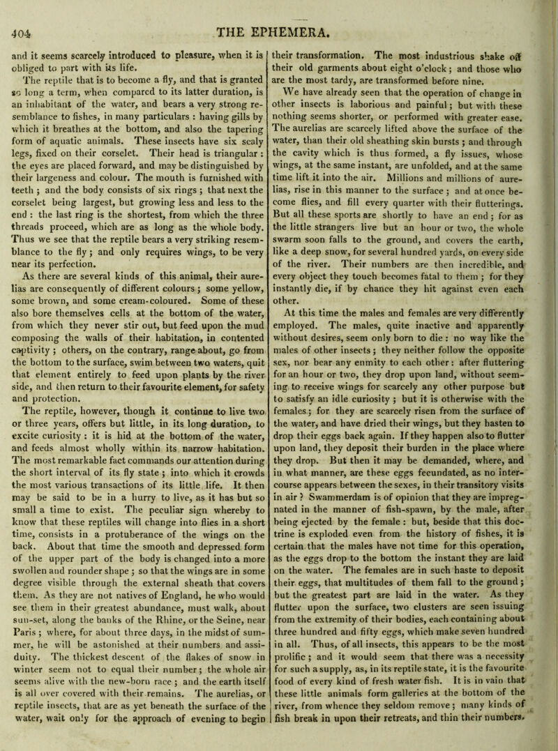 anti it seems scarcely introduced to pleasure, when it is obliged to part with Us life. The reptile that is to become a fly, and that is granted so long a term, when compared to its latter duration, is an inhabitant of the water, and bears a very strong re- semblance to fishes, in many particulars : having gills by which it breathes at the bottom, and also the tapering form of aquatic animals. These insects have six scaly legs, fixed on their corselet. Their head is triangular : the eyes are placed forward, and may be distinguished by their largeness and colour. The mouth is furnished with teeth ; and the body consists of six rings ; that next the corselet being largest, but growing less and less to the end : the last ring is the shortest, from which the three threads proceed, which are as long as the whole body. Thus we see that the reptile bears a very striking resem- blance to the fly ; and only requires wings, to be very near its perfection. As there are several kinds of this animal, their aure- lias are consequently of different colours ; some yellow, some brown, and some cream-coloured. Some of these also bore themselves cells at the bottom of the water, from which they never stir out, but feed upon the mud composing the walls of their habitation, in contented captivity ; others, on the contrary, range about, go from the bottom to the surface, swim between two waters, quit that element entirely to feed upon plants by the river side, and then return to their favourite element, for safety and protection. The reptile, however, though it continue to live two or three years, offers but little, in its long duration, to excite curiosity : it is hid at the bottom of the water, and feeds almost wholly within its narrow habitation. The most remarkable fact commands our attention during the short interval of its fly state ; into which it crowds the most various transactions of its little life. It then may be said to be in a hurry to live, as it has but so small a time to exist. The peculiar sign whereby to know that these reptiles will change into flies in a short time, consists in a protuberance of the wings on the back. About that time the smooth and depressed form of the upper part of the body is changed into a more swollen and rounder shape ; so that the wings are in some degree visible through the external sheath that covers them. As they are not natives of England, he who would see them in their greatest abundance, must walk, about sun-set, along the banks of the Rhine, or the Seine, near Paris ; where, for about three days, in the midst of sum- mer, he will be astonished at their numbers and assi- duity. The thickest descent of the flakes of snow in winter seem not to equal their number; the whole air seems alive with the new-born race ; and the earth itself is all over covered with their remains. The aurelias, or reptile insects, that are as yet beneath the surface of the water, wait only for the approach of evening to begin their transformation. The most industrious shake off their old garments about eight o’clock ; and those who are the most tardy, are transformed before nine. We have already seen that the operation of change in other insects is laborious and painful ; but with these nothing seems shorter, or performed with greater ease. The aurelias are scarcely lifted above the surface of the water, than their old sheathing skin bursts ; and through the cavity which is thus formed, a fly issues, whose wings, at the same instant, are unfolded, and at the same time lift it into the air. Millions and millions of aure- lias, rise in this manner to the surface ; and at once be- come flies, and fill every quarter with their flutterings. But all these sports are shortly to have an end ; for as the little strangers live but an hour or two, the whole swarm soon falls to the ground, and covers the earth, like a deep snow, for several hundred yards, on every side of the river. Their numbers are then incredible, and every object they touch becomes fatal to t hem ; for they instantly die, if by chance they hit against even each other. At this time the males and females are very differently employed. The males, quite inactive and apparently without desires, seem only born to die : no way like the males of other insects; they neither follow the opposite sex, nor bear any enmity to each other: after fluttering for an hour or two, they drop upon land, without seem- ing to receive wings for scarcely any other purpose but to satisfy an idle curiosity ; but it is otherwise with the females ; for they are scarcely risen from the surface of the water, and have dried their wings, but they hasten to drop their eggs back again. If they happen also to flutter upon land, they deposit their burden in the place where they drop. But then it may be demanded, where, and in what manner, are these eggs fecundated, as no inter- course appears between the sexes, in their transitory visits in air ? Swammerdam is of opinion that they are impreg- nated in the manner of fish-spawn, by the male, after being ejected by the female : but, beside that this doc- trine is exploded even from the history of fishes, it is certain that the males have not time for this operation, as the eggs drop to the bottom the instant they are laid on the water. The females are in such haste to deposit their eggs, that multitudes of them fall to the ground; but the greatest part are laid in the water. As they flutter upon the surface, two clusters are seen issuing from the extremity of their bodies, each containing about three hundred and fifty eggs, which make seven hundred in all. Thus, of all insects, this appears to be the most prolific ; and it would seem that there was a necessity for such a supply, as, in its reptile state, it is the favourite food of every kind of fresh water fish. It is in vain that these little animals form galleries at the bottom of the river, from whence they seldom remove; many kinds of fish break in upon their retreats, and thin their numbers.