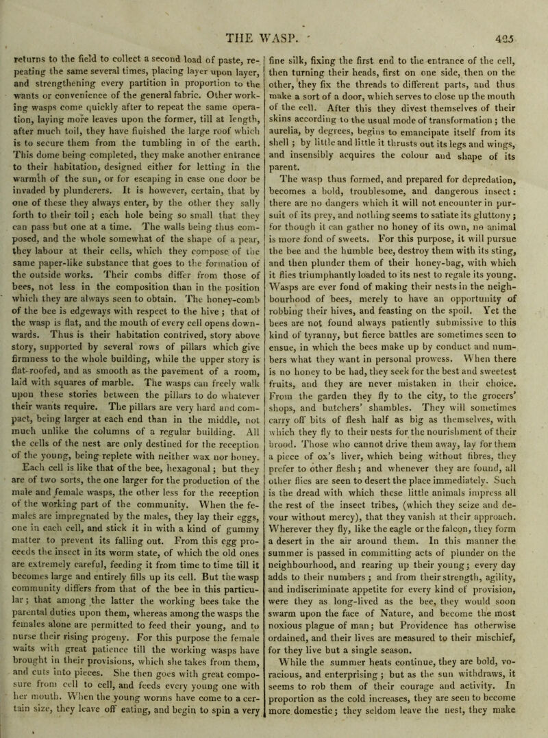 returns to the field to collect a second load of paste, re- peating the same several times, placing layer upon layer, and strengthening every partition in proportion to the wants or convenience of the general fabric. Other work- ing wasps come quickly after to repeat the same opera- tion, laying more leaves upon the former, till at length, after much toil, they have finished the large roof which is to secure them from the tumbling in of the earth. This dome being completed, they make another entrance to their habitation, designed either for letting in the warmlh of the sun, or for escaping in case one door be invaded by plunderers. It is however, certain, that by one of these they always enter, by the other they sally forth to their toil ; each hole being so small that they can pass but one at a time. The walls being thus com- posed, and the whole somewhat of the shape of a pear, they labour at their cells, which they compose of the same paper-like substance that goes to the formation of the outside works. Their combs differ from those of bees, not less in the composition than in the. position which they are always seen to obtain. The honey-comb of the bee is edgeways with respect to the hive ; that of the wasp is flat, and the mouth of every cell opens down- wards. Thus is their habitation contrived, story above story, supported by several rows of pillars which give firmness to the whole building, while the upper story is flat-roofed, and as smooth as the pavement of a room, laid with squares of marble. The wasps can freely walk upon these stories between the pillars to do whatever their wants require. The pillars are very hard and com- pact, being larger at each end than in the middle, not much unlike the columns of a regular building. All the cells of the nest are only destined for the reception of the young, being replete with neither wax nor honey. Each cell is like that of the bee, hexagonal ; but they are of two sorts, the one larger for the production of the male and female wasps, the other less for the reception of the working part of the community. When the fe- males are impregnated by the males, they lay their eggs, one in each cell, and stick it in with a kind of gummy matter to prevent its falling out. From this egg pro- ceeds the insect in its worm state, of which the old ones are extremely careful, feeding it from time to time till it becomes large and entirely fills up its cell. But the wasp community differs from that of the bee in this particu- lar ; that among the latter the working bees take the parental duties upon them, whereas among the wasps the females alone are permitted to feed their young, and to nurse their rising progeny. For this purpose the female waits with great patience till the working wasps have brought in their provisions, which she takes from them, and cuts into pieces. She then goes with great compo- sure from cell to cell, and feeds every young one with her mouth. When the young worms have come to a cer- tain size, they leave off eating, and begin to spin a very fine silk, fixing the first end to the entrance of the cell, then turning their heads, first on one side, then on the other, they fix the threads to different parts, and thus make a sort of a door, which serves to close up the mouth of the cell. After this they divest themselves of their skins according to the usual mode of transformation ; the aurelia, by degrees, begins to emancipate itself from its shell ; by little and little it thrusts out its legs and wings, and insensibly acquires the colour and shape of its parent. The wasp thus formed, and prepared for depredation, becomes a bold, troublesome, and dangerous insect : there are no dangers which it will not encounter in pur- suit of its prey, and nothing seems to satiate its gluttony ; for though it can gather no honey of its own, no animal is more fond of sweets. For this purpose, it will pursue the bee and the humble bee, destroy them with its sting, and then plunder them of their honey-bag, with which it flies triumphantly loaded to its nest to regale its young. Wasps are ever fond of making their nests in the neigh- bourhood of bees, merely to have an opportunity of robbing their hives, and feasting on the spoil. Yet the bees are not found always patiently submissive to this kind of tyranny, but fierce battles are sometimes seen to ensue, in which the bees make up by conduct and num- bers what they want in personal prowess. When there is no honey to be had, they seek for the best and sweetest fruits, and they are never mistaken in their choice. From the garden they fly to the city, to the grocers’ shops, and butchers’ shambles. They will sometimes carry oft’ bits of flesh half as big as themselves, with which they fly to their nests for the nourishment of their brood. Those who cannot drive them away, lay for them a piece of ox’s liver, which being without fibres, they prefer to other flesh; and whenever they are found, all other flics are seen to desert the place immediately. Such is the dread with which these little animals impress all the rest of the insect tribes, (which they seize and de- vour without mercy), that they vanish at their approach. Wherever they fly, like the eagle or the falcon, they form a desert in the air around them. In this manner the summer is passed in committing acts of plunder on the neighbourhood, and rearing up their young; every day adds to their numbers ; and from their strength, agility, and indiscriminate appetite for every kind of provision, were they as long-lived as the bee, they would soon swarm upon the face of Nature, and become the most noxious plague of man ; but Providence has otherwise ordained, and their lives are measured to their mischief, for they live but a single season. W hile the summer heats continue, they are bold, vo- racious, and enterprising ; but as the sun withdraws, it seems to rob them of their courage and activity. In proportion as the cold increases, they are seen to become more domestic; they seldom leave the nest, they make