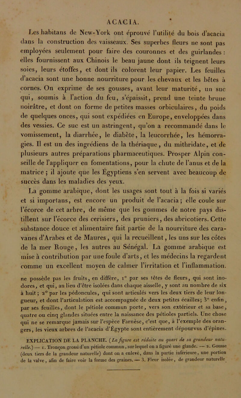 Les habitans de New-York ont éprouvé l’utilité du bois d’acacia dans la construction dos vaisseaux. Ses superbes (leurs ne sont pas employées seulement pour faire des couronnes et des guirlandes : elles fournissent aux Chinois le beau jaune dont ils teignent leurs soies, leurs étoffes, et dont ils colorent leur papier. Les feuilles d’acacia sont une bonne nourriture pour les chevaux et les bêtes à cornes. On exprime de ses gousses, avant leur maturité, un suc qui, soumis à faction du feu, s’épaissit, prend une teinte brune noirâtre, et dont on forme de petites masses orbiculaires, du poids de quelques onces, qui sont expédiées en Europe, enveloppées dans des vessies. Ce suc est un astringent, qu’on a recommandé dans le vomissement, la diarrhée, le diabète, la leucorrhée, les hémorra- gies. Il est un des ingrédiens de la thériaque, du mithridate, et de plusieurs autres préparations pharmaceutiques. Prosper Alpin con- seille de l’appliquer en fomentations, pour la chute de l’anus et de la matrice ; il ajoute que les Egyptiens s’en servent avec beaucoup de succès dans les maladies des yeux. La gomme arabique, dont les usages sont tout à la fois si variés et si importans, est encore un produit de l’acacia; elle coule sur l’écorce de cet arbre, de même que les gommes de notre pays dis- tillent sur l’écorce des cerisiers, des pruniers, des abricotiers. Cette substance douce et alimentaire fait partie de la nourriture des cara- vanes d’Arabes et de Maures , qui la recueillent, les uns sur les côtes de la mer Rouge, les autres au Sénégal. La gomme arabique est mise à contribution par une foule d’arts, et les médecins la regardent comme un excellent moyen de calmer l’irritation et l’inflammation. ne possède pas les fruits, en diffère, i° par ses tètes de fleurs, qui sont ino- dores, et qui, au lieu d’être isolées dans chaque aisselle, y sont au nombre de six à huit ; i° par les pédoncules, qui sont articulés vers les deux tiers de leur lon- gueur, et dont l’articulation est accompagnée de deux petites écailles; 3° enfin, par ses feuilles, dont le pétiole commun porte, vers son extérieur et sa base, quatre ou cinq glandes situées entre la naissance des pétioles partiels. Une chose qui ne se remarque jamais sur l’espèce Farnèse, c’est que, à l’exemple des oran- gers, les vieux arbres de l’acacia d’Égypte sont entièrement dépourvus d’épines. EXPLICATION DE LA PLANCHE. ( La figure est réduite au quart de sa grandeur natu- relle.) — i. Tronçon grossi d’un pétiole commun, sur lequel on a figuré une glande. — 2. Gousse (deux tiers de la grandeur naturelle) dont ou a enlevé, dans la partie inférieure, une portion