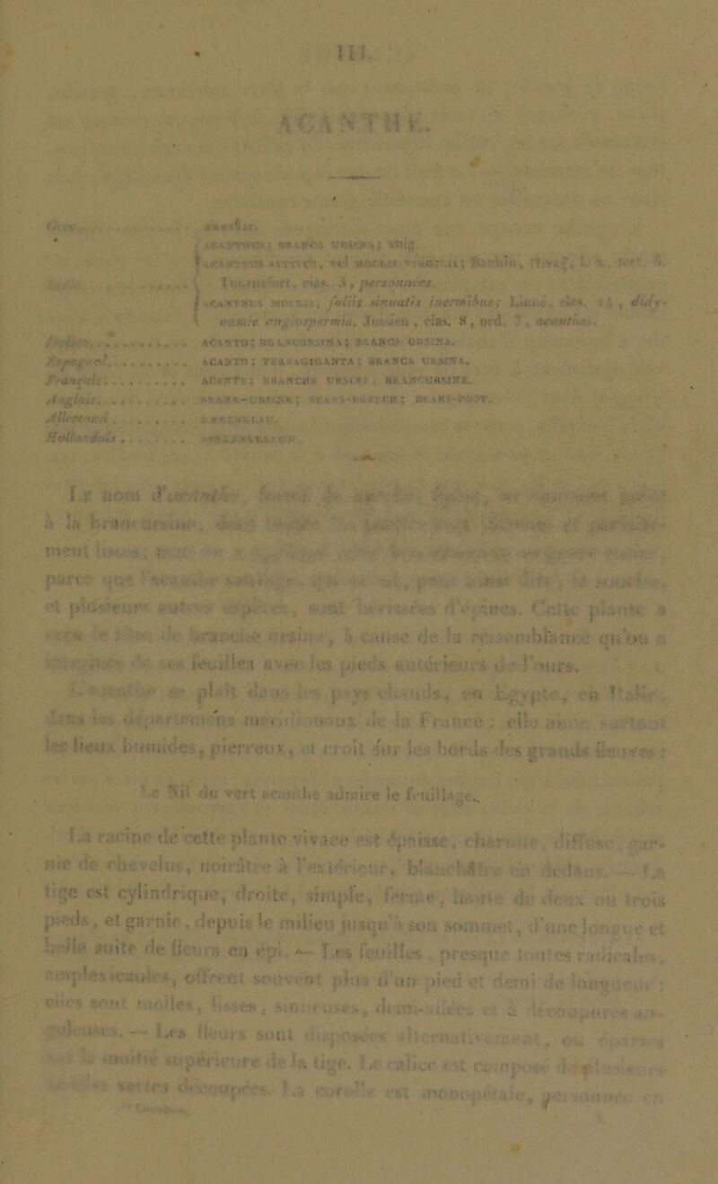 m M‘,\ >'TH K. 4f 6‘ vV,<* ■*P*P /‘rà^rth AngioÙ. . . ÂUrrtn&t> liêüu -Bnis. • *»o 4«. : i.» if <■ ■ r,VH^; VJ»:;* ? ' ,•’•'•• <• • i\ : li.M fl. ,i, HVtOH-IVS. < »i ï î-tri'. ■ , fnliis tîrmalis htermVms: Lu.... • >. : .'• . dufy- ' sj,lit -nt , permit. Jcr. r u , «las, 8, ora. , ., ACAtro; »ti wr-..f«.v; s.abc.* qbsïha. . \cM,Tn; y.:,i \gigam'£a: jrahca ukshïa. .. A<Ur r : '.'CP. fl'--.. '• H! \W üBMÎÎi. n > < : < a ; m .s - ■ . . iMenuir. l C .: I v?' • t . . <: ■ r . trf . h îîl b; ».<r u< ; j<- *••• nçnt Us- ‘ : < ' - '. • , • ,r- : ■ • • iÂ'Ui’ic:-» a r= ics \s ) • C!-k ' Y» i ■ )' >Uf-ÿ. • . • ' pl H ri .• j. . - • . 'i L , v-t L, sjït'.. -iï 1 ‘ ■ ' >  ■ ' f v m: «. i • ce ; <1 un •:. i -.'.cir»p t$e 'jette pin «i te yittte csl c_y i i n f • qr ■, -droite, sha i;; ■■■v- ♦» V u. V >• :v ■ >r>ai . - • • Mp! ■ a £ * é: *- : : i fe-> :i,-, m\-sqn ■ ; i -s ; ■< ■]■■■,]■ ‘i 1 4. ofï>rfi{ Sf u«er* •:) u’un ;.»ed oï demi <> t, ■ C ;• • • ’*«*» ' M. ' «li-itt». a : , . • '1 '>i( ’ ’ r> • !,a >:• ' . t ;r)i.x < i ! .. *•:. . ■. , • V ■’ 4 O ' ;>(SÏ !H r-, {„ I , * , • f ! ..