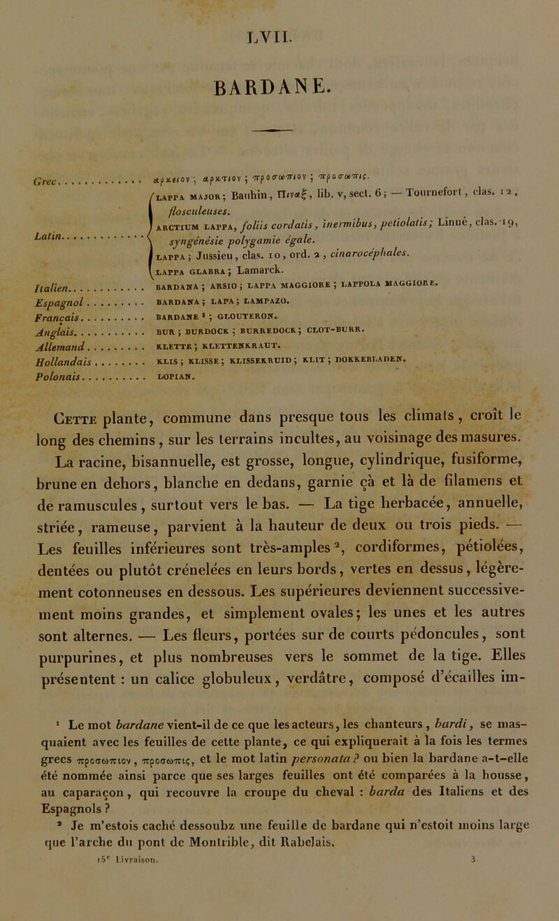BARDANE. Grec Latin Italien.. . . Espagnol. Français. . Anglais. . . Allemand. Hollandais Polonais. . ctpmiov ; ttpuTiov ; ‘irporttmor ; irpcKTanr/ç. flapt a major; Bauhin, n,va£, lib. v, secl. 6; - Tournefort, clas. la, flosculeuses. arctium luffk, foliis cordatis, inermibus, pctiolatis; Linué,clas. 19, syngénésic polygamie égale. I LArrA ; Jussieu, clas. 1 o , ord. a , cinarocéphales. LArPA glabra ; Lamarcli. BARDAKA ; ARSIO ; LArrA MAGGIORE j LAPPOLA MAGGIORE. bardana; lapa; lampazo. BARDANE 1 ; GLODTERON. bur ; burdock ; buriiedocr; clot-btjrr. KLETTE ; KLETTENKRAUT. klis ; klisse; klissekruid ; klit ; dokkebi.aden. LOPIAN. Cette plante, commune dans presque tous les climals , croit le long des chemins, sur les terrains incultes, au voisinage des masures. La racine, bisannuelle, est grosse, longue, cylindrique, fusiforme, brune en dehors, blanche en dedans, garnie çà et là de fdamens et de ramuscules, surtout vers le bas. — La tige herbacee, annuelle, striée, rameuse, parvient à la hauteur de deux ou trois pieds. — Les feuilles inférieures sont très-amples2, cordiformes, pétiolées, dentées ou plutôt crénelées en leurs bords, vertes en dessus, légère- ment cotonneuses en dessous. Les supérieures deviennent successive- ment moins grandes, et simplement ovales; les unes et les autres sont alternes. — Les fleurs, portées sur de courts pédoncules, sont purpurines, et plus nombreuses vers le sommet de la tige. Elles présentent: un calice globuleux, verdâtre, composé d’écailtes im- 1 Le mot bardane vient-il de ce que les acteurs, les chanteurs , hardi, se mas- quaient avec les feuilles de celte plante, ce qui expliquerait à la fois les termes grecs Trpodwmov, irpoauiTi;, et le mot latin personata ? ou bien la bardane a-t-elle été nommée ainsi parce que ses larges feuilles ont été comparées à la housse, au caparaçon , qui recouvre la croupe du cheval : barda des Italiens et des Espagnols ? * Je m’estois caché dessoubz une feuille de bardane qui n’estoit moins large que l’arche du pont de Montrible, dit Rabelais. i5° Livraison. 3