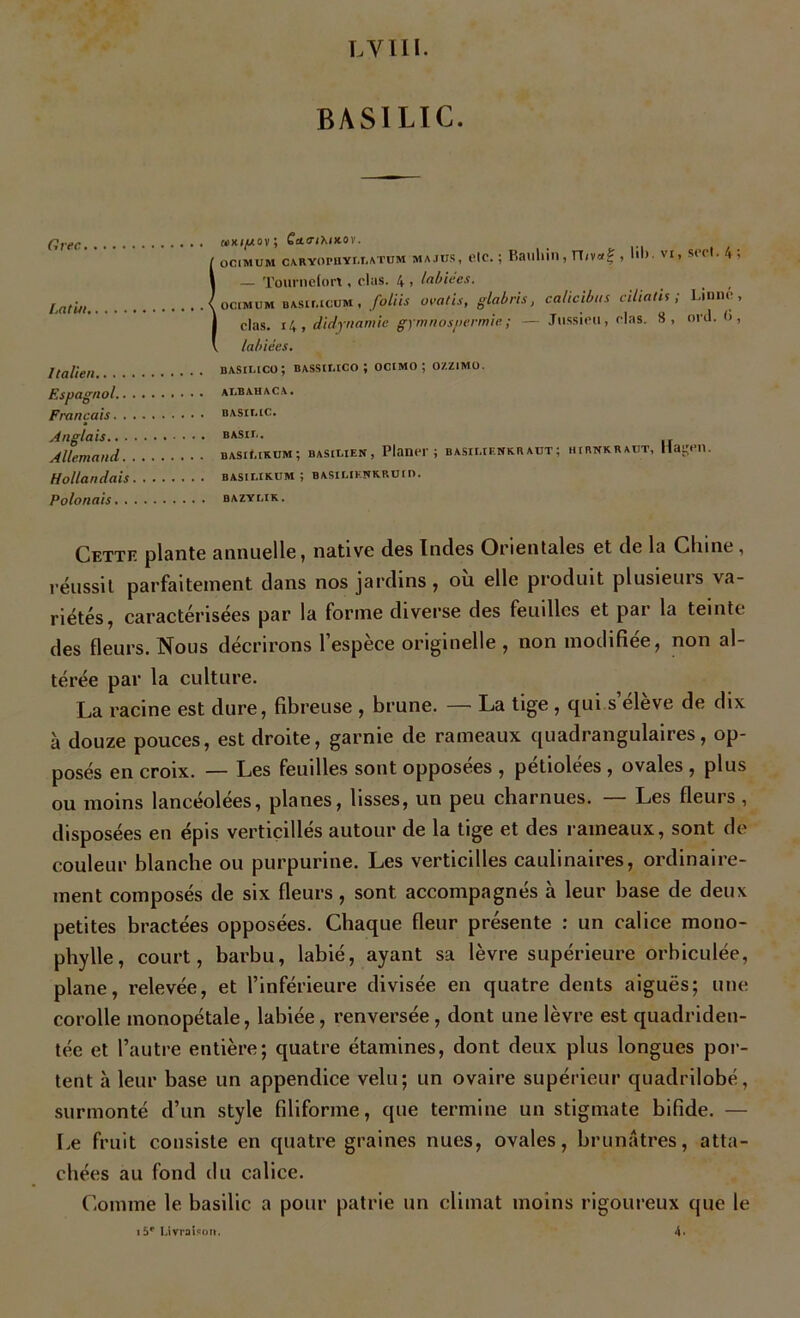 LVIII. BASILIC. Hvec uiKi/Àov; GtttnhtKov. OC1MUM CARYOFHYLLATUM MA JUS , t'IC. ; Bflllllin , rt/Vtff î I ) . N I 1 S( et. I- ; — Tournefon , dus. 4 > labiees. ociMUM basimcom, foliis ovatis, glabris, calicibus ciliatU ; Linné, dus. 14 , didynamie gymnosnermie ; — Jussieu, dus. S, ord. <), labiées. Italien basilico; bassiuco ; ocimo ; ozzimo. Espagnol albahaca. Français basilic. Anglais basil. Allemand basiukum; basilien, Planer; basii.ienk.baut; hirnkbaut, hasçen. Hollandais basii.ikum ; basiliknkbuio. Polonais bazylik. Cette plante annuelle, native des Indes Orientales et de la Chine , réussit parfaitement dans nos jardins, ou elle produit plusieurs va- riétés, caractérisées par la forme diverse des feuilles et par la teinte des fleurs. Nous décrirons l’espèce originelle , non modifiée, non al- térée par la culture. La racine est dure, fibreuse , brune. — La tige , qui s’élève de dix à douze pouces, est droite, garnie de rameaux quadrangulaires, op- posés en croix. — Les feuilles sont opposées , petiolees , ovales , plus ou moins lancéolées, planes, lisses, un peu charnues. — Les fleurs , disposées en épis verticillés autour de la tige et des rameaux, sont de couleur blanche ou purpurine. Les verticilles caulinaires, ordinaire- ment composés de six fleurs, sont accompagnés à leur base de deux petites bractées opposées. Chaque fleur présente : un calice mono- phylle, court, barbu, labié, ayant sa lèvre supérieure orbiculée, plane, relevée, et l’inférieure divisée en quatre dents aiguës; une corolle monopétale, labiée, renversée, dont une lèvre est quadriden- tée et l’autre entière; quatre étamines, dont deux plus longues por- tent à leur base un appendice velu; un ovaire supérieur quadrilobé, surmonté d’un style filiforme, que termine un stigmate bifide. — Le fruit consiste en quatre graines nues, ovales, brunâtres, atta- chées au fond du calice. Comme le basilic a pour patrie un climat moins rigoureux que le 15e Livraison. 4*